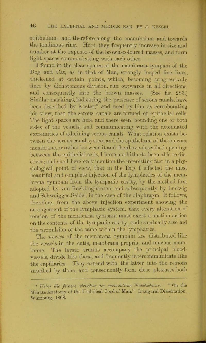 epithelium, and therefore along the manubrium and towards the tendinous ring. Here they frequently increase in size and number at the expense of the brown-coloured masses, and form light spaces communicating witli each other. I found in the clear spaces of the membrana tympani of the Dog and Cat, as in that of Man, strongly looped fine lines, thickened at certain points, which, becoming progressively finer by dichotomous division, run outwards in all directions, and consequently into the brown masses. (See fig. 283.) Similar markings, indicating the presence of serous canals, have been described by Koster,* and used by him as corroborating his view, that the serous canals are formed of epithelial cells. The light spaces are here and there seen bounding one or both sides of the vessels, and communicating with the attenuated extremities of adjoining serous canals. What relation exists be- tween the serous canal system and the epithelium of the mucous membrane, or rather between it and the above-described openings between the epithelial cells, I have not hitherto been able to dis- cover; and shall here only mention the interesting fact in a phy- siological point of view, that in the Dog I effected the most beautiful and complete injection of the lymphatics of the mem- brana tympani from the tympanic cavity, by the method first adopted by von Recklinghausen, and subsequently by Ludwig and Schweigger-Seidel, in the case of the diaphragm. It follows, therefore, from the above injection experiment showing the arrangement of the lymphatic system, that every alteration of tension of the membrana tympani must exert a suction action on the contents of the tympanic cavity, and eventually also aid the propulsion of the same within the lymphatics. The nerves of the membrana tympani are distributed like the vessels in the cutis, membrana propria, and mucous mem- brane. The larger trunks accompany the principal blood- vessels, divide like these, and frequently intercommunicate like the capillaries. They extend with the latter into the regions supplied by them, and consequently form close plexuses both * Ueber die feinere structnr der menschlichc Nabelschnur.  On the Minute Anatomy of the Umbilical Cord of Man. Inaugural Dissertation. Wiirzburg, 1808.