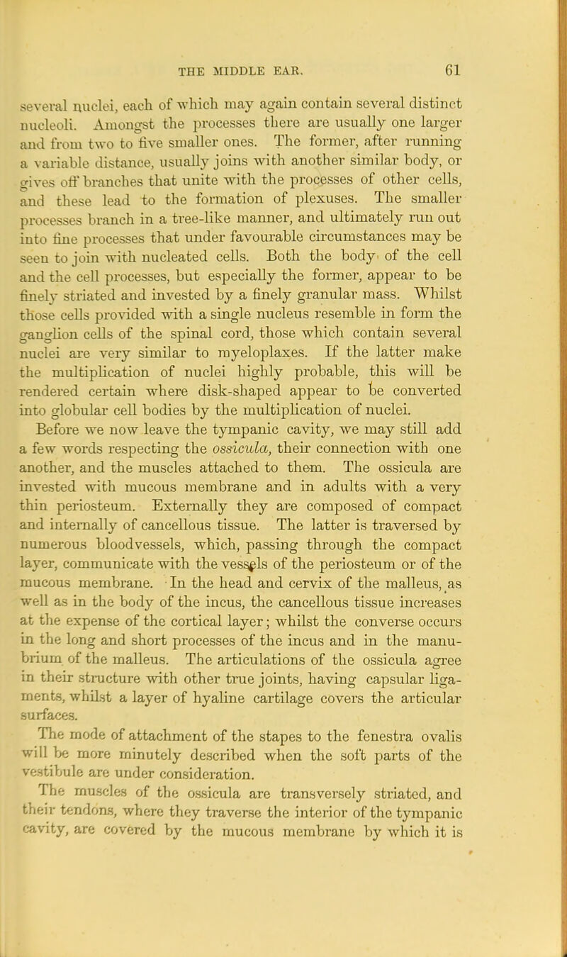 several nuclei, each of which may again contain several distinct nucleoli. Amongst the processes there are usually one larger and from two to five smaller ones. The former, after running a variable distance, usually joins with another similar body, or gives off branches that unite with the processes of other cells, and these lead to the formation of plexuses. The smaller processes branch in a tree-like manner, and ultimately run out into fine processes that under favourable circumstances may be seen to join with nucleated cells. Both the body of the cell and the cell processes, but especially the former, appear to be finely striated and invested by a finely granular mass. Whilst those cells provided with a single nucleus resemble in form the ganglion cells of the spinal cord, those which contain several nuclei are very similar to rayeloplaxes. If the latter make the multiplication of nuclei highly probable, this will be rendered certain where disk-shaped appear to be converted into globular cell bodies by the multiplication of nuclei. Before we now leave the tympanic cavity, we may still add a few words respecting the ossicula, their connection with one another, and the muscles attached to them. The ossicula are invested with mucous membrane and in adults with a very- thin periosteum. Externally they are composed of compact and internally of cancellous tissue. The latter is traversed by numerous bloodvessels, which, passing through the compact layer, communicate with the vessels of the periosteum or of the mucous membrane. ■ In the head and cervix of the malleus, as well as in the body of the incus, the cancellous tissue increases at the expense of the cortical layer; whilst the converse occurs in the long and short processes of the incus and in the manu- brium of the malleus. The articulations of the ossicula acrree in their structure with other true joints, having capsular liga- ments, whiLst a layer of hyaline cartilage covers the articular surfaces. The mode of attachment of the stapes to the fenestra ovalis will be more minutely described when the soft parts of the vestibule are under consideration. The muscles of the ossicula are transversely striated, and their tendons, where they traverse the interior of the tympanic cavity, are covered by the mucous membrane by which it is