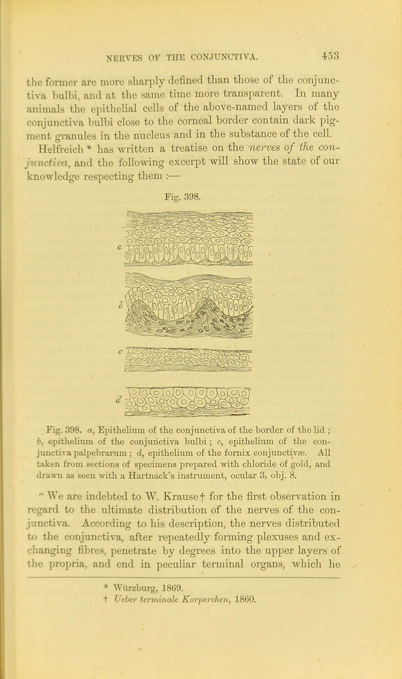 the former are more sharply defined than those of the conjunc- tiva bulbi, and at the same time more transparent. In many animals the epithelial cells of the above-named layers of the conjunctiva bulbi close to the corneal border contain dark pig- ment granules in the nucleus and in the substance of the cell. Helfreich * has written a treatise on the nerves of the con- junctiva, and the following excerpt will show the state of our knowledge respecting them :— Fig. 398. Fig. 398. a, Epithelium of the conjunctiva of the border of the lid ; b, epithelium of the conjunctiva bulbi; c, epithelium of the con- junctiva palpebrarum ; d, epithelium of the fornix conjunctivas. All taken from sections of specimens prepared with chloride of gold, and drawn as seen with a Hartnack's instrument, ocular 3, obj. 8.  We are indebted to W. Krausef for the first observation in regard to the ultimate distribution of the nerves of the con- junctiva. According to his description, the nerves distributed to the conjunctiva, after repeatedly forming plexuses and ex- changing fibres, penetrate by degrees into the upper layers of the propria, and end in peculiar terminal organs, which he » Wiirzburg, 1869. t Ueber terminate Korperchen, 18G0.