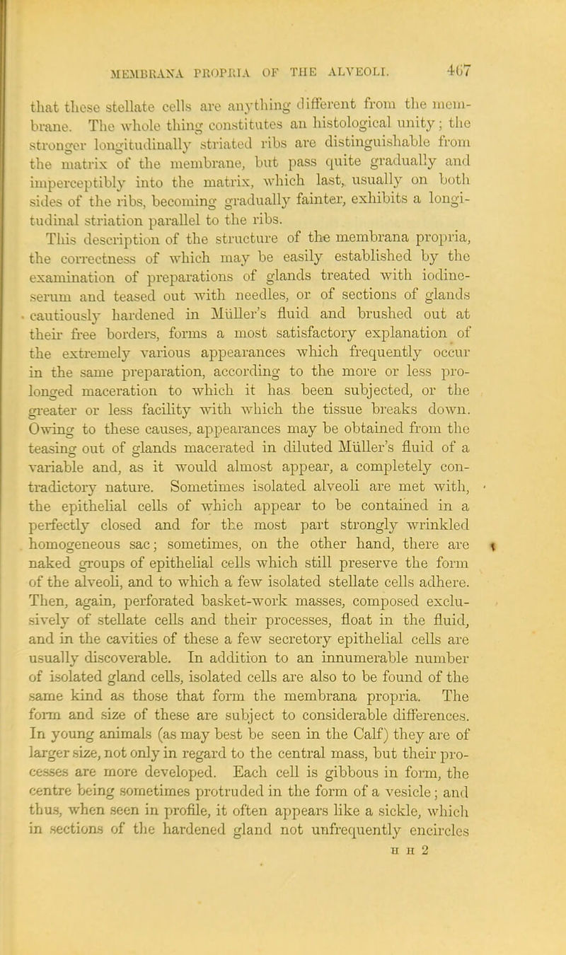 4G7 that these stellate cells are anything different from the mem- brane. The whole thing constitutes an histological unity; the stronger longitudinally striated ribs are distinguishable from the matrix of the membrane, but pass quite gradually and imperceptibly into the matrix, which last, usually on both sides of the ribs, becoming gradually fainter, exhibits a longi- tudinal striation parallel to the ribs. This description of the structure of the membrana propria, the correctness of which may be easily established by the examination of preparations of glands treated with iodine- seruni and teased out with needles, or of sections of glands • cautiously hardened in Miiller's fluid and brushed out at their free borders, forms a most satisfactory explanation of the extremely various appearances which frequently occur in the same preparation, according to the more or less pro- longed maceration to which it has been subjected, or the greater or less facility with which the tissue breaks down. Owing to these causes, appearances may be obtained from the teasing out of glands macerated in diluted Miiller's fluid of a variable and, as it would almost appear, a completely con- tradictory nature. Sometimes isolated alveoli are met with, the epithelial cells of which appear to be contained in a perfectly closed and for the most part strongty wrinkled homogeneous sac; sometimes, on the other hand, there are naked groups of epithelial cells which still preserve the form of the alveoli, and to which a few isolated stellate cells adhere. Then, again, perforated basket-work masses, composed exclu- sively of stellate cells and their processes, float in the fluid, and in the cavities of these a few secretory epithelial cells are usually discoverable. In addition to an innumerable number of isolated gland cells, isolated cells are also to be found of the same kind as those that form the membrana propria. The form and size of these are subject to considerable differences. In young animals (as may best be seen in the Calf) they are of larger size, not only in regard to the central mass, but their pro- cesses are more developed. Each cell is gibbous in form, the centre being sometimes protruded in the form of a vesicle; and thus, when seen in profile, it often appears like a sickle, which in sections of the hardened gland not unfrequently encircles EE 2