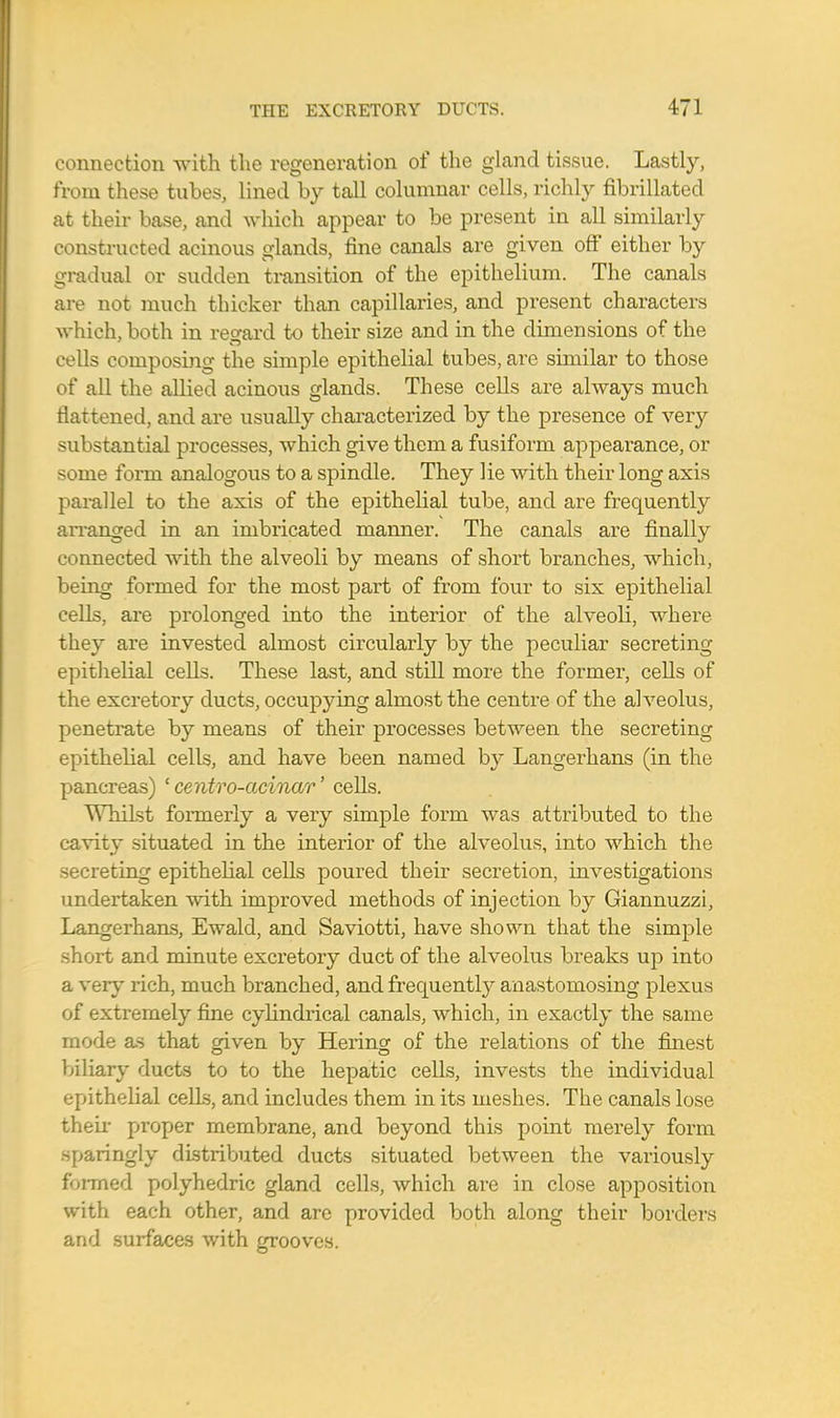 connection with the regeneration of the gland tissue. Lastly, from these tubes, lined by tall columnar cells, richly fibrillated at their base, and which appear to be present in all similarly constructed acinous glands, fine canals are given off' either by gradual or sudden transition of the epithelium. The canals are not much thicker than capillaries, and present characters which, both in regard to their size and in the dimensions of the cells composing the simple epithelial tubes, are similar to those of all the allied acinous glands. These cells are always much flattened, and are usually characterized by the presence of very substantial processes, which give them a fusiform appearance, or some form analogous to a spindle. They lie with their long axis parallel to the axis of the epithelial tube, and are frequently arranged in an imbricated manner. The canals are finally connected with the alveoli by means of short branches, which, being formed for the most part of from four to six epithelial cells, are prolonged into the interior of the alveoli, where they are invested almost circularly by the peculiar secreting epithelial cells. These last, and still more the former, cells of the excretory ducts, occupying almost the centre of the alveolus, penetrate by means of their processes between the secreting epithelial cells, and have been named by Langerhans (in the pancreas) ' centro-acinar' cells. Whilst formerly a very simple form was attributed to the cavity situated in the interior of the alveolus, into which the secreting epithelial cells poured their secretion, investigations undertaken with improved methods of injection by Giannuzzi, Langerhans, Ewald, and Saviotti, have shown that the simple short and minute excretory duct of the alveolus breaks up into a very rich, much branched, and frequently anastomosing plexus of extremely fine cylindrical canals, which, in exactly the same mode as that given by Hering of the relations of the finest biliary ducts to to the hepatic cells, invests the individual epithelial cells, and includes them in its meshes. The canals lose their- proper membrane, and beyond this point merely form sparingly distributed ducts situated between the variously formed polyhedric gland cells, which are in close apposition with each other, and are provided both along their borders and surfaces with grooves.