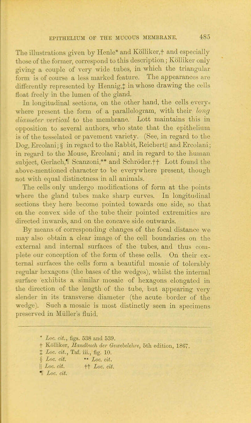 The illustrations given by Henle* and Kolliker, f and especially those of the former, correspond to this description; Kolliker only giving a couple of very wide tubes, in which the triangular form is of course a less marked feature. The appearances are differently represented by Hennig.J in whose drawing the cells float freely in the lumen of the gland. In longitudinal sections, on the other hand, the cells every- where present the form of a parallelogram, with their long diameter vertical to the membrane. Lott maintains this in opposition to several authors, who state that the epithelium is of the tesselated or pavement variety. (See, in regard to the D< ig, Ercolani; § in regard to the Eabbit, Reichert|| and Ercolani; in regard to the Mouse, Ercolani; and in regard to the human subject, Gerlach,1T Scanzoni,** and Schroder.ff Lott found the above-mentioned character to be everywhere present, though not with equal distinctness in all animals. The cells only undergo modifications of form at the points where the gland tubes make sharp curves. In longitudinal sections they here become pointed towards one side, so that on the convex side of the tube their pointed extremities are directed inwards, and on the concave side outwards. By means of corresponding changes of the focal distance we mav also obtain a clear imasfe of the cell boundaries on the external and internal surfaces of the tubes, and thus com- plete our conception of the form of these cells. On their ex- ternal surfaces the cells form a beautiful mosaic of tolerably regular hexagons (the bases of the wedges), whilst the internal surface exhibits a similar mosaic of hexagons elono-ated in the direction of the length of the tube, but appearing very slender in its transverse diameter (the acute border of the wedge). Such a mosaic is most distinctly seen in specimens preserved in Midler's fluid. * Loc. cit., figs. 538 and 539. f Kolliker, Handbuch der Gewebelehre, 5th edition, 18G7. X Loc. cit., Taf. iii., fig. 10. § Loc. cit. ** Loc. cit. 11 Loc. cit. ft Loc. cit. If Loc. cit.