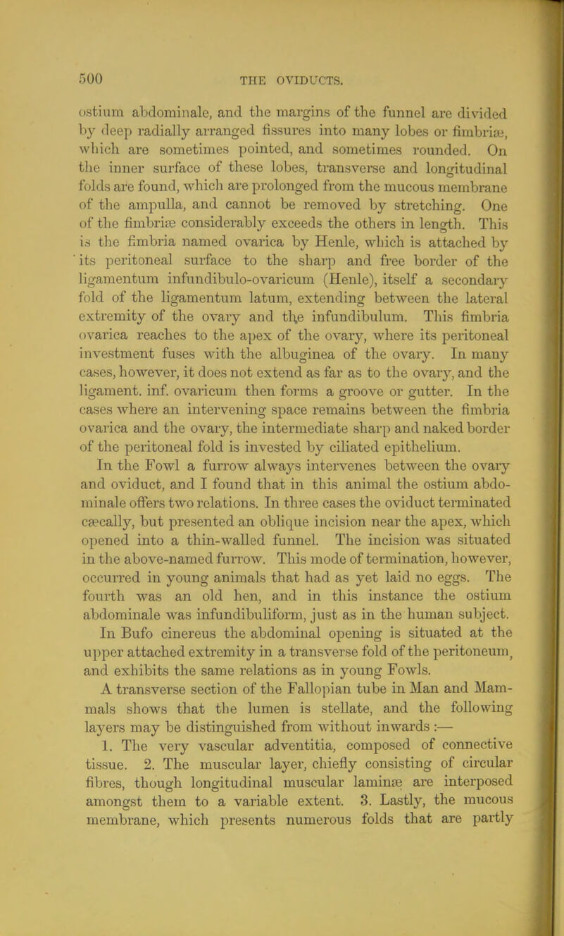 ostium alxlominale, and the margins of the funnel are divided by deep radially arranged fissures into many lobes or fimbriae, which are sometimes pointed, and sometimes rounded. On the inner surface of these lobes, transverse and longitudinal folds are found, which are prolonged from the mucous membrane of the ampulla, and cannot be removed by stretching. One of the fimbriae considerably exceeds the others in length. This is the fimbria named ovarica by Henle, which is attached by its peritoneal surface to the sharp and free border of the ligamentum infundibulo-ovaricum (Henle), itself a secondary fold of the ligamentum latum, extending between the lateral extremity of the ovary and t\\e infundibulum. Tins fimbria ovarica reaches to the apex of the ovary, where its peritoneal investment fuses with the albuginea of the ovary. In many cases, however, it does not extend as far as to the ovary, and the ligament, inf. ovaricum then forms a groove or gutter. In the cases where an intervening space remains between the fimbria ovarica and the ovary, the intermediate sharp and naked border of the peritoneal fold is invested by ciliated epithelium. In the Fowl a furrow always intervenes between the ovary and oviduct, and I found that in this animal the ostium abdo- minale offers two relations. In three cases the oviduct terminated caecally, but presented an oblique incision near the apex, which opened into a thin-walled funnel. The incision was situated in the above-named furrow. This mode of termination, however, occurred in young animals that had as yet laid no eggs. The fourth was an old hen, and in this instance the ostium abdominale was infundibuliform, just as in the human subject. In Bufo cinereus the abdominal opening is situated at the upper attached extremity in a transverse fold of the peritoneum, and exhibits the same relations as in young Fowls. A transverse section of the Fallopian tube in Man and Mam- mals shows that the lumen is stellate, and the following laj-ers may be distinguished from without inwards :— 1. The very vascular adventitia, composed of connective tissue. 2. The muscular layer, chiefly consisting of circular fibres, though longitudinal muscular laminae are interposed amongst them to a variable extent. 3. Lastly, the mucous membrane, which presents numerous folds that are partly