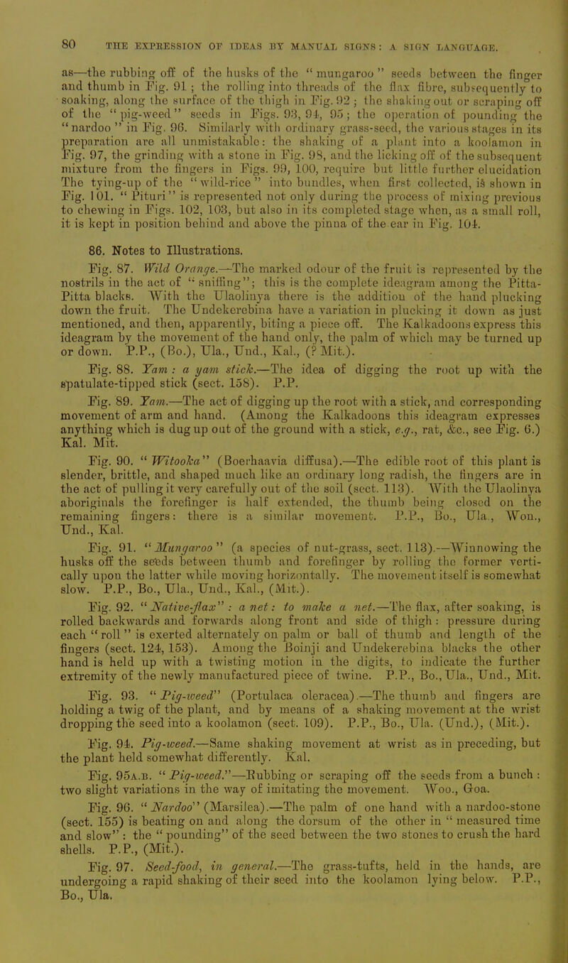 as—the rubbing off of trie husks of the “ mungaroo ” seeds between tho finger and thumb in Pig. 91 ; the rolling into threads of the flax fibre, subsequently to soaking, along the surface of the thigh in Pig. 92 ; the shaking out or scraping off of the “pig-weed” seeds in Pigs. 93, 91, 95; tho operation of pounding the “nardoo ” in Pig. 9G. Similarly with ordinary grass-seed, the various stages in its preparation are all unmistakable: the shaking of a plant into a koolamon in Pig. 97, the grinding with a stone in Pig. 98, and the licking off of the subsequent mixture from the fingers in Figs. 99, 100, require but little further elucidation The tying-up of the “wild-rice ” into bundles, when first collected, i§ shown in Pig. 101. “ Pituri” is represented not only during the process of mixing previous to chewing in Pigs. 102, 103, but also in its completed stage when, as a small roll, it is kept in position behind and above the pinna of the ear in Pig. 101. 86. Notes to Illustrations. Pig. 87. Wild Orange.—The marked odour of the fruit is represented by the nostrils in the act of “ sniffing”; this is the complete ideagram among the Pitta- Pitta blacks. With the Ulaolinya there is the addition of the hand plucking down the fruit. The Undekercbina have a variation in plucking it down as just mentioned, and then, apparently, biting a piece off. The Kalkadoons express this ideagram by the movement of the hand only, the palm of which may be turned up or down. P.P., (Bo.), Ula., Und., Kal., (? Mit.). Pig. 88. Yam : a yam stick.—The idea of digging the root up with the spatulate-tipped stick (sect. 158). P.P. Pig. 89. Yam.—The act of digging up the root with a stick, and corresponding movement of arm and hand. (Among the Kalkadoons this ideagram expresses anything which is dug up out of the ground with a stick, e.y., rat, &c., see Pig. 6.) Kal. Mit. Pig. 90. “ Witooka (Boerhaavia diffusa).—The edible root of this plant is slendei', brittle, and shaped much like an ordinary long radish, the fingers are in the act of pulling it very carefully out of the soil (sect. 113). With the Ulaolinya aboriginals the forefinger is half extended, the thumb being closed on the remaining fingers: there is a similar movement. P.P., Bo., Ula., Won., Und., Kal. Pig. 91. “ Mungaroo ” (a species of nut-grass, sect. 113).—Winnowing the husks off the se'eds between thumb and forefinger by rolling the former verti- cally upon the latter while moving horizontally. The movement itself is somewhat slow. P.P., Bo., Ula., Und., Kal., (Mit.). Pig. 92. “ Native-fax : a net: to make a net.—The flax, after soaking, is rolled backwards and forwards along front and side of thigh : pressure during each “ roll ” is exerted alternately on palm or ball of thumb and length of the fingers (sect. 124, 153). Among the Boinji and Undekerebina blacks the other hand is held up with a twisting motion in the digits, to indicate the further extremity of the newly manufactured piece of twine. P.P., Bo., Ula., Und., Mit. Pig. 93. “ Pig-weed1' (Portulaca oleracea).—The thumb and fingers are holding a twig of the plant, and by means of a shaking movement at the wrist dropping the seed into a koolamon (sect. 109). P.P., Bo., Ula. (Und.), (Mit.). Pig. 94. Pig-weed.—Same shaking movement at wrist as in preceding, but the plant held somewhat differently. Kal. Pig. 95a.B. “ Pig-weed.”—Bubbing or scraping off the seeds from a bunch : two slight variations in the way of imitating the movement. Woo., Goa. Pig. 96. “ Nardoo' (Marsilea).—The palm of one hand with a nardoo-stone (sect. 155) is beating on and along the dorsum of the other in “ measured time and slow” : the “ pounding” of the seed between the two stones to crush the hard shells. P.P., (Mit.). Pig. 97. Seed-food, in general.—The grass-tufts, held in the hands, are undergoing a rapid shaking of their seed into the koolamon lying below. P.P., Bo., Ula.