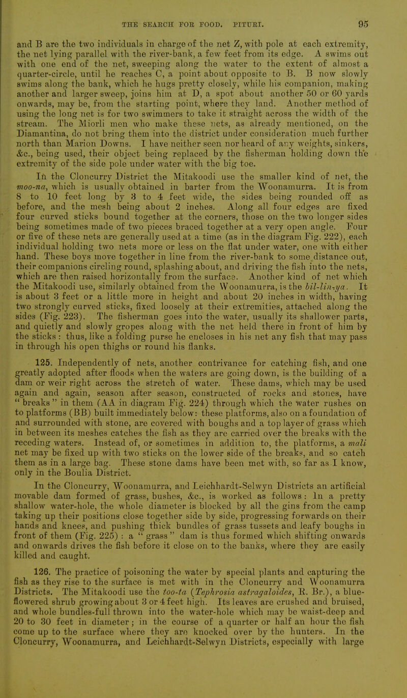 and B are the two individuals in charge of the net Z, with pole at each extremity, the net lying parallel with the river-bank, a few feet from its edge. A swims out with one end of the net, sweeping along the water to the extent of almost a quarter-circle, until he reaches C, a point about opposite to B. B now slowly swims along the bank, which he hugs pretty closely, while his companion, making another and larger sweep, joins him at D, a spot about another 50 or 60 yards onwards, may be, from the starting point, where they land. Another method of using the long net is for two swimmers to take it straight across the width of the stream. The Miorli men who make these nets, as already mentioned, on the Diamantina, do not bring them into the district under consideration much further north than Marion Downs. I have neither seen nor heard of any weights, sinkers, &c., being used, their object being replaced by the fisherman holding down the extremity of the side pole under water with the big toe. In the Cloncurry District the Mitakoodi use the smaller kind of net, the moo-nci, which is usually obtained in barter from the Woonamurra. It is from 8 to 10 feet long by 8 to 4 feet wide, the sides being rounded off as before, and the mesh being about 2 inches. Along all four edges are fixed four curved sticks bound together at the corners, those on the two longer sides being sometimes made of two pieces braced together at a very open angle. Four or five of these nets are generally used at a time (as in the diagram Fig. 222), each individual holding two nets more or less on the flat under water, one with either hand. These boys move together in line from the river-bank to some distance out, their companions circling rouud, splashing about, and driving the fish into the nets, which are then raised horizontally from the surface. Another kind of net which the Mitakoodi use, similarly obtained from the Woonamurra, is the bil-lin-.ya. It is about 3 feet or a little more in height and about 20 inches in width, having two strongly curved sticks, fixed loosely at their extremities, attached along the sides (Fig. 223). The fisherman goes into the water, usually its shallower parts, and quietly and slowly gropes along with the net held there in front of him by the sticks : thus, like a folding purse he encloses in his net any fish that may pass in through his open thighs or round his flanks. 125. Independently of nets, another contrivance for catching fish, and one greatly adopted after floods when the waters are going down, is the building of a dam or weir right across the stretch of water. These dams, which may be used again and again, season after season, constructed of rocks and stones, have “ breaks ” in them (AA in diagram Fig. 224) through which the water rushes on to platforms (BB) built immediately below: these platforms, also on a foundation of and surrounded with stone, are covered with boughs and a top layer of grass which in between its meshes catches the fish as they are carried over the breaks with the receding waters. Instead of, or sometimes in addition to, the platforms, a mctli net may be fixed up with two sticks on the lower side of the breaks, and so catch them as in a large bag. These stone dams have been met with, so far as I know, only in the Boulia District. In the Cloncurry, Woonamurra, and Leichhardt-Selwyn Districts an artificial movable dam formed of grass, bushes, &c., is worked as follows : In a pretty shallow water-hole, the whole diameter is blocked by all the gins from the camp taking up their positions close together side by side, progressing forwards on their hands and knees, and pushing thick bundles of grass tussets and leafy boughs iu front of them (Fig. 225) : a “ grass” dam is thus formed which shifting onwards and onwards drives the fish before it close on to the banks, where they are easity killed and caught. 126. The practice of poisoning the water by special plants and capturing the fish as they rise to the surface is met with in the Cloncurry and Woonamurra Districts. The Mitakoodi use the too-ta (Tephrosia astragaloides, K. Br.), a blue- flowered shrub growing about 3 or 4 feet high. Its leaves are crushed and bruised, and whole bundles-full thrown into the water-hole which may be waist-deep and 20 to 30 feet in diameter ; in the course of a quarter or half an hour the fish come up to the surface where they are knocked over by the hunters. In the Cloncurry, Woonamurra, and Leichhardt-Selwyn Districts, especially with large