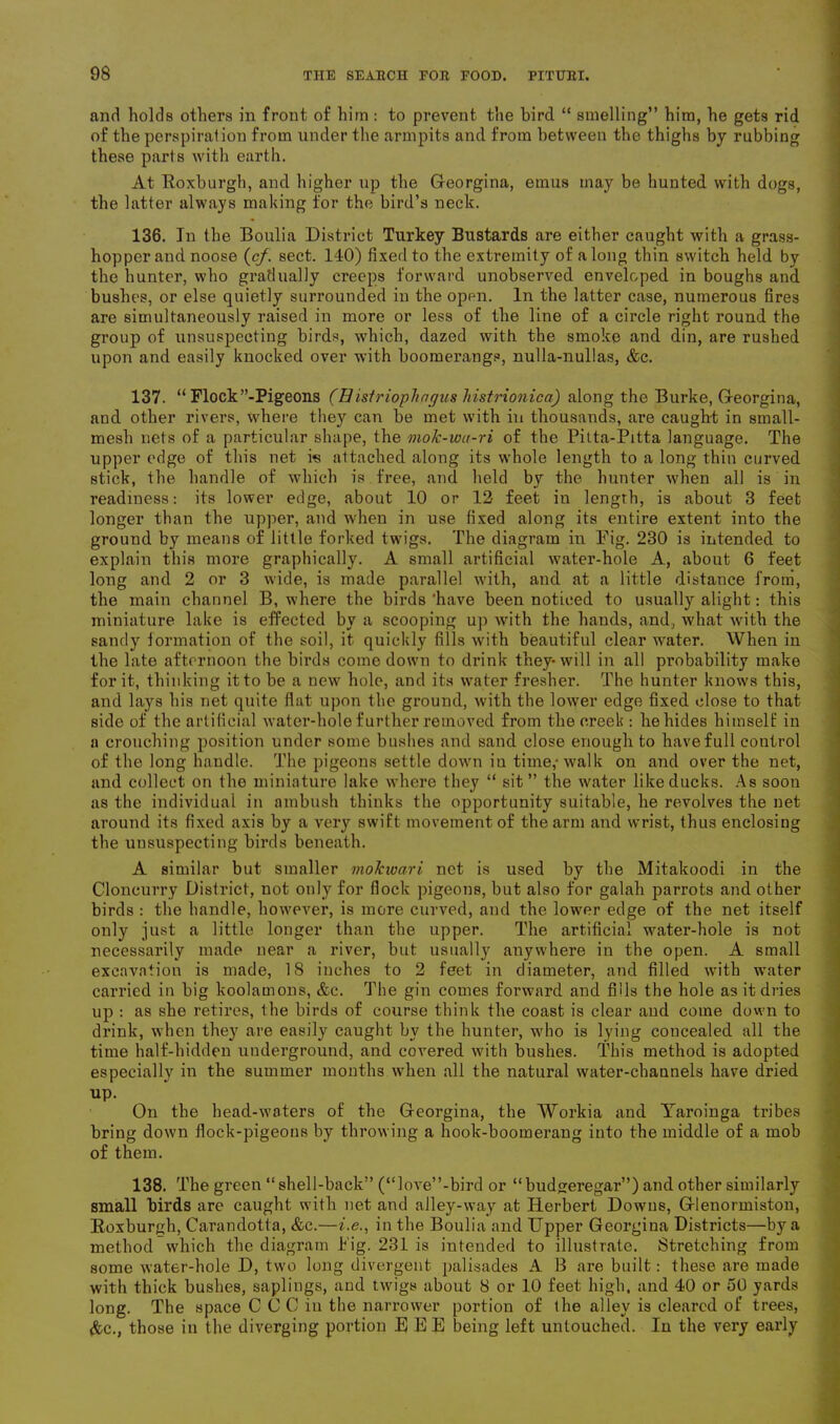 and holds others in front of him : to prevent the bird “ smelling” him, he gets rid of the perspiration from under the armpits and from between the thighs by rubbing these parts with earth. At Roxburgh, and higher up the Georgina, emus may be hunted with dogs, the latter always making for the bird’s neck. 136. In the Boulia District Turkey Bustards are either caught with a grass- hopper and noose (cf. sect. 140) fixed to the extremity of a long thin switch held by the hunter, who gradually creeps forward unobserved enveloped in boughs and bushes, or else quietly surrounded in the open. In the latter case, numerous fires are simultaneously raised in more or less of the line of a circle right round the group of unsuspecting birds, which, dazed with the smoke and din, are rushed upon and easily knocked over with boomerangs, nulla-nullas, &c. 137. “ Flock’’-Pigeons (Hisiriophngus histrionica) along the Burke, Georgina, and other rivers, where they can be met with in thousands, are caught in small- mesh nets of a particular shape, the mok-wu-ri of the Pitta-Pitta language. The upper edge of this net is attached along its whole length to a long thin curved stick, the handle of which is free, and held by the hunter when all is in readiness: its lower edge, about 10 or 12 feet in length, is about 3 feet longer than the upper, and when in use fixed along its entire extent into the ground by means of little forked twigs. The diagram in Fig. 230 is intended to explain this more graphically. A small artificial water-hole A, about 6 feet long and 2 or 3 wide, is made parallel with, and at a little distance from, the main channel B, where the birds 'have been noticed to usually alight: this miniature lake is effected by a scooping up with the hands, and, what with the sandy formation of the soil, it quickly fills with beautiful clear water. When in the late afternoon the birds comedown to drink they-will in all probability make for it, thinking it to be a new hole, and its water fresher. The hunter knows this, and lays his net quite fiat upon the ground, with the lower edge fixed close to that side of the artificial water-hole further removed from the creek : he hides himself in a crouching position under some bushes and sand close enough to have full control of the long handle. The pigeons settle down in time,-walk on and over the net, and collect on the miniature lake where they “ sit” the water like ducks. As soon as the individual in ambush thinks the opportunity suitable, he revolves the net around its fixed axis by a very swift movement of the arm and wrist, thus enclosing the unsuspecting birds beneath. A similar but smaller vioJcwari net is used by the Mitakoodi in the Cloncurry District, not only for flock pigeons, but also for galah parrots and other birds : the handle, however, is more curved, and the lower edge of the net itself only just a little longer than the upper. The artificial water-hole is not necessarily made near a river, but usually anywhere in the open. A small excavation is made, 18 inches to 2 feet in diameter, and filled with water carried in big koolamons, &e. The gin comes forward and fills the hole as it dries up : as she retires, the birds of course think the coast is clear and come down to drink, when they are easily caught by the hunter, who is lying concealed all the time half-hidden underground, and covered with bushes. This method is adopted especially in the summer months when all the natural water-channels have dried up. On the head-waters of the Georgina, the Workia and Yaroinga tribes bring down fiock-pigeons by throwing a hook-boomerang into the middle of a mob of them. 138. The green “shell-back” (“love”-bird or “budjreregar”) and other similarly small birds are caught with net and alley-way at Herbert Downs, Glenormiston, Roxburgh, Carandotta, &c.—i.e., in the Boulia and Upper Georgina Districts—by a method which the diagram Fig. 231 is intended to illustrate. Stretching from some water-hole D, two long divergent palisades A B are built: these are made with thick bushes, saplings, and twigs about 8 or 10 feet high, and 40 or 50 yards long. The space C C C in the narrower portion of the alley is cleared of trees, &c., those in the diverging portion REE being left untouched. In the very early