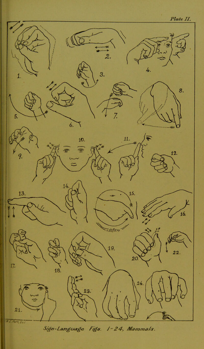 M f. Hohh D, / S/g/7-Language fogs. I~24-, Mammals.