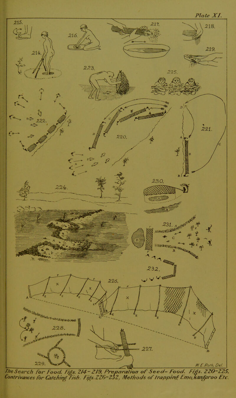 The Search Tor Food. Figs. 2/4-- 2/9, Preoa ration of Seed- Food. Figs. 220-225. Contrivances For Catching F/sh. Figs. 226-2.)2, Methods of trapping Fmn, kangaroo Etc