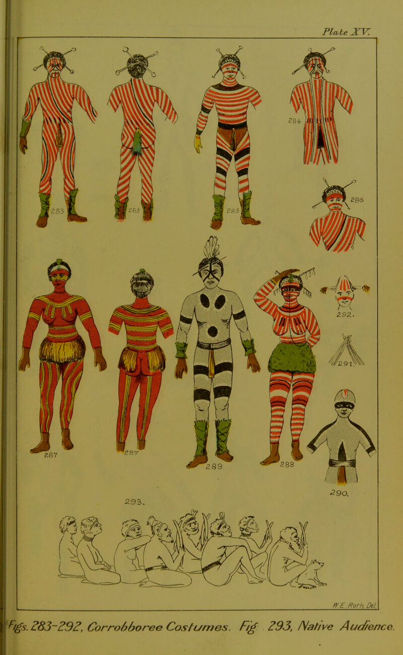 I W. £. Roth, Dd. F/gs. 283~2S2, Corrobboree Costumes. Fig 293, Native Au<J/ence.