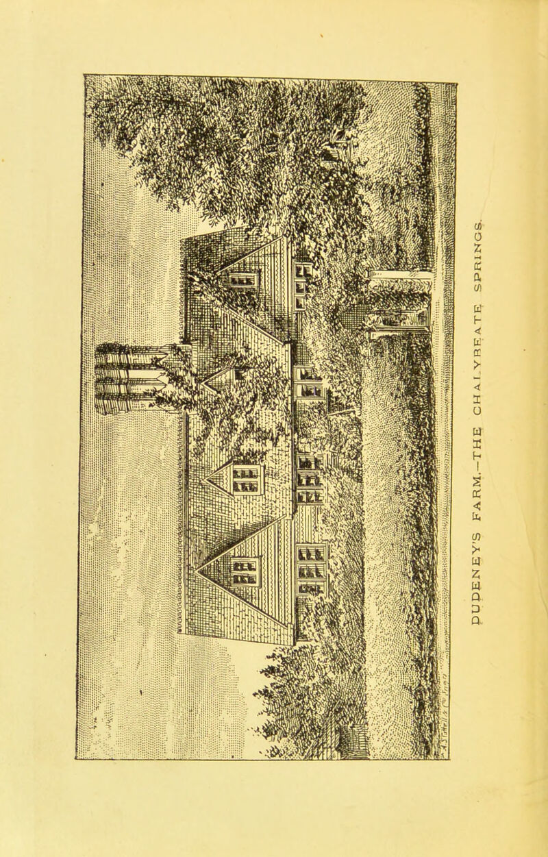 PUPENEY’S FARM.—THE CHai.yreaTE SPRINGS.