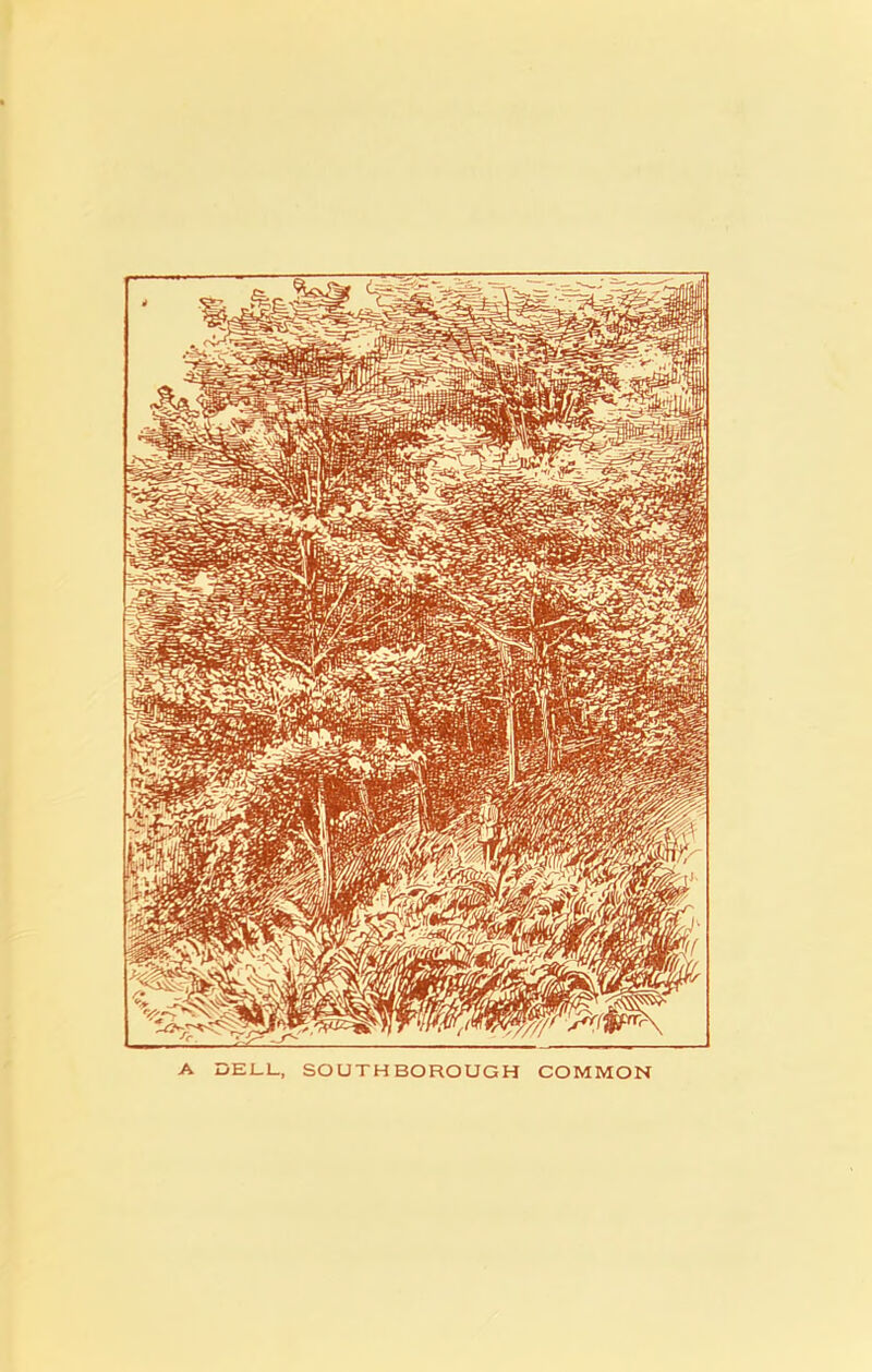 A DELL., SOUTHBOROUGH COMMON