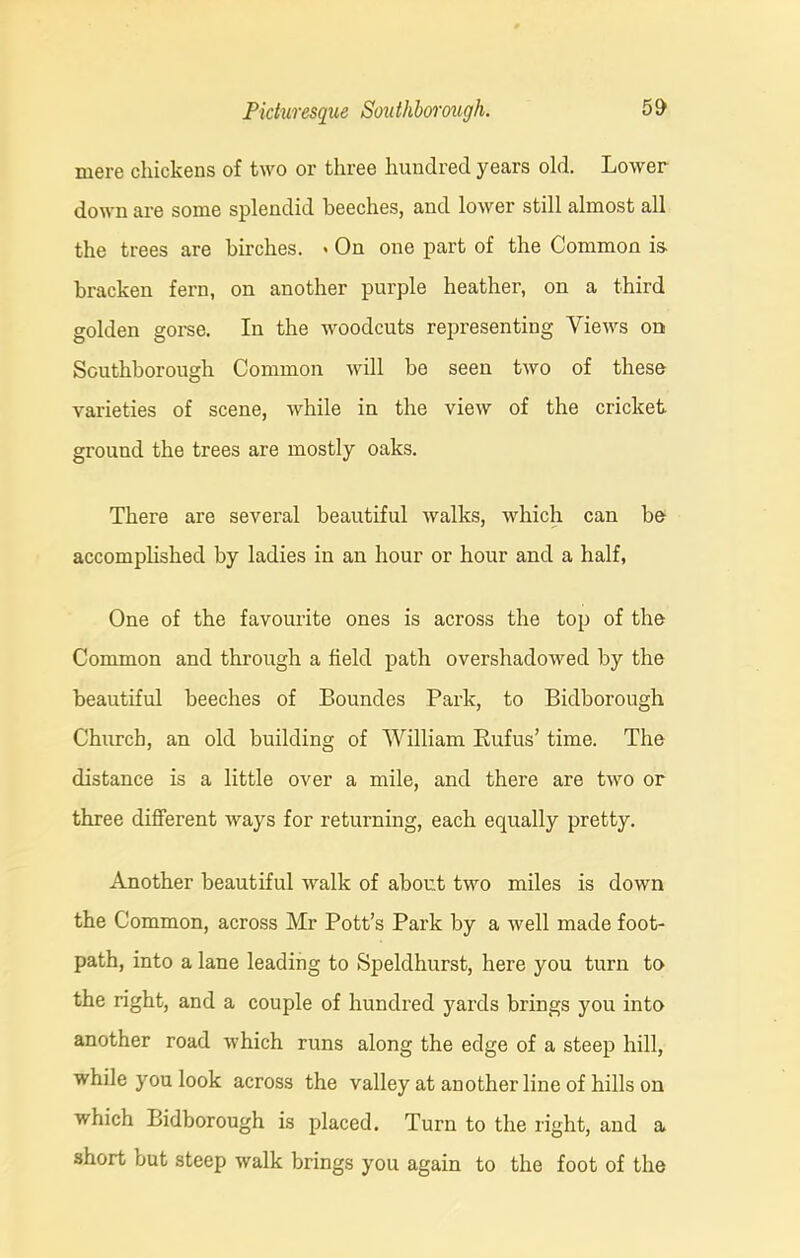 mere chickens of two or three hundred years old. Lower down are some splendid beeches, and lower still almost all the trees are birches. « On one part of the Common is. bracken fern, on another purple heather, on a third golden gorse. In the woodcuts representing Views on Southborough Common will be seen two of these varieties of scene, while in the view of the cricket ground the trees are mostly oaks. There are several beautiful walks, which can be accomplished by ladies in an hour or hour and a half, One of the favourite ones is across the top of the Common and through a field path overshadowed by the beautiful beeches of Boundes Park, to Bidborough Church, an old building of William Rufus’ time. The distance is a little over a mile, and there are two or three different ways for returning, each equally pretty. Another beautiful walk of about two miles is down the Common, across Mr Pott’s Park by a well made foot- path, into a lane leading to Speldhurst, here you turn to the right, and a couple of hundred yards brings you into another road which runs along the edge of a steep hill, while you look across the valley at another line of hills on which Bidborough is placed. Turn to the right, and a short but steep walk brings you again to the foot of the