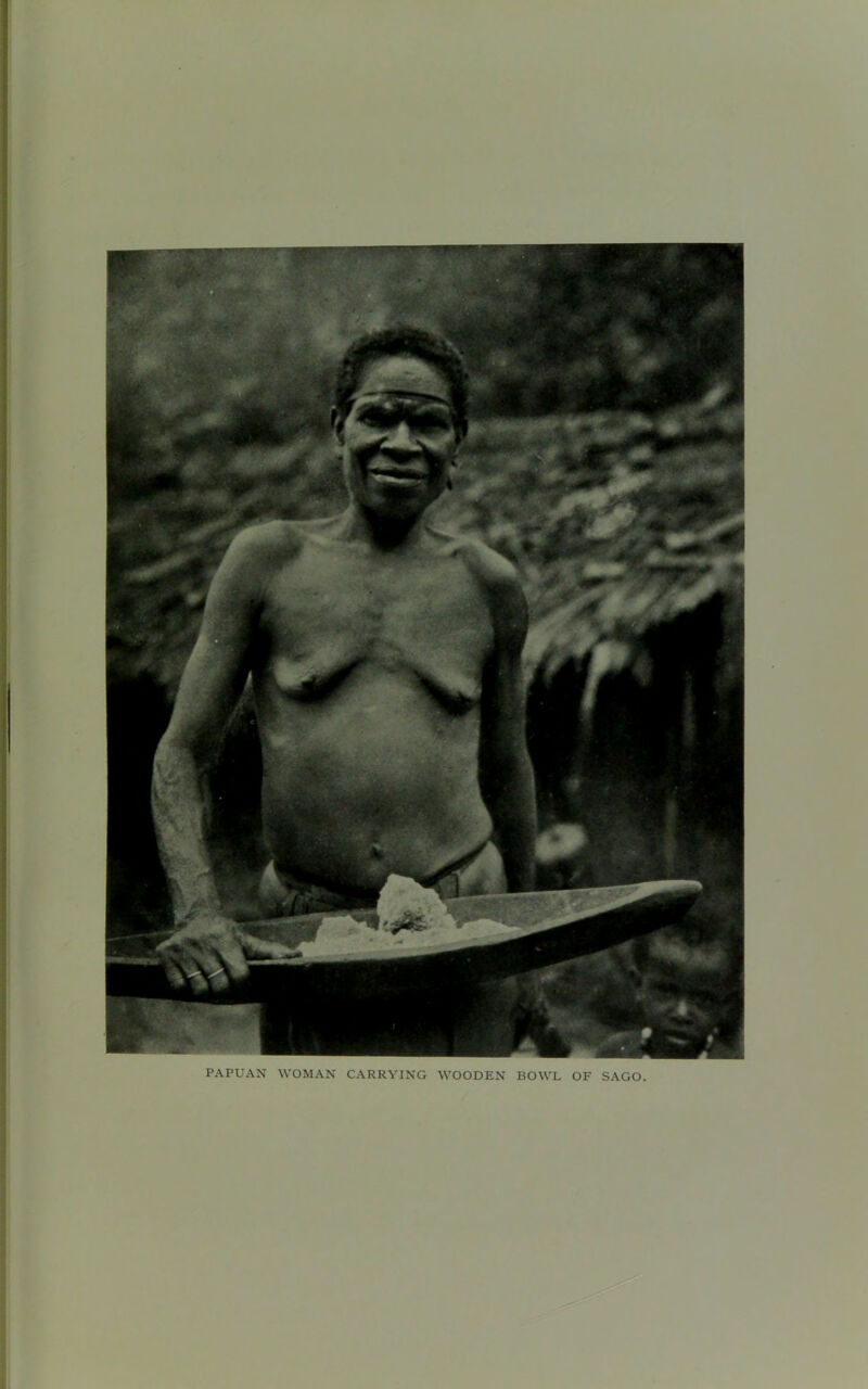 V * PAPUAN WOMAN CARRYING WOODEN BOWL OF SAGO.