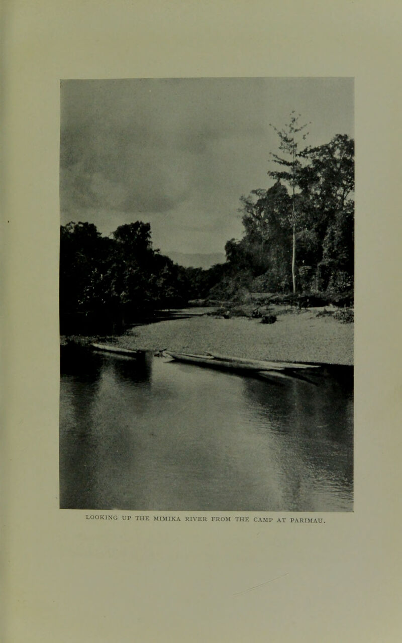 9 tr LOOKING UP THE MIMIKA RIVER FROM THE CAMP AT PARIMAU.