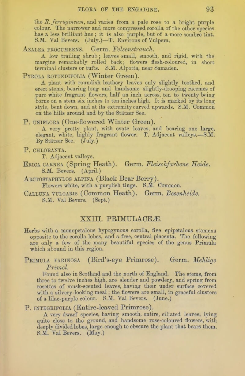 the E. ferrugineum, and varies from a pale rose to a bright purple colour. The narrower and more compressed corolla of the other species has a less brilliant hue ; it is also purple, but of a more sombre tint. S.M. Val Be vers. (July.)—T. Environs of Vulpera. Azalea procumbens. Germ. Fdsenstrciuch. A low trailing shrub; leaves small, smooth, and rigid, with the margins remarkably rolled back; flowers flesh-coloured, in short terminal clusters or tufts. S.M. Alpotta, near Samaden. Ptrola roturdifolia (Winter Green). A plant with roundish leathery leaves only slightly toothed, and erect stems, bearing long and handsome slightly-drooping racemes of pure white fragrant flowers, half an inch across, ten to twenty being borne on a stem six inches to ten inches high. It is marked by its long style, bent down, and at its extremity curved upwards. S.M. Common on the hills around and by the Stiitzer See. P. hniflora (One-flowered Winter Green). A very pretty plant, with ovate leaves, and bearing one large, elegant, white, highly fragrant flower. T. Adjacent valleys.—S.M. By Statzer See. (July.) P. CHLORANTA. T. Adjacent valleys. Erica carnea (Spring Heath). Germ. Fleischfarbene Heide. S.M. Bevers. (April.) Arctostaphtlos at.pixa (Black Bear Berry). Flowers white, with a purplish tinge. S.M. Common. Calluna vulgaris (Common Heath). Germ. Besenheide. S.M. Val Bevers. (Sept.) XXIII. PRIMULACEiE. Herbs with a monopetalous hypogynous corolla, five epipetalous stamens opposite to the corolla lobes, aDd a free, central placenta. The following are only a few of the many beautiful species of the genus Primula which abound in this region. Primula farinosa (Bird’s-eye Primrose). Germ. Mehlige Primel. Found also in Scotland and the north of England. The stems, from three to twelve inches high, are slender and powdery, and spring from rosettes of musk-scented leaves, having their under surface covered with a silvery-looking meal; the flowers are small, in graceful clusters of a lilac-purple colour. S.M. Val Bevers. (June.) P. integrifolia (Entire-leaved Primrose). A very dwarf species, having smooth, entire, ciliated leaves, lying quite close to the ground, and handsome rose-coloured flowers, with deeply divided lobes, large enough to obscure the plant that bears them. S.M. Val Bevers. (May.)