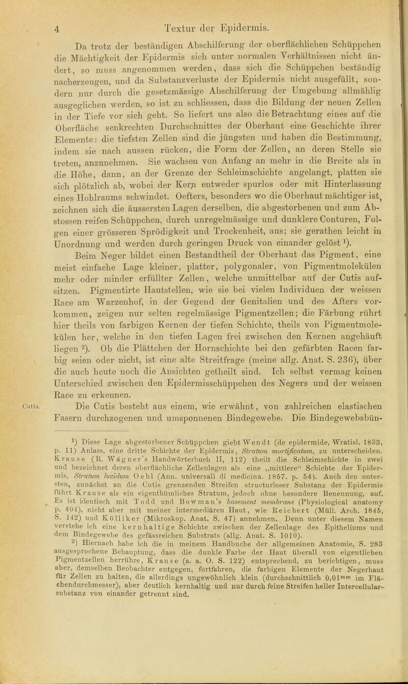 Da trotz der best&ndigen Abschilferung der oberflachlichen ScTnippchen die Miichtigkeit der Epidermis sich unter normalen Verhiiltnissen nicht an- dert, so muss angenomnien werden, dass sich die Schiippchen bestundig nacherzeugen, und da Substanzverluste der Epidermis nicht ausgefiillt, son- dern nur durch die gesetzmassige Abschilferung der Umgebung allmahlig ausgen-lichen werden, so ist zu schliessen, dass die Bildung der neuen Zellen in der Tiefe vor sich geht. So liefert uns also die Betrachtung eines auf die Oberflache senkrechten Durchschnittes der Oberhaut eine Geschichte ihrer Elemente: die tiefsten Zellen sind die jiingsten und haben die Bestimmung, indem sie nach aussen riicken, die Form der Zellen, an deren Stelle Bie treten, anzunehmen. Sie wachsen von Anfang an mehr in die Breite als in die Hohe, dann, an der Grenze der Schleimschichte angelangt, platten sie sich plotzlich ab, wobei der Kern entweder spurlos oder mit Hinterlassung eines Hohlraums schwindet. Oefters, besonders wo die Oberhaut machtiger ist, zeichnen sich die aussersten Lagen derselben, die abgestorbenen und zum Ab- stossen reifen Schiippchen, durch unregelmassige und dunklere Conturen, Fol- gen einer grosseren Sprodigkeit und Trockenheit, aus; sie gerathen leicht in Unordnung und werden durch geringen Druck von einander gelost Beim Neger bildet einen Bestandtheil der Oberhaut das Pigment, eine meist einfache Lage kleiner, platter, polygonaler, von Pigmentmolekulen mehr oder minder erfullter Zellen, welche unmittelbar auf der Cutis auf- sitzen. Pigmentirte Hautstellen, wie sie bei vielen Individuen der weissen Race am Warzenhof, in der Gegend der Genitalien und des Afters vor- kommen, zeigen nur selten regelmassige Pigmentzellen; die Farbung riihrt hier theils von farbigen Kernen der tiefen Schichte, theils von Pigmentmole- kulen her, welche in den tiefen Lagen frei zwischen den Kernen angehiiuft liegen 2). Ob die Phittchen der Hornschichte bei den gefarbten Racen far- big seien oder nicht, ist eine alte Streitfrage (meine allg. Anat. S. 236), iiber die auch heute noch die Ansichten getheilt sind. Ich selbst verinag keinen Unterschied zwischen den Epidermisschiippchen des Negers und der weissen Race zu erkennen. Cutis. Die Cutis besteht aus einem, wie erwahnt, von zahlreichen elastischen Fasern durchzogenen und umsponnenen Bindegewebe. Die Bindegewebsbiin- J) Diesc Lage abgestorbener Schiippchen giebtWendt (de epidermide, Wratisl. 1833, p. 11) Anlass, eine dritte Schichte der Epidermis, Stratum mortificatum, zu unterscheiden. Krause (K. Wagner's Handworterbuch II, 112) theilt die Schleimschichte in zwei und bezcichnet deren oberfliicbliche Zellenlagen als eine ,,mittlere Schichte der Epider- mis, Stratum lucidum Oebl (Ann. universali di medicina. 1857. p. 54). Auch den unter- sten, zunaehst an die Cutis grenzenden Streifen structurloser Substanz der Epidermis fiihrt Krause als ein eigenthiimliches Stratum, jedocb ohne besondere Benennung, auf. Es ist identisch mit Todd und Bowman's basement membrane (Physiological anatomy p. 404), nicht aber mit meiner intermediarcn Haut, wie Keichert (Miill. Arch. 1845, S. 142) und Kolliker (Mikroskop. Anat. S. 47) annehmen. Denn unter diesem Namen vcrstehe icb eine kernhaltige Schichte zwischen der Zellenlage des Epitheliums und dem Bindegewebe des gefassreichen Substrats (allg. Anat. S. 1010). 2) Hiernach babe ich die in meinem Handbucbe der allgemeinen Anatomie, S. 283 ausgesprochene Behauptung, dass die dunkle Farbe der Haut ilberall von eigentlichen Pigmentzellen herriibre, Krause (a. a. O. S. 122) entsprechend, zu berichtigen, muss aber, demselben Beobacbter entgegen, fortfahren, die farbigen Elemente der Negerhaut filr Zellen zu halten, die allerdings ungewohnlich klein (durchschnittlich 0,0lmm im F1H- chendurchmesser), aber deutlich kernhaltig und nur durch feine Streifen heller Intercellular- substanz von einander getrennt sind.