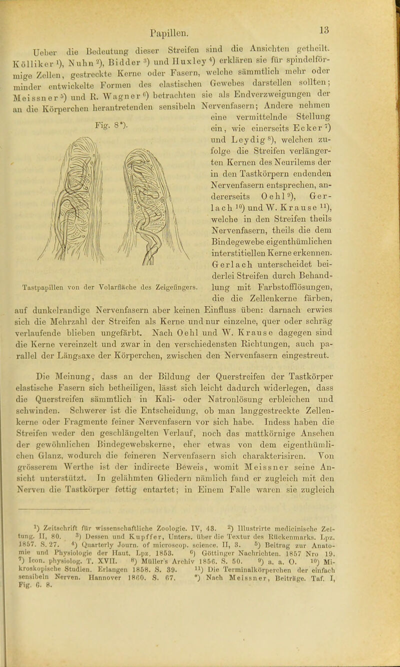 Ueber die Bedeutung dieser Streifen sind die Ansicbten getbeilt. Ko Hiker l), Nubn2), Bidder !) und Huxley4) erklaren sie fur spindelfor- migeZellen, gestreokte Kerne oder Fasern, welche sammtlich mebr odor minder entwickelte Formen des elastischen Gewebes darstcllen sollten; Meissner*) und R. Wagner6) betrachten sie als Endverzweigungen der an die Eorperchen herantretenden sensibeln Nervenfasern; Andere nebraen eine verniittelnde Stellung ^ ein, wie einerseits Ecker7) und Leydig8), welcben zu- folge die Streifen verlanger- ten Kernen des Neurilems der in den Tastkorpern endenden Nervenfasern entspreclien, an- dererseits Oebl9), Ger- lacb 10) und W. Krause ), welcbe in den Streifen theils Nervenfasern, theils die dem Bindegewebe eigentlmmlichen interstitiellen Kerne erkennen. Gerlach unterscheidet bei- derlei Streifen durch Behand- lung mit Farbstofflosungen, die die Zellenkerne farben, auf dunkelrandige Nervenfasern aber keinen Einfluss uben: darnach erwies sich die Mebrzahl der Streifen als Kerne und nur einzelne, quer oder schriig verlaufende blieben ungefarbt. Nach Oehl und W. Krause dagegen sind die Kerne vereinzelt und zwar in den verschiedensten Richtungen, auch pa- rallel der Langsaxe der Korperchen, zwischen den Nervenfasern eingestreut. Die Meinung, dass an der Bildung der Querstreifen der Tastkorper elastiscbe Fasern sich betheiligen, lasst sich leicht dadurch widerlegen, dass die Querstreifen sammtlich in Kali- oder Natronlosung erbleichen und scliwinden. Schwerer ist die Entscheidung, ob man langgestreckte Zellen- kerne oder Fragmente feiner Nervenfasern vor sich habe. Indess haben die Streifen -\veder den geschlangelten Verlauf, noch das mattkornige Ansehen der gewolmlichen Bindegewel)skerne, eher etwas von dem eigentlmmli- chen Glanz, wodurch die feineren Nervenfasern sich charakterisircu. Von grosserem Werthe ist der indirecte Beweis, womit Meissner seine An- sicht unterstiitzt. In geliihmten Gliedcrn niimlich fnnd er zugleich mit den Nerven die Tastkorper fettig entartet; in Einem Falle warcn sie zugleicli Tastpapillen von der Volarfliiche des Zeigcfingers. ') Zeitschrift filr wissenschaftliche Zoologic. IV, 48. 2) Illustrirte medicinische Zei- tung. II, 80. 3) Dessen und Kupffcr, Unters. liber die TextUr des Rilckenmarks. Lpz. 1867. S. 27. 4) Quarterly Journ. of microscop. science. II, 3. °) Bcitrng zur Anato- mic und Physiologic der Haut. Lpz. 1853. c) Giittinger Nachrichtcn. 1857 Nro 19. 7) Icon, physiolog. T. XVII. Mtlllers Archiv 185G. S. 50. ») a. a. O. ™) Mi- kroskopische Studien. Erlangen 1868. S. 89. n) Die Terminalkiirpcrchen der einfach sensibeln Nerven. Hannover 1800. S. 07. *) Nach Meissner, Beitrilgc. Taf. I, Fig. fi. 8.