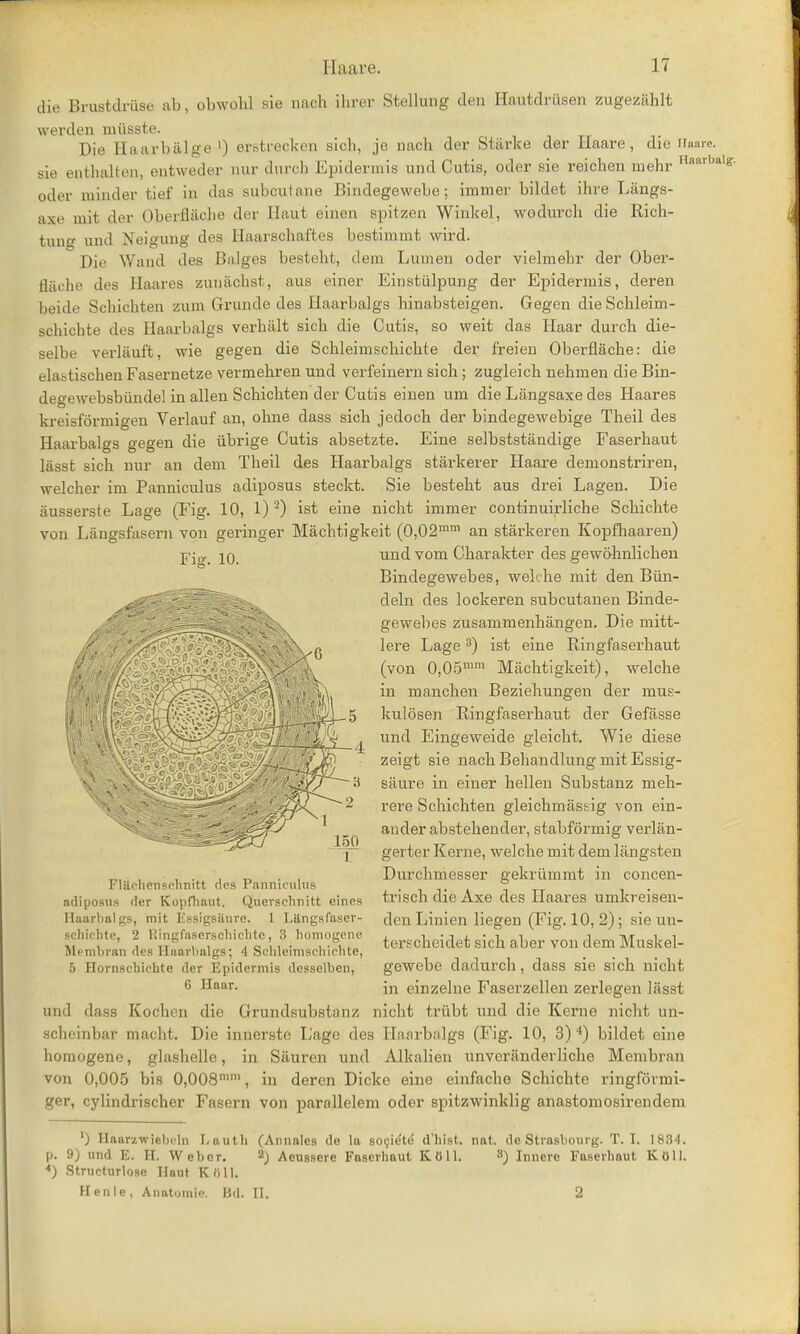 die Brustdruse ab, obwohl sie nach ihrer Stellung den Eautdriisen zugezahlt vverden miisste. Die Eaarbalge ') erstrecken sich, je nach der Starke der Haare, die iiaare. sie enthalten, entweder nur durch Epidermis und Cutis, oder sie reichen mehr Ilaarba|s- oder minder fcief in das suboutane Jiindegewebe; immer bildet ihre Langs- axe mit der Oberflache der Eaut einen spitzen Winkel, wodurch die Rich- tuno- und Neigung dea Eaarsohaftes bestimmt wird. Die V/and des Balges besteht, dem Lumen oder vielmebr der Ober- flache des Eaares zunaohst, aus einer Einstiilpung der Epidermis, deren beide Schichten zum Grunde des Haarbalgs hinabsteigen. Gegen die Schleim- scbichte des Haarbalgs verhalt sich die Cutis, so weit das Haar durch die- selbe verltiuft, wie gegen die Schleimschichte der freien Oberflache: die t-la-tischenFasernetze verrnehren und verfeinern sich ; zugleich nehmen die Bin- degewebsbundel in alien Schichten der Cutis einen um die Langsaxe des Haares kreisformigen Verlauf an, ohne dass sich jedoch der bindegewebige Theil des Haarbalgs gegen die ubrige Cutis absetzte. Eine selbststandige Faserhaut lasst sich nur an dem Theil des Haarbalgs starkerer Haare demonstriren, welcher im Panniculus adiposus steckt. Sie besteht aus drei Lagen. Die ausserste Lage (Fig. 10, 1)2) ist eine nicht immer continuirliche Schichte von Langsfasern von geringer Macbtigkeit (0,02mm an starkeren Kopfhaaren) Fig. 10. und vom Charakter des gewohnlichen Bindegewebes, welt he mit den Biin- deln des lockeren subcutanen Binde- gewebes zusammenhangen. Die mitt- lere Lage3) ist eine Ringfaserhaut (von 0,05mm Mjichtigkeit), welche manchen Beziehunsren der mus- ln FliicheriReliriitt des Panniculus adiposus der Kopfliaut. Quorschnitt eines Ilaarlial ;;s, mit Kssigsiturc. 1 Lilngsfaser- schiehte, 2 Ringfascrschiehtc, 3 homogenc Membran des Haarbalgs; A Sclileirnschirlite, 5 Hornschiehtc der Epidermis desselben, G Haar. und dass Kochen die Grundsubstanz kulosen Ringfaserhaut der Gefasse und Eingeweide gleicht. Wie diese zeigt sie nach Behandlung mit Essig- siiure in einer hellen Substanz meh- rere Schichten gleichmas&ig von ein- ander abstehender, stabformig verlan- gerter Kerne, welche mit dem langsten Durcbmesser gekriimmt in concen- trisch die Axe des Haares umkreisen- den Linien liegen (Fig. 10, 2); sie un- terscheidet sich aber von dem Muskel- gewebe dadurcb, dass sie sich nicht in einzelne Faserzellen zerlegen lasst nicht triibt und die Kerne nicht un- scheinbar macbt. Die innerste Lage des Haarbalgs (Fig. 10, 3) 4) bildet eine homogene, glashelle, in Siiuren und Alkalieu unvcriinderlicho Membran von 0,005 bis 0,008mm, in deren Dicke eine einfacbe Schichte ringfonni- ger, cylindriscber Fasern von parallelem oder spitzwinklig anastomosirendem ') Haarzwiebcdn Lauth (Annales de la societe d'hist. not. de Strasbovirg. T.I. 1834. p. 9) und E. H. Weber. 2) Aeussere Faserhaut Ktlll. 3) Innere Faserhaut KOll. 4) Structurlose Haut Klill. Henle, Anatomic Bd. II. 2