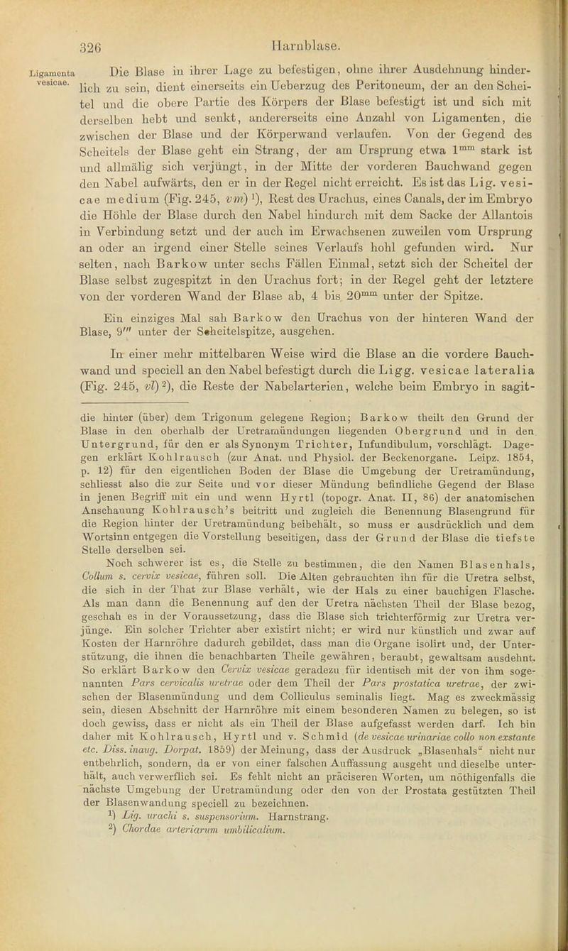 Ligamenta Die Blase hi ihrer Lage zu befestigen, ohne ihrer Ausdelinung hinder- vesicue. j» ^ ^ gejn^ dient einerseits ein Ueberzug dcs Peritoneum, der an den Schei- tel und die obere Partie des Korpers der Blase befestigt ist und sich niit derselben bebt und senkt, andererseits eine Anzabl von Ligamenten, die zvvischen der Blase und der Korperwand verlaufen. Von der Gegend des Scheitels der Blase geht ein Strang, der am Ursprung etwa lmm stark ist und allmalig sich verjiingt, in der Mitte der vorderen Bauchwand gegen den Nabel aufwarts, den er in der Regel niclit erreicht. EsistdasLig. vesi- cae medium (Fig. 245, vm) '), Rest des Urachus, eines Canals, der im Embryo die Hohle der Blase durch den Nabel hindurch mit dem Sacke der Allantois in Verbindung setzt und der audi im Erwachsenen zuweilen vom Ursprung an oder an irgend einer Stelle seines Verlaufs hohl gefunden wird. Nur selten, nach Barkow unter secbs Fallen Einmal, setzt sich der Scheitel der Blase selbst zugespitzt in den Urachus fort; in der Regel geht der letztere von der vorderen Wand der Blase ab, 4 bis 20mm unter der Spitze. Ein einziges Mai sah Barkow den Urachus von der hinteren Wand der Blase, 9' unter der S«heitelspitze, ausgehen. In einer mehr mittelbaren Weise wird die Blase an die vordere Bauch- wand und speciell an den Nabel befestigt durch die Ligg. vesicae lateralia (Fig. 245, vl)2), die Reste der Nabelarterien, welche beim Embryo in sagit- die hinter (iiber) dem Trigonum gelegene Region; Barkow theilt den Grund der Blase in den oberhalb der Uretramiindungen liegenden Obergrund und in den Untergrund, fur den er als Synonym Trichter, Infundibulum, vorschlagt. Dage- gen erklart Kohlrauseh (zur Anat. und Physiol, der Beckenorgane. Leipz. 1854, p. 12) fur den eigentlichen Boden der Blase die Umgebung der Uretramiindung, schliesst also die zur Seite und vor dieser Miindung befindliche Gegend der Blase in jenen Begriff mit ein und wenn Hyrtl (topogr. Anat. II, 86) der anatomischen Anschauung Kohlrausch's beitritt und zugleieh die Benennung Blasengrund fur die Region hinter der Uretramiindung beibehalt, so muss er ausdriieklich und dem Wortsinn entgegen die Vorstellung beseitigen, dass der Grund der Blase die tiefste Stelle derselben sei. Noch sehwerer ist es, die Stelle zu bestimmen, die den Namen Blasenhals, Collum s. cervix vesicae, fiihren soli. Die Alten gebrauchten ihn fur die Uretra selbst, die sich in der That zur Blase verhalt, wie der Hals zu einer bauchigen Flasche. Als man dann die Benennung auf den der Uretra nachsten Theil der Blase bezog, geschah es in der Voraussetzung, dass die Blase sich trichterformig zur Uretra ver- jiinge. Ein solcher Trichter aber existirt nicht; er wird nur kiinstlich und zwar auf Kosten der Harnrohre dadurch gebildet, dass man die Organe isolirt und, der Unter- stiitzung, die ihnen die benachbarten Theile gewahren, beraubt, gevvaltsam ausdehnt. So erklart Barkow den Cervix vesicae geradezu fur identisch mit der von ihm soge- nannten Pars cervicalis uretrae oder dem Theil der Pars prostatica uretrae, der zwi- schen der Blasenmiindung und dem Colliculus seminalis liegt. Mag es zweckmassig sein, diesen Abschnitt der Harnrohre mit einem besonderen Namen zu belegen, so ist doch gewiss, dass er nicht als ein Theil der Blase aufgefasst werden darf. Ich bin daher mit Kohlrauseh, Hyrtl und v. Schmid (de vesicae urinariae collo non exstante etc. Diss, inaug. Dorpat. 1859) derMeinung, dass der Ausdruck „Blasenhals* nicht nur entbehrlich, sondern, da er von einer falschen Auffassung ausgeht and dieselbe nnter- halt, auch verwerflich sei. Es fehlt nicht an praciseren Worten, um nothigenfalls die nachste Umgebung der Uretramiindung oder den von der Prostata gestiitzten Theil der Blasenwandung speciell zu bezeichnen. *) Lig. urachi s. suspcnsoriitrn. Harnstrang. 2) Chordae arteriarimi vmbilicalivm.