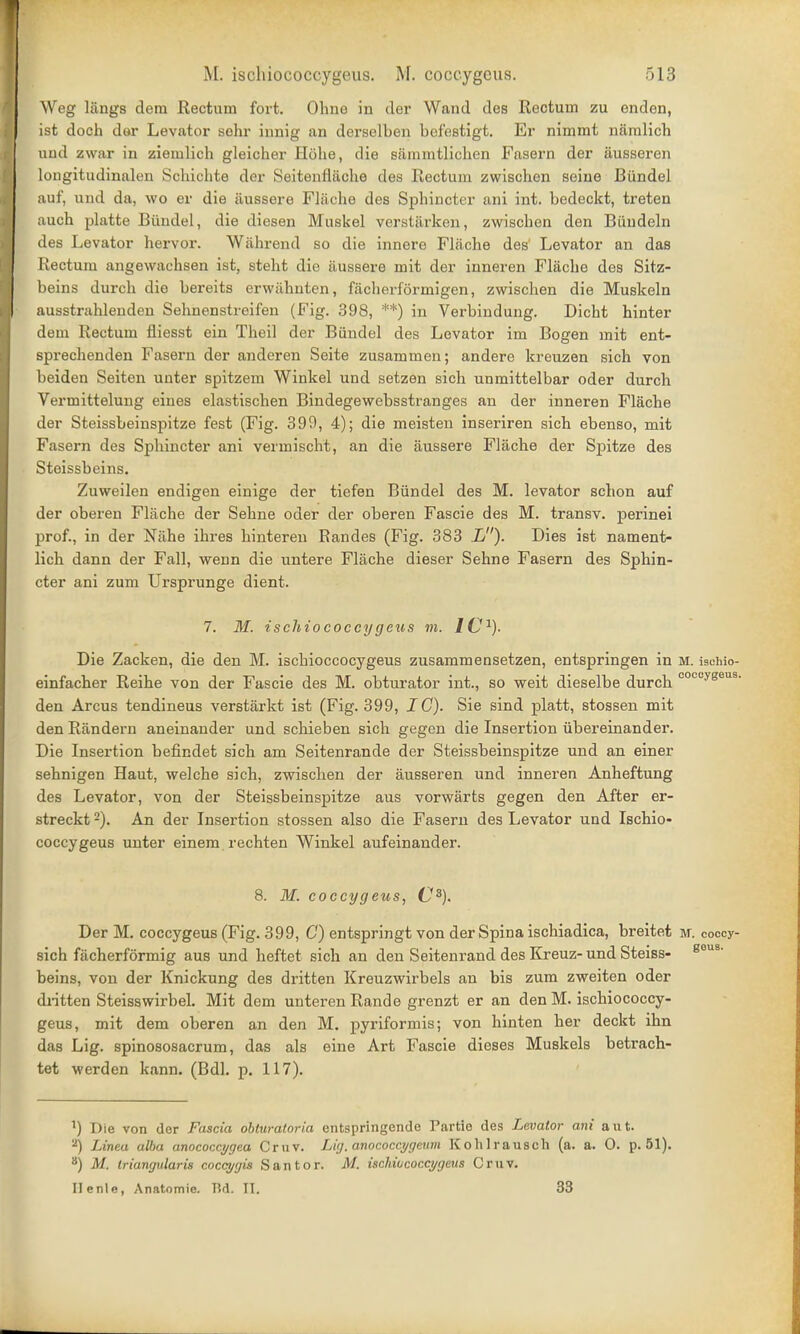 Weg langs dem Rectum fort. Ohne in der Wand des Rectum zu enden, ist doch dor Levator sehr innig an derselben bcfestigt. Er nimmt niimlich und zwar in ziemlich gleicher Hohe, die siimmtlichen Fasern der iiusseren longitudinalen Schichte der Seitenfiache des Rectum zwischen seine Biindel auf, und da, wo er die iiussere Fliiche des Sphincter ani int. bedeckt, treten auch platte Biindel, die diesen Muskel verstarken, zwischen den Biiudeln des Levator hervor. Wahrend so die innere Fliiche des' Levator an das Rectum angewachsen ist, steht die iiussere mit der inneren Fliiche des Sitz- beins durch die bereits erwiihuten, fiicherformigen, zwischen die Muskeln ausstrahlenden Sehnenstreilen (Fig. 398, **) in Verbindung. Dicht hinter dem Rectum fliesst ein Theil der Biindel des Levator im Bogen mit ent- sprechenden Fasern der anderen Seite zusammen; andere kreuzen sich von beiden Seiten unter spitzem Winkel und setzen sich unmittelbar oder durch Vermittelung eines elastischen Bindegewebsstranges an der inneren Flache der Steissbeinspitze fest (Fig. 399, 4); die meisten inseriren sich ebenso, mit Fasern des Sphincter ani vermischt, an die iiussere Flache der Spitze des Steissbeins. Zuweilen endigen einige der tiefen Biindel des M. levator schon auf der oberen Flache der Sehne oder der oberen Fascie des M. transv. perinei prof., in der Niihe ihres hinteren Randes (Fig. 383 L). Dies ist namenfc- lich dann der Fall, wenn die untere Flache dieser Sehne Fasern des Sphin- cter ani zum Ursprunge dient. 7. M. ischiococcygeus m. /C1). Die Zacken, die den M. ischioccocygeus zusammensetzen, entspringen in m. ischio- einfacher Reihe von der Fascie des M. obturator int., so weit dieselbe durch 00ccygeu8, den Arcus tendineus verstiirkt ist (Fig. 399, IG). Sie sind platt, stossen mit den Riindern aneinander und schieben sich gegen die Insertion iibereinander. Die Insertion befindet sich am Seitenrande der Steissbeinspitze und an einer sehnigen Haut, welche sich, zwischen der fiusseren und inneren Anheftung des Levator, von der Steissbeinspitze aus vorwarts gegen den After er- streckt2). An der Insertion stossen also die Fasern des Levator und Ischio- coccygeus unter einem rechten Winkel aufeinander. 8. M. coccygeus, C3). Der M. coccygeus (Fig. 399, G) entspringt von der Spina ischiadica, breitet m. coccy- sich fiicherformig aus und heftet sich an den Seitenrand des Kreuz-und Steiss- gous' beins, von der Knickung des dritten Kreuzwirbels an bis zum zweiten oder dritten Steisswirbel. Mit dem unteren Rande grenzt er an den M. ischiococcy- geus, mit dem oberen an den M. pyriformis; von hinten her deckt ihn das Lig. spinososacrum, das als eine Art Fascie dieses Muskels betrach- tet werden kann. (Bdl. p. 117). ') Die von der Fascia obturatoria entspringende Partio des Levator ani aut. a) Linea alba anococcygea Cruv. Lig. anococcygeum Kohlrausch (a. a. 0. p. 51). 8) M. triangularis coccygis San tor. M. ischiococcygeus Cruv. Ilenle, Anatomie. TM. II. 33