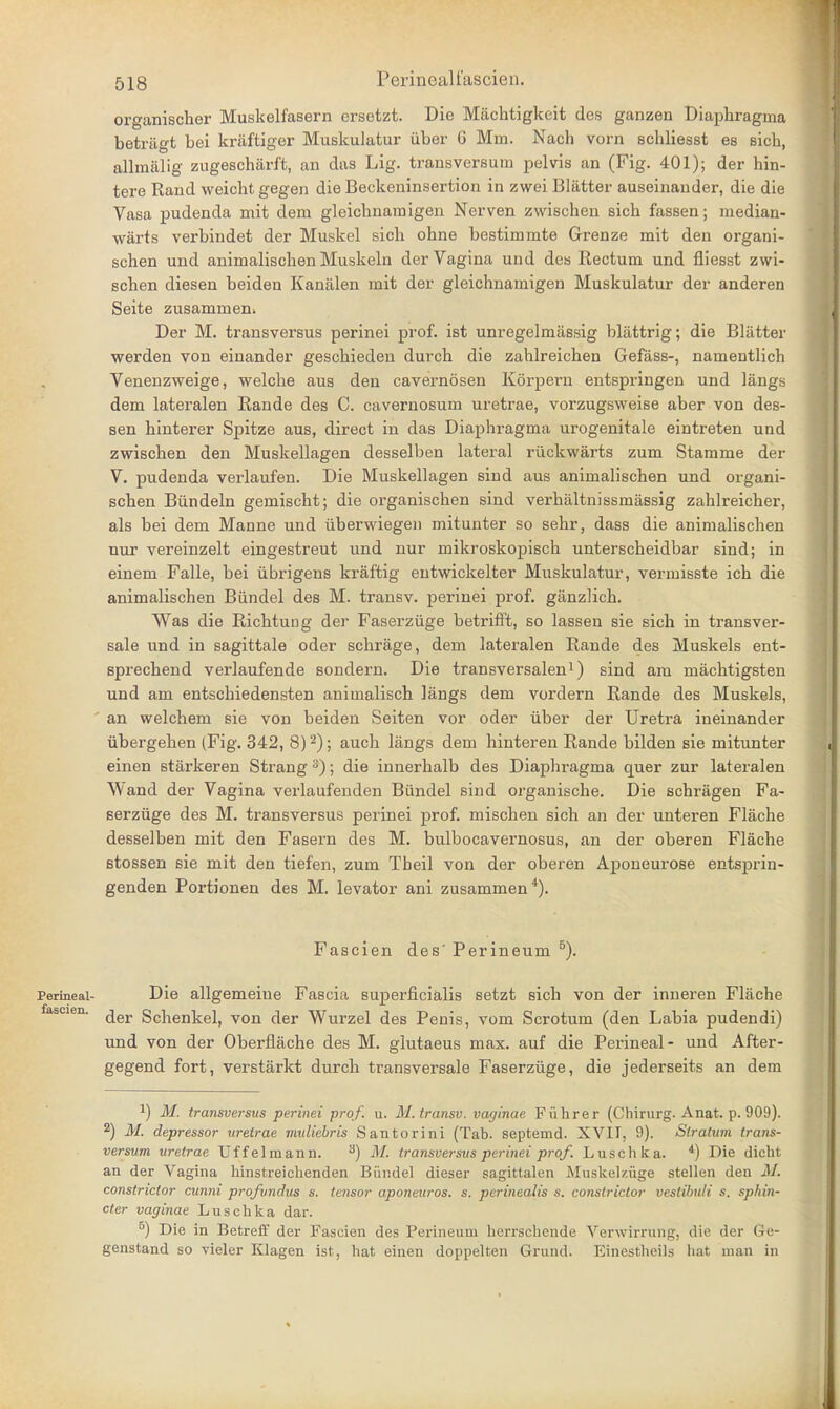 organischer Muskelfasern ersetzt. Die Maclitigkeit des ganzen Diaphragma betragt bei kraftiger Muskulatur iiber G Mm. Nach vorn schliesst es sich, allmalig zugescharft, an das Lig. transversum pelvis an (Fig. 401); der hin- tere Rand weichtgegen die Beckeninsertion in zwei Blatter auseinander, die die Vasa pudenda mit dem gleichnamigen Nerven zwischen sich fassen; median- warts verbindet der Muskel sich ohne bestimmte Grenze mit den organi- schen und animalischen Muskeln der Vagina und des Rectum und fliesst zwi- schen diesen beiden Kaniilen mit der gleichnamigen Muskulatur der anderen Seite zusammen. Der M. transversus perinei prof, ist unregelmassig blattrig; die Blatter werden von einander geschieden durch die zahlreichen Gefass-, namentlich Venenzweige, welche aus den cavernosen Korpern entspringen und langs dem lateralen Rande des C. cavernosum uretrae, vorzugsweise aber von des- sen hinterer Spitze aus, direct in das Diaphragma urogenitale eintreten und zwischen den Muskellagen desselben lateral riickwarts zum Stamme der V. pudenda verlaufen. Die Muskellagen sind aus animalischen und organi- schen Biindeln gemischt; die organischen sind verhaltnissmassig zahlreicher, als bei dem Manne und uberwiegen mitunter so sehr, dass die animalischen nur vereinzelt eingestreut und nur mikroskopisch unterscheidbar sind; in einem Falle, bei iibrigens kraftig entwickelter Muskulatur, vermisste ich die animalischen Biindel des M. transv. perinei prof, ganzlich. Was die Richtung der Faserziige betrifit, so lassen sie sich in transver- sale und in sagittale oder schrage, dem lateralen Rande des Muskels ent- sprechend verlaufende sondern. Die transversalen1) sind am machtigsten und am entschiedensten animalisch langs dem vordern Rande des Muskels, ' an welchem sie von beiden Seiten vor oder iiber der Uretra ineinander iibergehen (Fig. 342, 8)2); auch langs dem hinteren Rande bilden sie mitunter einen starkeren Strang 3); die innerhalb des Diaphragma quer zur lateralen Wand der Vagina verlaufenden Biindel sind organische. Die schragen Fa- serziige des M. transversus perinei prof, mischen sich an der unteren Flache desselben mit den Fasern des M. bulbocavernosus, an der oberen Flache stossen sie mit den tiefen, zum Tbeil von der oberen Aponeurose entsprin- genden Portionen des M. levator ani zusammen4). Fascien des' Perineum B). Perineal- Die allgemeine Fascia superficialis setzt sich von der inneren Flache fascien. Schenkel, von der Wurzel des Penis, vom Scrotum (den Labia pudendi) und von der Oberflache des M. glutaeus max. auf die Perineal- und After - gegend fort, verstarkt durch transversale Faserziige, die jederseits an dem J) M. transversus perinei prof. u. M. transv. vaginae Fiihrer (Chirurg. Anat. p. 909). 2) M. depressor uretrae muliebris Santorini (Tab. septemd. XVII, 9). Stratum trans- versum uretrae Uffelmann. 3) M. transversus perinei prof. Luschka. 4) Die dicht an der Vagina hinstreichenden Biindel dieser sagittalen Muskelzuge stellen den M. constrictor cunni profundus s. tensor aponeuros. s. perinealis s. constrictor vestibuii s. sphin- cter vaginae Luschka dar. B) Die in Betreif der Fascien des Perineum herrschende Verwirrung, die der G-e- genstand so yieler Klagen ist, hat einen doppelten Grund. Einestheils hat man in