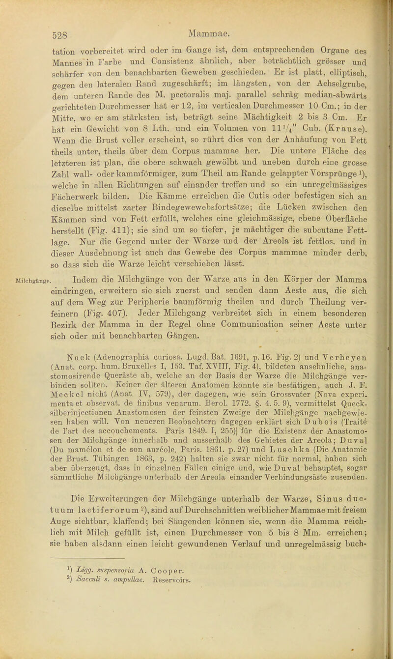 tation vorbereitet wird oder im Gange ist, dem entsprechenden Organe des Mannes in Farbe und Consistenz ahnlich, aber betr&chtlich grosser und scharfer von den bemachbarten Geweben geschieden. Er ist platt, ellijjtisch, gegen den lateralen Rand zugescharft; im liingsten, von der Achselgrube, dem unteren Rande des M. pectoralis maj. parallel schrag median-abwarts gerichteten Durcbmesser bat erl2, im verticalen Durchmesser 10 Cm.; in der Mitte, wo er am starksten ist, betragt seine Machtigkeit 2 bis 3 Cm. Er hat ein Gewicht von 8 Ltb. und ein Volumen von IV/4, Cub. (Krause). Wenn die Brust voller erseheint, so riihrt dies von der Anhaufung von Fett theils unter, tbeils uber dem Corpus mammae her. Die untere Flache des letzteren ist plan, die obere schwacb gewolbt und uneben durch eine grosse Zabl wall- oder kammformiger, zum Tbeil am Rande gelappter Vorspriinge >), welche in alien Richtungen auf einander treffen und so ein unregelmassiges Fiicherwerk bilden. Die Kamme erreichen die Cutis oder befestigen sich an dieselbe mittelst zarter Bindegewewebsfortsatze; die Lucken zwischen den Kammen sind von Fett erfullt, welches eine gleichmassige, ebene Oberflache herstellt (Fig. 411); sie sind um so tiefer, je machtiger die subcutane Fett- lage. Nur die Gegend unter der Warze und der Areola ist fettlos. und in dieser Ausdehnung ist auch das Gewebe des Corpus mammae minder derb, so dass sich die Warze leicht verschieben lasst. Milchgange. Indem die Milchgange von der Warze aus in den Korper der Mamma eindringen, erweitern sie sich zuerst und senden dann Aeste aus, die sich auf dem Weg zur Peripherie baumformig theilen und durch Theilung ver- feinern (Fig. 407). Jeder Milcbgang verbreitet sich in einem besonderen Bezirk der Mamma in der Regel ohne Communication seiner Aeste unter sich oder mit benachbarten Gangen. Nuck (Adenograpkia curiosa. Lugd. Bat. 1691, p. 16. Fig. 2) und Verheyen (Anat. corp. bum. Bruxelh s I, 153. Taf. XVIII, Fig. 4), bildeten ansehnliche. ana- stomosirende Queraste ab, welche an der Basis der Warze die Milchgange ver- binden sollten. Keiner der alteren Anatomen konnte sie bestatigen, auch J. F. Meckel nicht (Anat. IV, 579), der da^egen, wie sein Grossvater (Nova experi. mentaet observat. de finibus venarum. Berol. 1772. §. 4.5.9), vermittelst Queck- silberinjectionen Anastomosen der feinsten Zweige der Milchgange nacbgewie- sen baben will. Von neueren Beobacbtern dagegen erklart sich Dubois (Traite de 1'art des accouchements. Paris 1849. I, 255)] fur die Existenz der Anastomo- sen der Milchgange innerhalb und ausserbalb des Gebietes der Areola; Duval (Du mamelon et de son aureole. Paris. 1861. p. 27) und Luschka (Die Anatomie der Brust. Tubingen 1863, p. 242) halten sie zwar nicht fur normal, haben sich aber uberzeugt, dass in einzelnen Fallen einige und, -wie Duval behauptet, sogar sammtliche Milchgange unterhalb der Areola einander Verbindungsaste zusenden. Die Erweiterungen der Milchgange unterbalb der Warze, Sinus duc- tuum lactif er orum 2), sind auf Durchschnitten weiblicherMammae mit freiem Auge sichtbar, klaffend; bei Saugenden konnen sie, wenn die Mamma reich- lich mit Milch gefiillt ist, einen Durchmesser von 5 bis 8 Mm. erreichen; sie haben alsdann einen leicht gewundenen Verlauf und unregelmiissig buch- x) Ligg. snspensoria A. Cooper. 2) Sacculi s. ampullae. Reservoirs.