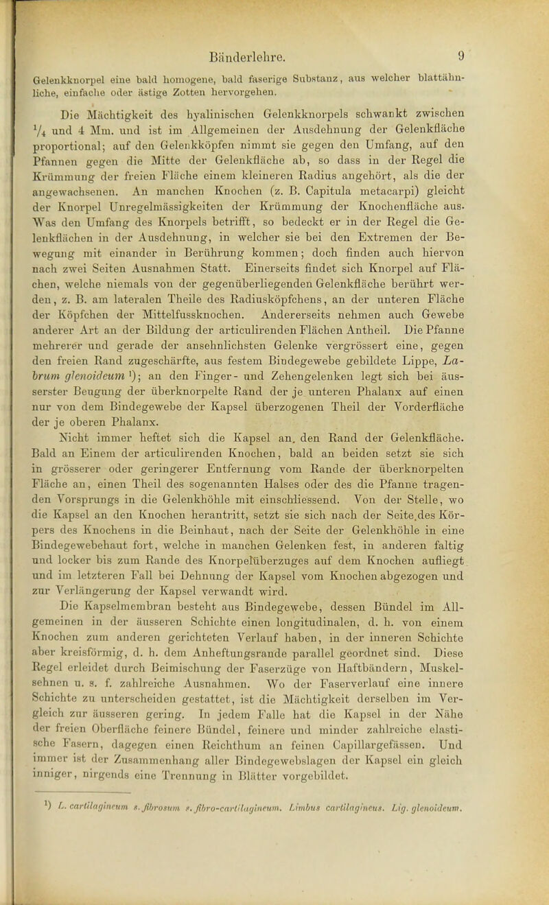 Geleukkuorpel eine bald honiogene, bald faserige Substauz, aus welcher blattahn- liche, eiufache oder astige Zotten hervorgehen. Die Miichtigkeit des hyalinischen Gelenkknorpels schwankt zwischen Vi unci 4 Mm. unci ist im Allgemeinen der Ausdehnung der Gelenkflache proportional; auf den Gelenkkopfen nimmt sie gegen den Umfang, auf den Pfannen gegen die Mitte der Gelenkflache ab, so dass in der Regel die Krummung der freien Fliiche einem kleineren Radius angehort, als die der angewachsenen. An manchen Knochen (z. B. Capitula metacarpi) gleicht der Knoi^pel Unregelmiissigkeiten der Krummung der Knochenflache aus. Was den Umfang des Knorpels betrifft, so bedeckt er in der Regel die Ge- lenkfliichen in der Ausdehnung, in welcher sie bei den Extremen der Be- wegung mit einander in Beriihrung kommen; doch finden auch hiervon nach zwei Seiten Ausnahruen Statt. Einerseits fiudet sich Knorpel auf Fla- chen, welche niemals von der gegenuberliegenden Gelenkflache beriihrt wer- den, z. B. am lateralen Theile des Radiuskopfchens, an der unteren Flache der Kopfchen der Mittelfussknochen. Andererseits nehmen auch Gewebe anderer Art an der Bildung der articulirenden Flachen Antheil. Die Pfanne mehrerer und gerade der ansehnlichsten Gelenke vergrossert eine, gegen den freien Rand zugescharfte, aus festem Bindegewebe gebildete Lippe, La- bruni glenoideum >); an den Finger- und Zehengelenken legt sich bei aus- serster Beugung der iiberknorpelte Rand der je unteren Phalanx auf einen nur von dem Bindegewebe der Kapsel uberzogenen Theil der Vorderflilche der je oberen Phalanx. Nicht immer heftet sich die Kapsel an. den Rand der Gelenkflache. Bald an Einem der articulirenden Knochen, bald an beiden setzt sie sich in grosserer oder geringerer Entfernung vom Rande der iiberknorpelten Flache an, einen Theil des sogenannten Halses oder des die Pfanne tragen- den Vorsprungs in die Gelenkhohle mit einschliessend. Von der Stelle, wo die Kapsel an den Knochen herantritt, setzt sie sich nach der Seite.des Kor- pers des Knochens in die Beinhaut, nach der Seite der Gelenkhohle in eine Bindegewebehaut fort, welche in manchen Gelenken fest, in anderen faltig und locker bis zum Rande des Knorpehiberzuges auf dem Knochen aufliegt und im letzteren Fall bei Dehnung der Kapsel vom Knochen abgezogen und zur Verliingerung der Kapsel verwandt wird. Die Kapselmembran besteht aus Bindegewebe, dessen Biindel im All- gemeinen in der ausseren Schichte einen longitudinalen, d. h. von einem Knochen zum anderen gerichteten Verlauf haben, in der inneren Schichte aber kreisformig, d. h. dem Anheftungsrande parallel geordnet sind. Diese Regel erleidet durch Beimischung der Faserziige von Haftbiindern, Muskel- sehnen u. s. f. zahlreiche Ausnahmen. Wo der Faserverlauf eine inn ere Schichte zu unterscheiden gestattet, ist die Miichtigkeit derselben im Ver- gleich zur ausseren gering. In jedem Falle hat die Kapsel in der Niihe der freien Oberfliiche feinerc Biindel, feinere und minder zahlreiche elasti- sche Fasern, dagegen einen Reichthum an feinen Capillargefiissen. Unci immer ist der Zusammenhang aller Bindegewebslagen der Kapsel ein gleich inniger, nirgends eine Trennung in Bliitter vorgebildet. a) L. cartilagineum S.jtbroium ■*. Jibro-carlilnglnettm. Limbus carlilagineus. Lig. glenoideum.