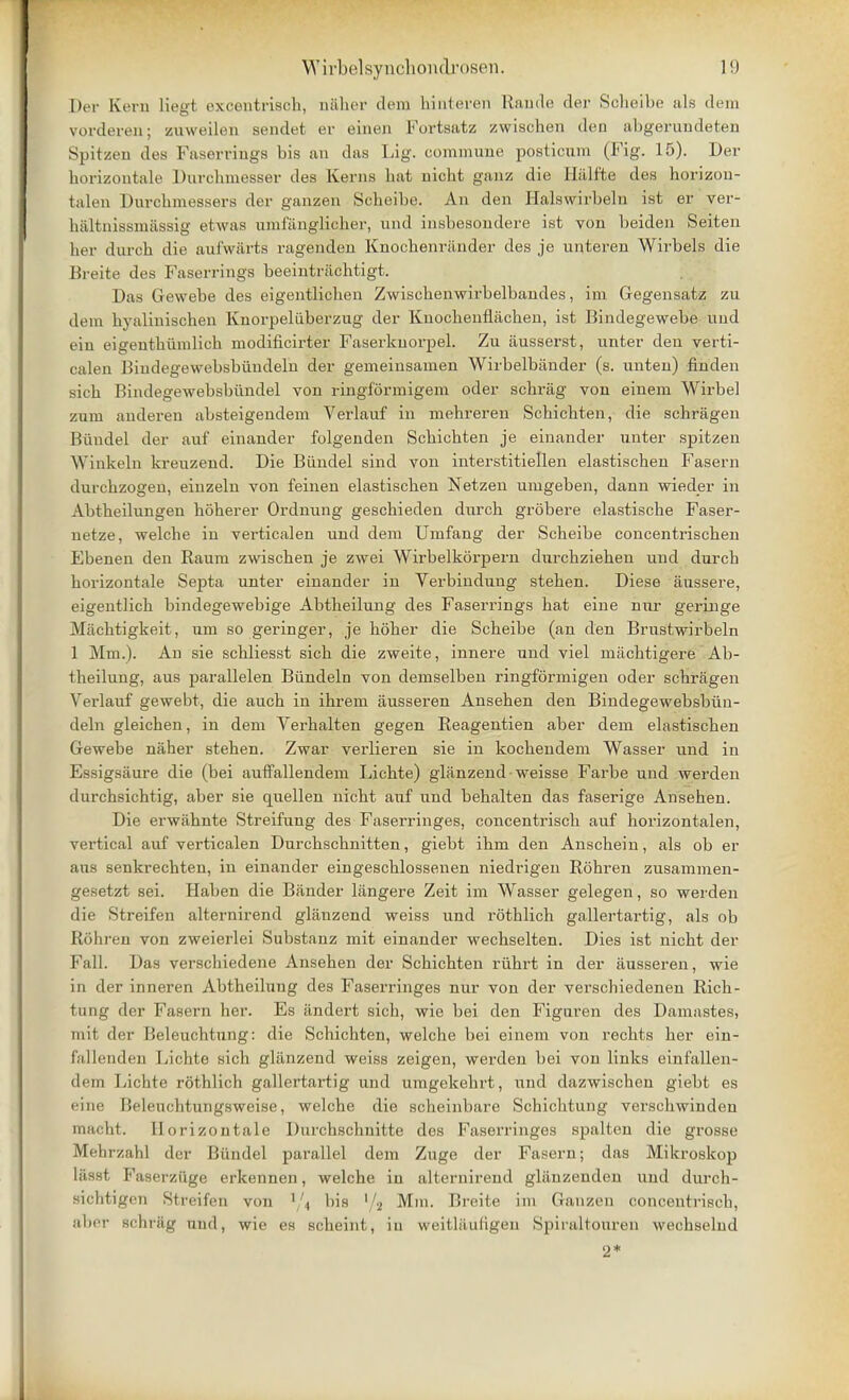 Der Kern liegl excentrisch, naher dem binteren Rande der Soheibe als dem vorderen; zuweilen sendet er einen Fortsatz zwischen den abgerundeten Spitzen des Faserriugs bis an das Lig. commune posticum (Fig. 15). Der horizoutale Durchmesser des Kerns bat nicht ganz die Halffce des horizon- talen Durcbmessers der ganzen Scbeibe. An den Halswirbeln Lst er ver- haltnissmfissig etwas umfanglicher, und insbesondere ist von beiden Seiten her durcb die aufwiirts ragenden Knoehenriinder des je unteren Wirbels die Breite des Faserriugs beeintrachtigt. Das Gewebe des eigentlicben Zwischenwirbelbandes, im Gegensatz zu dem hyalinischen Knorpeliiberzug der Knocbenflacben, ist Bindegewebe uud ein eigeuthiimlieh modificirter Faserkuorpel. Zu iiusserst, unter den verti- calen Bindegewebsbiindeln der gerneinsamen Wirbelbiinder (s. unten) finden sicb Bindegewebsbiindel von ringformigem oder sehrag von einem Wirbel zum anderen absteigendem Verlauf in mehreren Schicbten, die scbragen Bundel der auf einander folgenden Scbicbten je einander unter spitzen Winkeln kreuzend. Die Biindel sind von interstitiellen elastiscben Fasern dnrcbzogen, einzeln von feinen elastiscben Netzen umgeben, dann wieder in Aljtbeilungen hoberer Ordnung gescbieden durcb grobere elastiscbe Faser- netze, welche in verticalen und dem Umfang der Scbeibe concentriscben Ebenen den Raum zwiscben je zwei Wirbelkorpern durchzieben und durcb borizontale Septa unter einander in Verbindung steben. Diese aussere, eigentlicb bindegewebige Abtbeilung des Faserrings bat eine nnr geringe Macbtigkeit, nm so geringer, je bober die Scbeibe (an den Brustwirbeln 1 Mm.). An sie scbliesst sicb die zweite, innere und viel macbtigere Ab- tbeilung, aus parallelen Biindeln von demselben ringfbrmigen oder scbragen Verlauf gewebt, die aucb in ibrem ausseren Anseben den Bindegewebsbiin- deln gleichen, in dem Verbalten gegen Reagentien aber dem elastiscben Gewebe naher steben. Zwar verlieren sie in kocbendem Wasser und in Essigsaure die (bei auffallendem Licbte) glanzend weisse Farbe und werden durchsichtig, aber sie quellen nicht auf und behalten das faserige Ansehen. Die erwahnte Streifung des Faserringes, concentriscb auf horizontalen, vertical auf verticalen Durchschnitten, giebt ihm den Anschein, als ob er aus senkrechten, in einander eingeschlossenen niedrigen Rohren zusammen- gesetzt sei. Haben die Bander langere Zeit im Wasser gelegen, so werden die Streifen alternirend glanzend weiss und rotblich gallertartig, als ob Rohren von zweierlei Substanz mit einander wechselten. Dies ist nicht der Fall. Das verschiedene Ansehen der Schichten riihrt in der ausseren, wie in der inneren Abtheilung des Faserringes nur von der verschiedenen Rich- tung der Fasern her. Es andert sicb, wie bei den Figuren des Damastes, mit der Beleuchtung: die Schichten, welche bei einem von rechts her ein- fallenden Lichte sich glanzend weiss zeigen, werden bei von links einfallen- dem Lichte rothlich gallertartig und umgekehrt, und dazwischen giebt es eine Beleuchtungsweise, welche die scheinbare Schichtung verschwinden macbt. Ilorizontale Durchschnitte des Faserringes spalten die grosse Mehrzahl der Biindel parallel dem Zuge der Fasern; das Mikroskop liisst Faserziige erkennen, welche in alternirend gliinzenden und durch- sichtigcn Streifen von bis '/2 Mm. Breite im Ganzen concentriscb, aber Bchrag uud, wie es scheinl, in weitlftufigen Spiraltouren wechselnd 2*