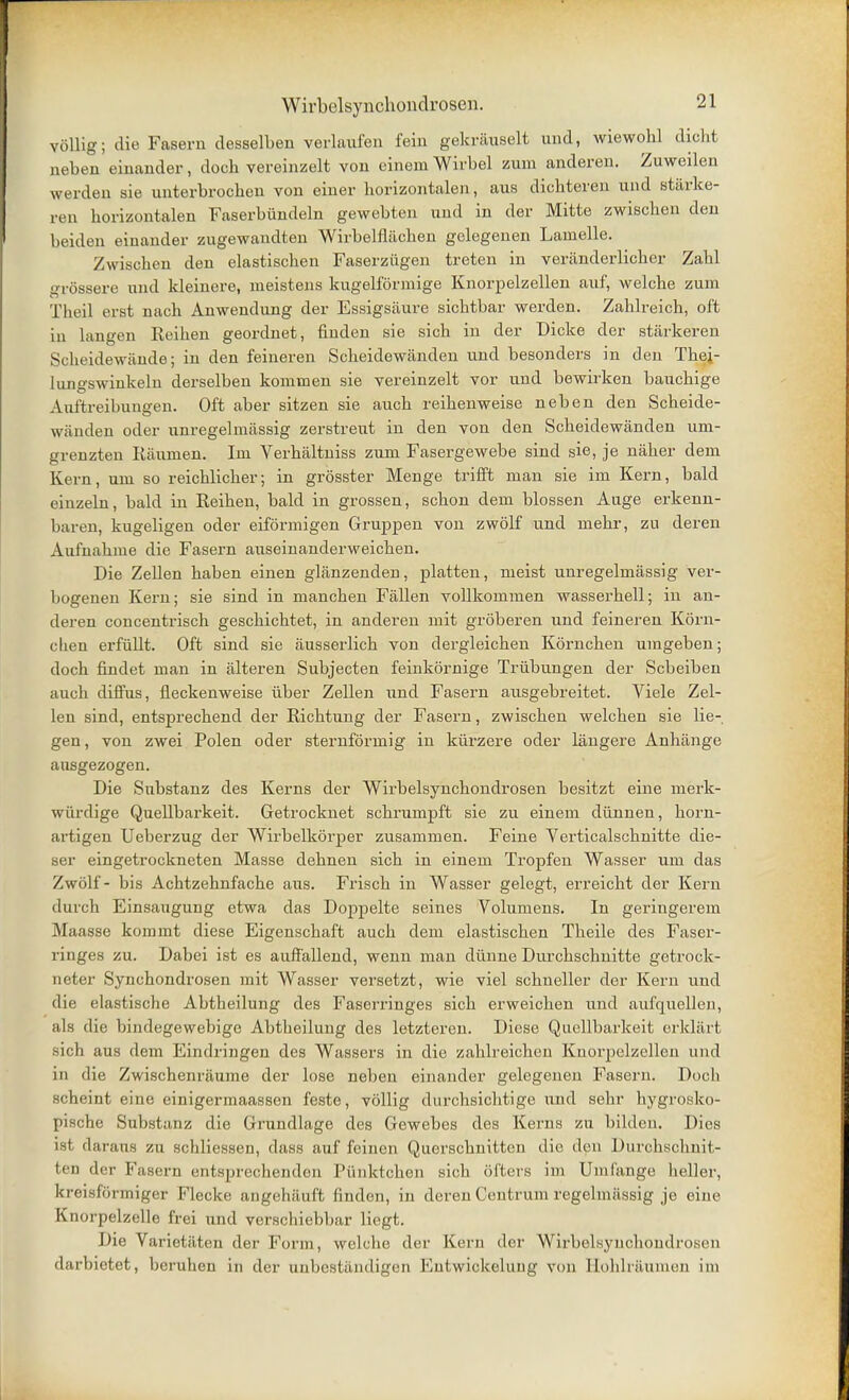 vollig; die Fasern desselben verlaufen fein gekrauselt und, wiewohl dicht ueben eiuander, dooh vereinzelt von einem Wirbel zum anderen. Zuweilen werden sie unterbrocben von einer horizontalen, aus dichteren und starke- ren horizontalen Faserbiindeln gewebten und in der Mitte zwischen den beiden eiuander zugewandten Wirbelfiachen gelegenen Lainelle. Zwischen den elastischen Faserziigen treten in veranderlicher Zahl grossere und kleinere, meistens kugelformige Knorpelzellen auf, welche zum Theil erst nach Anwendung der Essigsaure sicbtbar werden. Zahlreich, oft in langen Eeihen geordnet, finden sie sich in der Dicke der starkeren Scheidewiinde; in den feineren Scheidewanden. und besonders in den Thei- luno-swinkeln derselben komvnen sie vereinzelt vor und bewirken bauchige Auftreibungen. Oft aber sitzen sie auch reihenweise neb en den Scheide- wanden oder unregelmassig zerstreut in den von den Scheidewanden um- grenzten Raunien. Im Verhaltniss zum Fasergewebe sind sie, je naher dem Kern, urn so reichlicher; in grosster Menge trifft man sie im Kern, bald einzeln, bald in Reihen, bald in grossen, schon dem blossen Auge erkenn- baren, kugeligen oder eiformigen Gruppen von zwolf und niehr, zu deren Aufnahme die Fasern auseinanderweichen. Die Zellen haben einen glanzenden, platten, meist unregelmassig ver- bogenen Kern; sie sind in manchen Fallen vollkommen wasserhell; in an- deren concentrisch geschichtet, in anderen mit groberen und feineren Korn- clien erfiillt. Oft sind sie ausserlich von dergleichen Kornchen iimgeben; doch findet man in alteren Subjecten feinkornige Triibungen der Scbeiben auch diffus, fieckenweise uber Zellen und Fasern ausgebreitet. Viele Zel- len sind, entsprechend der Richtung der Fasern, zwischen welchen sie lie- gen , von zwei Polen oder sternformig in kiirzere oder langere Anhange ansgezogen. Die Snbstanz des Kerns der Wirbelsynchondrosen besitzt eine merk- wiirdige Quellbarkeit. Getrocknet schrumpft sie zu einem diinnen, horn- artigen Ueherzug der Wirbelkorper zusammen. Feine Verticalschnitte die- ser eingetrockneten Masse dehnen sich in einem Tropfen Wasser urn das Zwolf - bis Achtzehnfache aus. Frisch in Wasser gelegt, erreicht der Kern durch Einsaugung etwa das Doppelte seines Volumens. In geringerem Maasse kommt diese Eigenschaft auch dem elastischen Theile des Faser- ringes zu. Dabei ist es auffallend, wenn man diinne Durchschnitte getrock- neter Synchondrosen mit Wasser versetzt, wie viel schneller der Kern und die elastische Abtheilung des Faserringes sich erweichen und aufquellen, als die bindegewebige Abtbeilung des letzteren. Diese Quellbarkeit erklart sich aus dem Eindringen des Wassers in die zahlreichen Knorpelzellen und in die Zwischenraume der lose neben eiuander gelegenen Fasern. Doch scheint eine einigermaassen feste, vollig durchsichtige und sehr hygrosko- pische Substanz die Grundlage des Gewebes des Kerns zu bilden. Dies ist daratis zu schliessen, class auf feinen Querschnitten die den Durchschnit- ten der Fasern entsprechenden Piinktchen sich ofters im Unifange heller, kreisformiger Flecke angehiiuft finden, in deren Centrum regelmiissig je eine Knorpelzelle frei und verschiebbar liegt. Die Varietiiten der Form, welche der Kern der Wirbelsynchondrosen darbietet, beruhen in der unbestitndigen Kntwickeluug von Hohlraiimen im