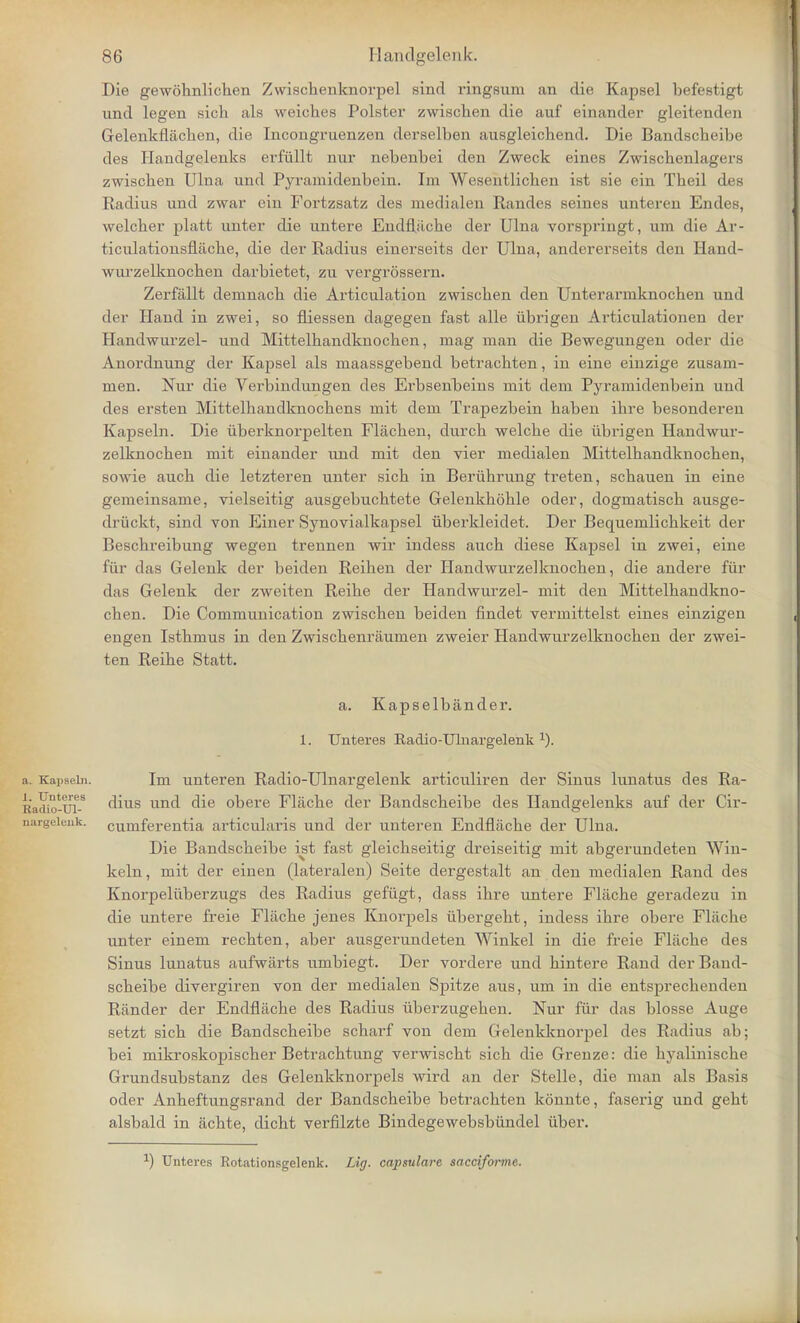 Die gewohnliehen Zwischenknorpel sind ringsum an die Kapsel befestigt und legen sich als weiches Polster zwischen die auf einander gleitenden Grelenkflachen, die Incongruenzcn derselben ausgleichend. Die Bandscheibe des Handgelenks erfiillt nur nebenbei den Zweck eines Zwischenlagers zwiscben Ulna und Pyramidenbein. Im Wesentlichen ist sie ein Theil des Radius und zwar ein Fortzsatz des medialen Randes seines unteren Endes, welcher platt unter die untere Endfliicbe der Ulna vorspringt, um die Ar- ticulationsfiache, die der Radius einerseits der Ulna, andererseits den Haud- wurzelknochen darbietet, zu vergrossern. Zerfallt deninacb die Articulation zwiscben den Unterarmknocben und der Hand in zwei, so fliessen dagegen fast alle iibrigen Articulationen der Handwurzel- und Mittelhandknocben, mag man die Bewegungen oder die Anordnung der Kapsel als maassgebend betracbten, in eine einzige zusam- men. Nur die Verbindungen des Erbsenbeins mit dem Pyramidenbein und des ersten Mittelbandknocbens mit dem Trapezbein baben ihre besondereu Kapseln. Die iiberknorpelten Flachen, durcb welch e die iibrigen Handwur- zelknocben mit einander und mit den vier medialen Mittelbandknocben, sowie aucb die letzteren unter sicb in Berubrung treten, scbauen in eine gemeinsame, vielseitig ausgebucbtete Gelenkkohle oder, dogmatiscb ausge- druckt, sind von Einer Synovialkapsel iiberkleidet. Der Bequemlicbkeit der Bescbreibung wegen trennen wir indess auch diese Kapsel in zwei, eine fur das Gelenk der beiden Reiben der Handwurzelknocben, die andere fur das Gelenk der zweiten Reibe der Handwurzel- mit den Mittelbandkno- chen. Die Communication zwiscben beiden findet vermittelst eines einzigen engen Isthmus in den Zwiscbenriiumen zweier Handwurzelknocben der zwei- ten Reibe Statt. a. Kapselbander. 1. Unteres Radio-Ulnargelenk 1). a. Kapseln. Im unteren Radio-Ulnargelenk articuliren der Sinus lunatus des Ra- Radio-m-8 dius unc^ ^e 0Dere Flacbe der Bandscbeibe des Handgelenks auf der Cir- nargeieuk. cuniferentia articularis und der unteren Endflache der Ulna. Die Bandscbeibe ist fast gleicbseitig dreiseitig mit abgerundeten Win- keln, mit der einen (lateralen) Seite dergestalt an den medialen Rand des Knorpeluberzugs des Radius gefugt, dass ibre untere Flacbe geradezu in die untere freie Flacbe jenes Knorpels iibergebt, indess ibre obere Flache unter einem recbten, aber ausgerundeten Winkel in die freie Flacbe des Sinus lunatus aufwarts umbiegt. Der vordere und bintere Rand der Band- scbeibe divergiren von der medialen Spitze aus, um in die entsprecbenden Rander der Endflacbe des Radius iiberzngeben. Nur fur das blosse Auge setzt sicb die Bandscbeibe scharf von dem Gelenkknorpel des Radius ab; bei mikroskopischer Betracbtung verwiscbt sich die Grenze: die hyalinische Grunclsubstanz des Gelenkknorpels wird an der Stelle, die man als Basis oder Anheftungsrand der Bandscheibe betrachten konnte, faserig und geht alsbald in achte, dicht verfilzte Bindegewebsbiindel iiber. •) Unteres Rotationsgelenk. Lig. capsularc sacciformc.