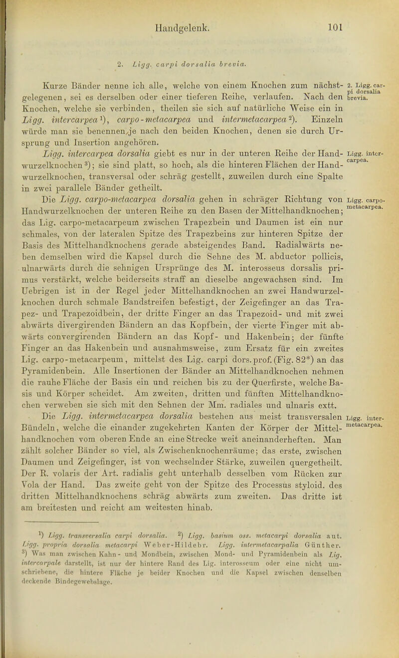 2. Ligg. carpi dorsalia breoia. Kurze Bander nenne ich alle, welche von einem Knochen zum nachst- 2. Ligg. car- gelegenen, sei es derselben oder einer tieferen Reihe, verlaufen. Nach den brevia?a Knochen, welche sie verbinden, theilen sie sich auf naturliche Weise ein in Ligg. intercarpea l), carpo - mctacarpea und intermetacarpea2). Einzeln wiirde man sie benennen,je nach den beiden Knochen, denen sie durch Ur- sprung und Insertion angehoren. Ligg. intercarpea dorsalia giebt es nur in der unteren Reihe der Hand- Ligg. inter- wurzelknochen3); sie sind platt, so hoch, als die hinteren Fliichen derHand- wurzelknochen, transversal oder schrag gestellt, zuweilen durch eine Spalte in zwei parallele Bander getheilt. Die Ligg. carpo-mctacarpca dorsalia gehen in schrager Richtung von Ligg. carpo- Handwuvzelknochen der unteren Reihe zu den Basen der Mittelhandknochen; metacarDea- das Lig. carpo-metacarpeum zwischen Trapezbein und Daumen ist ein nur schmales, von der lateralen Spitze des Trapezbeins zur hinteren Spitze der Basis des Mittelhandknochens gerade absteigendes Band. Radialwarts ne- ben demselben wird die Kapsel durch die Sehne des M. abductor pollicis, ulnarwarts durch die sehnigen Urspriinge des M. interosseus dorsalis pri- mus verstarkt, welche beiderseits straff an dieselbe angewachsen sind. Im Uebrigen ist in der Regel jeder Mittelhandknochen an zwei Handwurzel- knochen durch schmale Bandstreifen befestigt, der Zeigefinger an das Tra- pez- und Trapezoidbein, der dritte Finger an das Trapezoid- und mit zwei abwiirts divergirenden Bandern an das Kopfbein, der vierte Finger mit ab- warts convergirenden Bandern an das Kopf- und Hakenbein; der fiinfte Finger an das Hakenbein und ausnahmsweise, zum Ersatz fur ein zweites Lig. carpo-metacarpeum, mittelst des Lig. carpi dors.prof.(Fig. 82*) an das Pyramidenbein. Alle Insertionen der Bander an Mittelhandknochen nehmen die rauheFlache der Basis ein und reichen bis zu der Querfirste, welche Ba- sis und Korper scheidet. Am zweiten, dritten und fiinften Mittelhandkno- chen verweben sie sich mit den Sehnen der Mm. radiales und ulnaris extt. Die Ligg. intermetacarpea dorsalia bestehen aus meist transversalen Ligg. iuter- Bundeln, welche die einander zugekehrten Kanten der Korper der Mittel- metacari'ea- handknochen vom oberen Ende an eine Strecke weit aneinanderheften. Man zahlt solcher Bander so viel, als Zwischenknochenraume; das erste, zwischen Daumen und Zeigefinger, ist von wechselnder Starke, zuweilen quergetheilt. Der R. volaris der Art. radialis geht unterhalb desselben vom Riicken zur Vola der Hand. Das zweit-e geht von der Spitze des Processus styloid, des dritten Mittelhandknochens schrag abwarts zum zweiten. Das dritte ist am breitesten und reicht am weitesten hinab. *) Ligg. transversalia carpi dorsalia. 2) Ligg. basium oss. mctacarpi dorsalia aut. r. propria dorsalia metacarpi Weber-Hildebr. Ligg, intermetacarpalia Gunthcr. 3) Was man zwischen Kahn- ancj Mondbein, zwisclien Mond- und Pyramidenbein als Lig. intercarpale darstellt, ist nur der hintcre Rand des Lip. interosscum oder eine nicht utn- schriebene, die hinterc Flachc jc bcidcr Knochen und die Kapsel zwischen densclhen deckende Bindegewchslage.