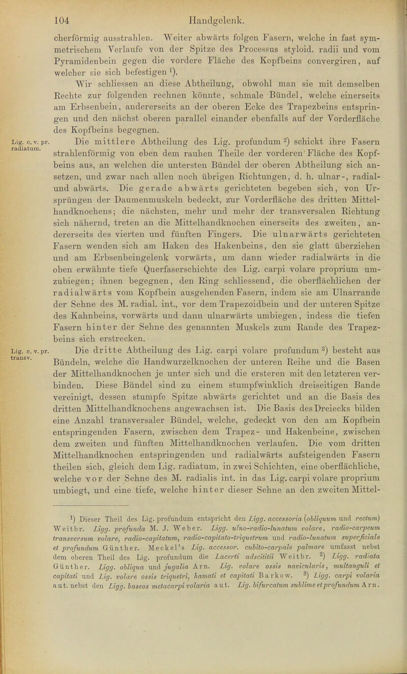 cherformig ausstrahlen. Weiter abwiirts folgen Fasern, welche in fast sym- metrischeni Verlaufe von der Spitze des Processus styloid, radii und voni Pyramidenbein gegen die vordere Flacbe des Kopfbeins convergiren, auf welcber sie sicb befestigen 1). Wir scbliessen an diese Abtbeilnng, obwobl man sie mit demselben Recbte zur folgenden rechnen konnte, scbmale Biindel, welcbe einerseits am Erbsenbein, andererseits an der oberen Ecke des Trapezbeins entsprin- gen und den niichst oberen parallel einander ebenfalls auf der Vorderflache des Kopfbeins begegnen. Lig. cv. pr. Die mittlere Abtbeilung des Lig. profundum 2) scbickt ihre Fasern strablenformig von eben dem rauben Tbeile der vorderen'Flacbe des Kopf- beins aus, an welcben die untersten Biindel der oberen Abtbeilung sicb an- setzen, und zwar nacb alien noch iibrigen Richtungen, d. h. ulnar-, radial- und abwarts. Die gerade abwiirts gericbteten begeben sicb, von Ur- spriingen der Daumenmuskeln bedeckt, zur Vorderflache des dritten Mittel- bandknocbens; die nachsten, mebr und mebr der transversalen Ricbtung sich nahernd, treten an die Mittelbandknocben einerseits des zweiten, an- dererseits des vierten und fiinften Fingers. Die ulnarwarts gericbteten Fasern wenden sicb am Haken des Hakenbeins, den sie glatt iiberziehen und am Erbsenbeingelenk vorwarts, um dann wieder radialwarts in die oben erwabnte tiefe Querfaserscbicbte des Lig. carpi volare proprium um- zubiegen; ibnen begegnen, den Ring scbliessend, die oberflacblichen der radialwarts vom Kopfbein ausgebenden Fasern, indem sie am Ulnarrande der Sehne des M. radial, int., vor dem Trapezoidbein und der unteren Spitze des Kabnbeins, vorwarts und dann ulnarwiirts umbiegen, indess die tiefen Fasern binter der Sebne des genannten Muskels zum Rande des Trapez- beins sicb erstrecken. Lig. c.v.pr. Die dritte Abtbeilung des Lig. carpi volare profundum3) bestebt aus Biindeln, welcbe die Handwurzelknocben der unteren Reibe und die Basen der Mittelbandknocben je unter sicb und die ersteren mit den letzteren ver- binden. Diese Biindel sind zu einem stumpfwinklicb dreiseitigen Bande vereinigt, dessen stumpfe Spitze abwarts gericbtet und an die Basis des dritten Mittelbandknocbens angewacbsen ist. Die Basis des Dreiecks bilden eine Anzabl transversaler Biindel, welche, gedeckt von den am Kopfbein entspringenden Fasern, zwiscben dem Trapez- und Hakenbeine, zwiscben dem zweiten und fiinften Mittelbandknocben verlaufen. Die vom dritten Mittelbandknocben entspringenden und radialwarts aufsteigenden Fasern tbeilen sicb, gleicb dem Lig. radiatum, in zwei Scbicbten, eine oberflacbliche, welcbe vor der Sebne des M. radialis int. in das Lig. carpi volare proprium umbiegt, und eine tiefe, welche hinter dieser Sehne an den zweitenMittel- x) Dieser Theil des Lig. profundum entspricht den Ligg. accessoria {obllquum und rectum) Weitbr. Ligg. profunda M. J. Weber. Ligg. ulno-radio-lunalum volare, radio-carpeum transversum volare, radio-capitalum, radio-capitato-triquetrum und radio-lunatum superficiale et profundum Giinther. Meckel's Lig. accessor, cubito-carpale palmare umf'asst nebst dem oberen Theil des Lig. profundum die Lacerti adscititii Weitbr. 2) Ligg. radiata Giinther. Ligg. obliqua und jvgalia Am. Lig. volare ossis navicularis, multanguli cl. capitati und Lig. volare ossis triquetri, liamati et capitati Barkow. 3) Ligg. carpi volaria a ut. nebst den Ligg. baseos melacarpi volaria aut. Lig. bifurcatum sublime et profundum Am.