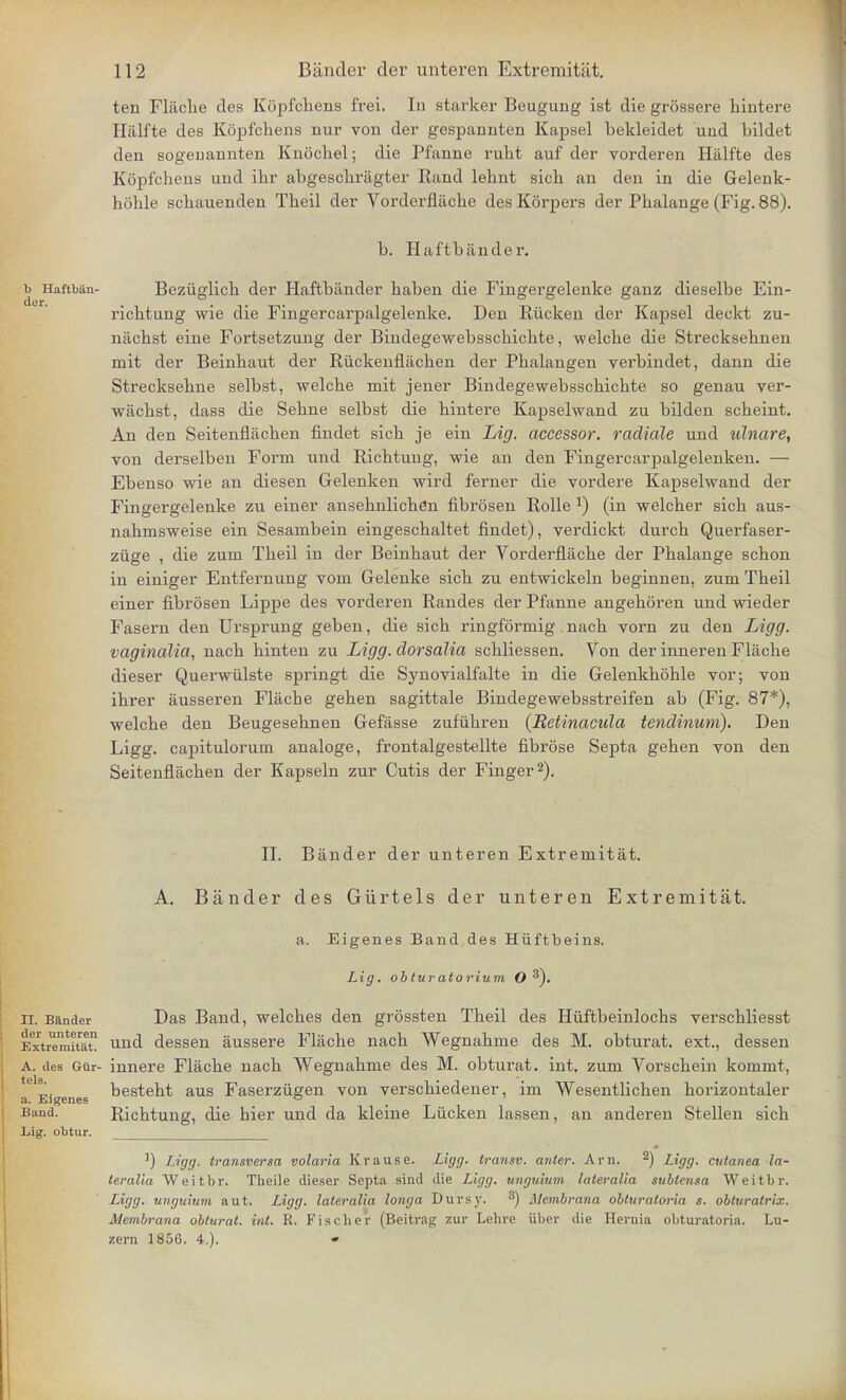ten Flache des Kopfchens frei. In Btarker Beugung ist die grossere hintere Hiilfte des Kopfchens nur von der gespannten Kapsel bekleidet und bildet den sogenannten Knockel; die Pfanne ruht auf der vorderen Halfte des Kopfchens und ihr abgeschragter Rand lehnt sich an den in die Gelenk- hohle schauenden Theil der Vorderflache des Korpers der Phalange (Fig. 88). b. Haftbiinder. b Haftban- Beziiglich der Haftbander haben die Fingergelenke ganz dieselbe Ein- richtung wie die Fingercarpalgelenke. Den Rucken der Kapsel deckt zu- nachst eine Fortsetzung der Bindegewebsschichte, -welche die Strecksehnen mit der Beinhaut der Riickenflachen der Phalangen verbindet, dann die Strecksehne selbst, welche mit jener Bindegewebsschichte so genau ver- wachst, dass die Sehne selbst die hintere Kapselwand zu bilden scheint. An den Seitenflachen findet sich je ein Lig. accessor, radialc und ulnare, yon derselben Form und Richtung, wie an den Fingercarpalgelenken. — Ebenso wie an diesen Gelenken wird ferner die vordere Kapselwand der Fingergelenke zu einer ansehnlichen fibrosen Rolle J) (in welcher sich aus- nahmsweise ein Sesambein eingeschaltet findet), verdickt durch Querfaser- ziige , die zum Theil in der Beinhaut der Vorderflache der Phalange schon in einiger Entfernung vom Gelenke sich zu entwickeln beginnen, zum Theil einer fibrosen Lippe des vorderen Randes der Pfanne angehoren und wieder Fasern den Ursprung geben, die sich ringformig nach vorn zu den Ligg. vaginalici, nach hinten zu Ligg. dorsalia schliessen. Von der inneren Flache dieser Querwiilste springt die Synovialfalte in die Gelenkhohle vor; von ihrer ausseren Flache gehen sagittale Bindegewebsstreifen ab (Fig. 87*), welche den Beugesehnen Gefasse zufiihren (Retinacula tendinum). Den Ligg. capitulorum analoge, frontalgestellte fibrose Septa gehen von den Seitenflachen der Kapseln zur Cutis der Finger2). II. Bander der unteren Extremitat. A. Bander des Giirtels der unteren Extremitat. a. Eigenes Band des Hiiftbeins. Lig. obturatorium O 3). ii. Bunder Das Band, welches den grossten Theil des Hiiftbeinlochs verschliesst Extremitat! ulld dessen aussere Flache nach Wegnahme des M. obturat. ext., dessen a. des Gtir- innere Flache nach Wegnahme des M. obturat. int. zum Vorschein komnit, e™. besteht aus Faserzii^en von verschiedener, im Wesentlichen horizontaler a. Eigenes ° Band. Richtung, die hier und da kleine Liicken lassen, an anderen Stellen sich l<ig. obtur. ]) Ligg. transversa volaria Krause. Ligg. transv. anter. Am. 2) Ligg. cutanea la- teralia Weitbr. Theile dieser Septa sind die Ligg. unguium lateralia subtensa Weitbr. Ligg. unguium aut. Ligg. lateralia longa Dursy. s) Membrana obturatoria s. obturatri.r. Membrana obturat. int. R. Fischer (Beitvag zur Lelire iiber die Hernia obturatoria. Lu- zern 1856. 4.).