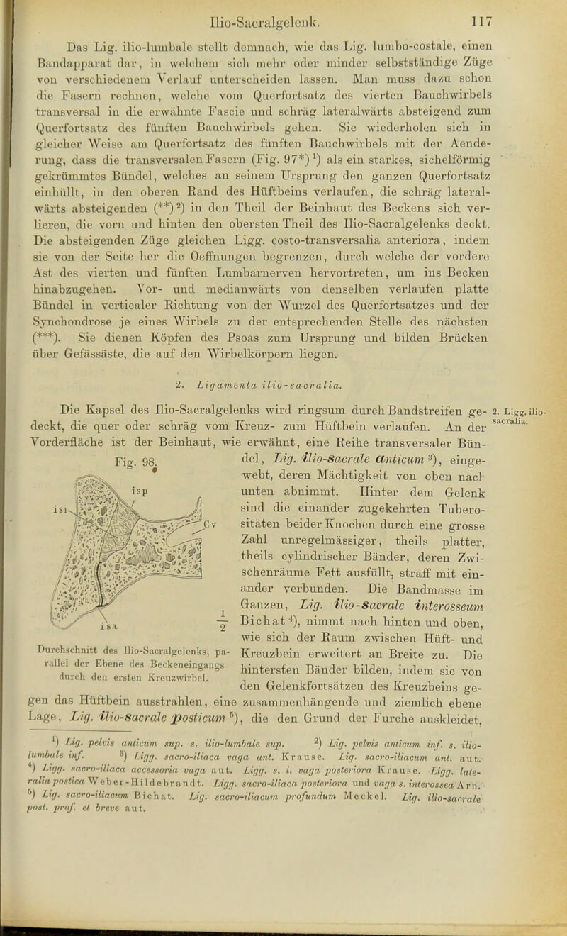 Das Lig. ilio-lumbale stellt demnacli, wie das Lig. lumbo-costale, einen Bandapparat dar, in welchem sick mehr oder minder selbststiindige Ziige von verschiedenem Verlauf unterscheiden lassen. Man muss dazu schon die Fasern rechnen, welcke voin Querfortsatz des vierten Bauchwirbels transversal ia die erwiihnte Fascie und schriig lateralwarts absteigend zum Querfortsatz des fiinften Baucbwirbels gehen. Sie wiederbolen sich in gleicber Weise am Querfortsatz des fiinften Baucbwirbels mit der Aende- ruug, dass die transversalen Fasern (Fig. 97*)') als ein starkes, sicbelformig gekriimmtes Biindel, welcbes an seinem Ursprung den ganzen Querfortsatz einhullt, in den oberen Rand des Hiiftbeins verlaufen, die scbrag lateral- wiirts absteigenden (**)2) in den Theil der Beinbaut des Beckens sicb ver- lieren, die vorn und binten den obersten Theil des Ilio-Sacralgelenks deckt. Die absteigenden Ziige gleicben Ligg. costo-transversalia anteriora, indem sie von der Seite ber die Oeffnungen begrenzen, durcb welcbe der vordere Ast des vierten und fiinften Lumbarnerven bervortreten, um ins Becken hinabzugeben. Yor- und medianwarts von denselben verlaufen platte Biindel in verticaler Ricbtung von der Wurzel des Querfortsatzes und der Syncbondrose je eines Wirbels zu der entsprecbenden Stelle des nacbsten (***). Sie dienen Kbpfen des Psoas zum Ursprung und bilden Briicken fiber Gefassiiste, die auf den Wirbelkorpern liegen. 2. Lig amenta ilio-sacralia. Die Kapsel des Ilio-Sacralgelenks wird ringsum durcb Bandstreifen ge- 2. Ligg. Mo deckt, die quer oder scbrag vom Kreuz- zum Hiiftbein verlaufen. An der sacraha- Vorderflache ist der Beinbaut, wie erwabnt, eine Reibe transversaler Biin- del , Lig. ilio-Sacrale anticum 3), einge- webt, deren Macbtigkeit von oben nacl- unten abnimmt. Hinter dem Gelenk sind die einander zugekehrten Tubero- sitaten beider Knocben durch eine grosse Zabl unregelmassiger, tbeils platter, tbeils cylindriscber Bander, deren Zwi- scbenraume Fett ausfiillt, straff mit ein- ander verbunden. Die Bandmasse im Ganzen, Lig. ilio-Sacrale interosseum Bichat4), nimmt nacb binten und oben, wie sicb der Rauin zwischen Hiift- und Kreuzbein erweitert an Breite zu. Die hintersfen Bander bilden, indem sie von den Gelenkfortsatzen des Kreuzbeins ge- gen das Hiiftbein ausstrahlen, eine zusammenbangende und ziemlicb ebene Lage, Lig. ilio-Sacrale posticum b), die den Grund der Furche auskleidet, 1) Lig. pelvis anticum sup. s. ilio-lumbale sup. 2) Lig. pelvis anticum inf. s. ilio- lumbale inf. 3) Ligg. sacro-iliaca vaga ant. Krause. Lig. sacro-iliacum ant. nut. ) Ligg. sacro-iliaca accessoria vaga ant. Ligg. s. i. vaga posteriora Krause. Ligg. lale- ralia poslica Weber-Hildebrandt. Ligg. sacro-iliaca posteriora und vaga s. inlerossea Am. 6) Lig. sacro-iliacum Bichat. lag. sacro-iliacum profundum Meckel. Lig. ilio-sacrale post. prof, el breve aut. Fig. 9& Durchschnitt des Ilio-Sacralgelenks, pa- rallel der Ebene des Beckeneingangs durcli den ersten Kreuzwirbel.
