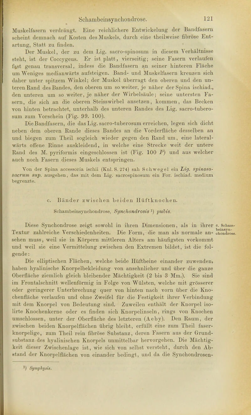 Muskelfaseru verdrangt. Eine reichlichere Entwickelung der Bandfasern sckeint deinnack auf Kosten desMuskels, diirch eine tbeilweise fibrose Ent- artung, Statt zu finden. Der Muskel, der zu dein Lig. sacro-spinosuin in diesem Verbaltnisse stebt, ist der Coccygeus. Er ist platt, vierseitig; seine Fasern verlaufen fajst genau transversal, indess die Bandfasern an seiner kinteren Flacke urn Weniges medianwarts auisteigen. Band- und Muskelfasern kreuzen sich daker nnter spitzem Winkel; der Muskel iiberragt den oberen und den un- teren Rand des Bandes, den oberen uni so weiter, je naker der Spina isckiad., den unteren um so weiter, je naker der Wirbelsaule; seine untersten Fa- sern, die sick an die oberen Steisswirbel ansetzen, kommen, das Becken von kinten betracktet, unterkalb des unteren Randes des Lig. sacro-tubero- sum zum Vorsckein (Fig. 99. 100). Die Bandfasern, die das Lig. sacro-tuberosum erreicben, legen sick dickt neben deni oberen Rande dieses Bandes an die Vorderflacbe desselben an und biegen zum Tbeil sogleick wieder gegen den Rand uni, eine lateral- warts offene Rinne auskleidend, in welcbe eine Strecke weit der untere Rand des M. pyriformis eingescklossen ist (Fig. 100 P) und aus welcker aucb noch Fasern dieses Muskels entspringen. Von der Spina accessoria ischii (Knl. S. 274) sail Schwegel ein Lig. spinoso- Sacrum sup. ausgehen, das mit dem Lig. sacrospinosum ein For. iscliiad. medium begrenzte. c. Bander zwiscken beiden Hiiftknocken. Sckambeinsynchondrose, Synchondrosis l) pubis. Diese Synckondrose zeigt sowobl in ibren Dimensionen, als in ibrer c. Scham- Textur zaklreicbe Verscbiedenbeiten. Die Form, die man als normale an- ohondrose. seken muss, weil sie in Korpern mittleren Alters am kaufigsten vorkommt und weil sie eine Vermittelung zwiscken den Extremen bildet, ist die fol- gende: Die elliptiscken Flacken, welcke beide Hiiftbeine einander zuwenden, kaben hyaliniscke Knorpelbekleidung von ansebnlicber und iiber die ganze Oberflache ziemlick gleick bleibender Macktigkeit (2 bis 3 Mm.). Sie sind im Frontalscbnitt wellenformig in Folge von Wiilsten, welche mit grosserer oder geringerer Unterbrecbung quer von kinten nack vorn iiber die Kno- ckenflacbe verlaufen und okne Zweifel fur die Festigkeit ikrer Verbindung mit dem Knorpel von Bedeutung sind. Zuweilen entkiilt der Knorpel iso- lirte Knocbenkerne oder es finden sick Knorpelinseln, rings von Knocben umscblossen, unter der Oberflacke des letzteren (Aeby). Den Raum, der zwiscben beiden Knorpelfliichen iibrig bleibt, erfiillt eine zum Tbeil faser- knorpelige, zum Tkeil rein fibrose Substanz, deren Fasern aus der Grund- substanz des hyalinischen Knorpels unmittelbar bervorgeken. Die Miicktig- keit dieser Zwischenlage ist, wie sick von selbst verstebt, durck den Ab- *t;ni(l der Knorpclflacben von einander bedingt, und da die Synchondrosen- ) Symphysis.