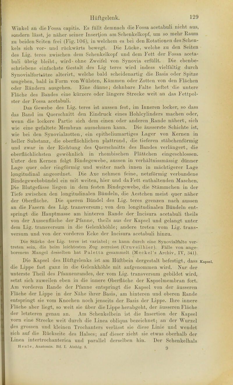 Winkel an die Fossa capitis. Es fiillt demnach die Fossa acetabuli nicht aus, sondern l&sst, je naher seiner Insertion am Schenkelkopf, um so melir Raum zu beiden Seiten frei (Fig.106), inwelohem es be'i den Rotatiouen des Schen- kels sich vor- unci riickwarta bewegt. Die Liicke, welche zu den Seiten des Lig. teres zwiBchen dem Schenkelkopf und dem Fett der Fossa aceta- buli iibrig bleibt, wird ohne Zweifel von Synovia erf'iillt. Die ebenbe- Bchriebene einfachste Gestalt des Lig teres wird indess vielfaltig durcb Synovialfortsatze alterirt, welche bald scheidenartig die Basis oder Spitze umgeben, bald in Form von Wulsten, Kammen oder Zotten von den Fliichen odor Randern ausgehen. Fine dunne,' dehnbare Falte heftet die untere Fliiche des Bandes eine kiirzere oder liingere Strecke weit an das Fettpol- ster der Fossa acetabuli. Das Gewebe des Lig. teres ist aussen fest, im Inneren locker, so dass das Band im Querschnitt den Eindruck eines Ilohlcylinders machen oder, wenn die lockere Partie sich dem einen oder anderen Rande niihert, sich wie eine gefaltete Membran ausnehnien kann. Die iiusserste Schichte ist, wie bei den Synovialzotten, ein epitheliumartiges Lager von Kernen in heller Substanz, die oberfliichlichen plattrund, die tieferen stabchenformig und zwar in der Richtung des Querschnitts des Bandes verlangert, die oberflachlichsten gewohnlich in rhombischen Pltittchen eingeschlossen. Unter den Kernen folgt Bindegewebe, aussen in verhaltnissmassig diinner Lage quer. oder ringformig und weiter nach innen in milchtigerer Lage longitudinal angeordnet. Die Axe nehmen feine, netzformig verbundene Bindegewebsbiindel ein mit weiten, hier und da Fett enthaltenden Maschen. Die Blutgefasse liegen in dem festen Bindegewebe, die Stiimmchen in der Tiefe zwischen den longitudinalen Biindeln, die Aestchen meist quer naher der Oberflitche. Die queren Biindel des Lig. teres grenzen nach aussen an die Fasern des Lig. transversum; von den longitudinalen Biindeln eut- springt die Hauptmasse am hintereu Rande der Incisura acetabuli theils von der Aussenfiache der Pfanne, theils aus der Kapsel und gelangt unter dem Lig. transversum in die Gelenkhohle; andere treten vom Lig. trans- vi rsum und von der vorderen Ecke der Incisura acetabuli hinzu. Die Starke des Ligv. teres ist variabel; es kann durch eine SynovialMte ver- treten sein, die beim leichtesten Zug zerreisst (Cruveilhier). Falle von ange- borenem Mangel desselben hat Paletta gesamnielt (Meckel's Arcbiv, IV, 341). Die Kapsel des Hiiftgelenks ist am Huftbein dergestalt befestigt, dass Kapsel. die Lippe fast ganz in die Gelenkhohle mit aufgenommen wird. Nur der unterste Theil des Pfannenrandes, der vom Lig. transversum gebildet wird, setzt sich zuweilen eben in die innere Oberfliiche der Kapselmembran fort. Am vorderen Rande der Pfanne entspringt die Kapsel von der ausseren Fliiche der Lippe in der Niihe ihrer Basis, am hinteren und oberen Rande entspringt sie vom Knochen noch jenseils der Basis der Lippe. Pare innere Fl&che aber Liegt, so weit sie iiber die Lippe herabgeht, der ausseren Fliiche der letzteren genau an. Am Schenkelbein ist die Insertion der K;ipsel vorn eine Strecke weit, dnrch die Finea ol)li(|ua, bezeielmet; an der Wurzel des grossen und kleinen Trochanters verliisst sie diese Linie und wendet Rich auf die Ruckseite des liaises; auf dieser zieht sie etwas oberhalb der Linea intertrochanterica und parallel derselben hin. Der Schenkelhals Henlc, Anatnmio. Bd. I. AhtlilK- 2. n