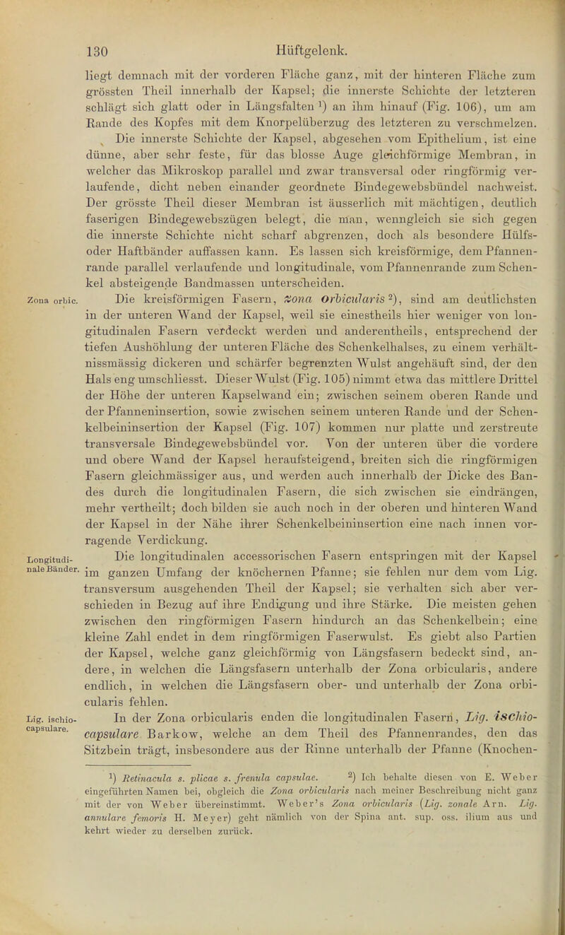 liegt demnach mit der vorderen Fliiche ganz, mit der hinteren Fliiche zum grossten Theil innerhalb der Kapsel; die innerste Schichte der letzteren schliigt sich glatt oder in Liingsfalten ]) an ihm hinauf (Fig. 106), urn am Rande des Kopfes mit dem Knorpeluberzug des letzteren zu verschmelzen. Die innerste Schichte der Kapsel, abgesehen vom Epithelium, ist eine diinne, aber sebr feste, fur das blosse Auge gleichformige Membran, in welcber das Mikroskop parallel und zwar transversal oder ringfdrmig ver- laufende, dicht neben einander geordnete Bindegewebsbiindel nachweist. Der grosste Theil dieser Membran ist ausserlich mit machtigen, deutlich faserigen Bindegewebsziigen belegt, die man, wenngleich sie sich gegen die innerste Schichte nicht scharf abgrenzen, doch als besondere Hulfs- oder Haftbander auffassen kann. Es lassen sich kreisformige, dem Pfannen- rande parallel verlaufende und longitudinale, vom Pfannenrande zum Schen- kel absteigende Bandmassen unterscheiden. Zona orbic. Die kreisforniigen Fasern, Zona Orbicularis 2), sind am deutlichsten in der unteren Wand der Kapsel, weil sie einestheils hier weniger von lon- gitudinalen Fasern verdeckt werden und anderentheils, entsprechend der tiefen Aushohlung der unteren Flache des Schenkelhalses, zu einem verhalt- nissmassig dickeren und scharfer begrenzten Wulst angehauft sind, der den Hals eng umschliesst. Dieser Wulst (Fig. 105) nimmt etwa das mittlere Drittel der Hohe der unteren Kapselwand ein; zwischen seinem oberen Rande und der Pfanneninsertion, sowie zwischen seinem unteren Rande und der Schen- kelbeininsertion der Kapsel (Fig. 107) kommen nur platte und zerstreute transversale Bindegewebsbiindel vor. Von der unteren uber die vordere und obere Wand der Kapsel heraufsteigend, breiten sich die ringformigen Fasern gleichmassiger aus, und werden auch irmerhalb der Dicke des Ban- des durch die longitudinalen Fasern, die sich zwischen sie eindriingen, mehr vertheilt; doch bilden sie auch noch in der oberen und hinteren Wand der Kapsel in der Nahe ihrer Schenkelbeininsertion eine nach innen vor- ragende Verdickung. Longitudi- Die longitudinalen accessorischen Fasern entspringen mit der Kapsel naieBander. -m ganzeu Umfang der knocheimen Pfanne; sie fehlen nur dem vom Lig. transversum ausgehenden Theil der Kapsel; sie verhalten sich aber ver- schieden in Bezug auf ihre Endigung und ihre Starke. Die meisten gehen zwischen den ringformigen Fasern hindurch an das Schenkelbein; eine kleine Zahl endet in dem ringformigen Faserwulst. Es giebt also Partien der Kapsel, welche ganz gleichformig von Liingsfasern bedeckt sind, an- dere, in welchen die Langsfasern unterhalb der Zona orbicularis, andere endlich, in welchen die Langsfasern ober- und unterhalb der Zona orbi- cularis fehlen. Lig. isciuo- In der Zona orbicularis enden die longitudinalen Faserri, Lig. ischio- capsuiare. capsularc Barkow, welche an dem Theil des Pfannenrandes, den das Sitzbein triigt, insbesondere aus der Rinne unterhalb der Pfanne (Knochen- :) Retinacula s. plicae s. frenula capsulae. 2) Icli behalte dioscn von E. Weber eingefiihrten Namen bei, obgleicb die Zona orbicularis nach meiner Beschreibung nicht ganz mit der von Weber iibereinstimmt. Weber's Zona orbicularis (Li;/, zonale Am. Lig. annulare femoris H. Meyer) geht namlich von der Spina ant. sup. oss. ilium aus und kehrt wieder zu derselbon zuriick.