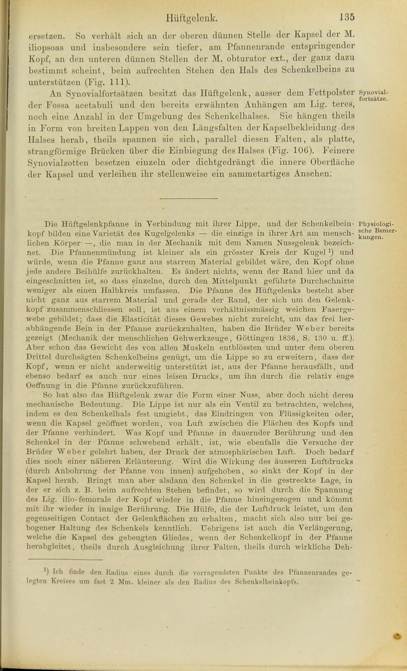 ersetzen. So verhali sich an der oberen dunnen Stelle der Kapsel der M. iliopsoas and insbesondere scin defer, am Pfannenrande entspringender Kopf, an den unteren dunnen Stellen der M. obturator ext., der ganz dazu bestimmt Bcbeint, beim aufrechten Steben den Hals des Scbenkelbeins zu unterstiitzen (Fig. 111). An Synovialforts&tzen besitzt das Hiiftgelenk, ausser dern Fettpolster Synovial- der Fossa acetabull und den bereits erwiibnten Anhiingen arn Lig. teres, uocb eine Anzabl in der Umgebuug des Scbenkelbalses. Sie bangen tbeils in Form von breiten Lappen von den Liingsfalten der Kapselbekleidung des liaises herab, tbeils spanneu sie sicb, parallel diesen Falten, als platte, strangformige Briicken iiber die Einbiegung des Halses (Fig. 106). Feiirere Synovialzotten besetzen einzeln oder dicbtgedrangt die innere Oberflacbe der Eapsel und verleiben ibr stellenweise ein sammetartiges Anseben. Die Huftgelenkpfanne in Verbindung mifc ihrer Lippe, unci der Schenkelbein- Physiologi- kopf bilden eine Varietat des Kugelgelenks — die einzige in ihrer Art arn mensch- ^Jfg^™61 lichen Korper —, die man in der Mechanik mit dem Namen Nussgelenk bezeich- net. Die Pfannenmiindung ist kleiner als ein grosster Kreis der Kngel:) und wiirde, wenn die Pfanne ganz aus starreui Material gebildet ware, den Kopf ohue jede andere Beihiilfe zuriickbalten. Es andert nichts, wenn der Band bier und da eingescbnitten ist, so dass einzelne, durch den Mittelpunkt gefiibrte Durchscbnitte weniger als einen Halbkreis umfassen. Die Pfanne des Hiiftgelenks bestebt aber nioht ganz aus starrem Material und gerade der Eand, der sicb um den Gelenk- kopf zusammenscbliessen soli, ist aus einem verhaltnissmassig weicben Faserge- webe gebildet; dass die Elasticitat dieses Gewebes nicbt zureicht, um das frei her- abhiingende Bein in der Pfanne zuriiokzubalten, baben die Briider Weber bereits gezeigt (Mecbanik der menscblicben Gebwerkzeuge, Gottingen 1836, S. 130 u. ff.). Aber scbon das Gewicht des von alien Muskeln entblossten und unter dem oberen Drittel durcbsiigten Scbenkelbeins geniigt, um die Lippe so zu erweitern, dass der Kopf, wenn er nicbt anderweitig unterstiitzt ist, aus der Pfanne berausfallt, und ebenso bedarf es auch nur eines leisen Drucks, um ihn durch die relativ enge Oeffhuug in die Pfanne zuriickzufiihren. So hat also das Hiiftgelenk zwar die Form einer Nuss, aber doch nicht deren mechanische Bedeutung. Die Lippe ist nur als ein Ventil zu betrachten, welches, indem es den Schenkelhals fest umgiebt, das Eindringen von Eliissigkeiten oder, wenn die Kapsel geoffnet word en, von Luft zwiscben die Flacben des Kopfs \m& der Pfanne verhindert. Was Kopf und Pfanne in dauernder Beriihrung und den Scbenkel in der Pfanne scbwebend erhalt, ist, wie ebenfaUs die Versuche der Briider Weber gelehrt baben, der Druck der atmospharischen Luft. Doch bedarf dies noch einer naheren Erlauterung. Wird die Wirkung des ausseren Luftdrucks (durch Anbohrung der Pfanne von innen) aufgehoben, so sinkt der Kopf in der Kapsel herab. Bringt man aber alsdann den Scbenkel in die gestreckte Lage, in der er sich z. B. beim aufrechten Stehen befindet, so wird durch die Spannuug des Lig. ilio-femorale der Kopf wieder in die Pfanne hineingezogen und kommt mit ihr wieder in innige Beriihrung. Die Hi'tlfe, die der Luftdruck leistet, um den gegenseitigen Contact der Ge.lenkflachen zu erhalten, macht sich also nur bei ge- bogener flaltung des Schenkels kenntlich. Uebrigens ist auoh die Verliingerung, welche die Kapsel des gebeugten Gliedes, wenn der Schenkelkopf in der Pfanne herabgleitet, theils durch Ausgleichung ihrer Falten, tbeils durch wirkliche Deh- J) loh findc den Kndius eines durch die vornigendsten Punkte des Pfannenrande? ge- legten Kreises um fast 2 Mm. kleiner als den Radius des Schenkclbeinkopl's. *