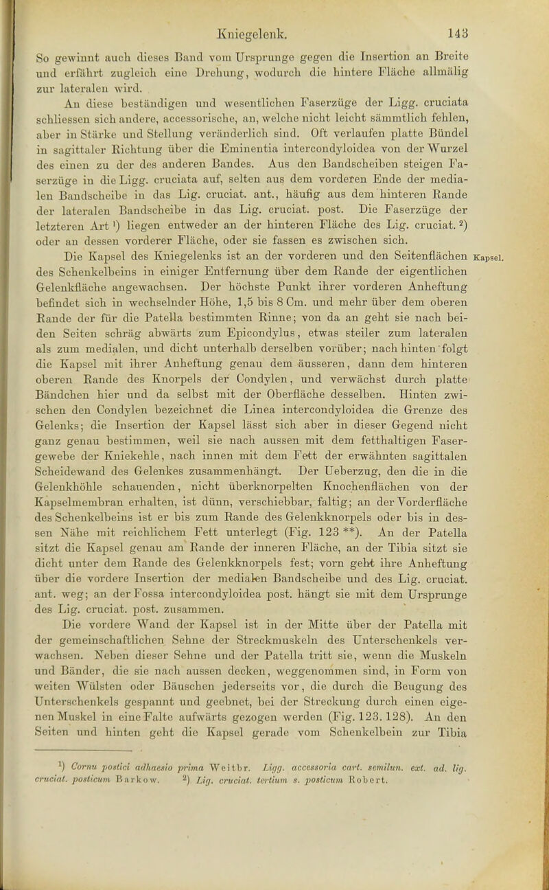 So gewinnt auch dieses Band vom Ursprunge gegen die Insertion an Breite und erf&hrt zugleich eine Drehung, wodurch die bintere Fliiche allmiilig zur lateralen vrird. An diese bestiindigen und wesentlichen Faserziige der Ligg. cruciata schliessen sicb andere, accessorische, an, welche nicht leicht samnitlich feklen, aber in Starke und Stellung veranderlich Bind. Oft verlaufen platte Biindel in sagittaler Riehtung iiber die Eminentia intercondyloidea von derWurzel des einen zu der des anderen Bandes. Aus den Bandscheiben steigen Fa- serziige in die Ligg. cruciata auf, selten aus dem vorderen Ende der media- len Bandscbeibe in das Lig. cruciat. ant., baufig aus dem binteren Rande der lateralen Bandscbeibe in das Lig. cruciat. post. Die Faserziige der letzteren Art ') liegen entweder an der binteren Fliiche des Lig. cruciat.2) oder an dessen vorderer Fliicbe, oder sie fassen es zwiscben sicb. Die Kapsel des Kniegelenks ist an der vorderen und den Seitenflacben Kapsel. des Scbenkelbeins in einiger Entfernung iiber dem Rande der eigentlicben Gelenkfiache angewacbsen. Der hochste Punkt ikrer vorderen Anbeftung befindet sicb in wecbselnder Hobe, 1,5 bis 8 Cm. und mebr iiber dem oberen Rande der fur die Patella bestimmten Rinne; von da an gebt sie nacb bei- den Seiten scbriig abwarts zum Epicondylus, etwas steiler zum lateralen als zum medialen, und dicbt unterbalb derselben voriiber; nacb binten' folgt die Kapsel mit ibrer Anbeftung genau dem ausseren, dann dem binteren oberen Rande des Knorpels der Condylen, und verwachst durcb platte Bandcben bier und da selbst mit der Oberflacbe desselben. Hinten zwi- scben den Condylen bezeicbnet die Linea intercondyloidea die Grenze des Gelenks; die Insertion der Kapsel lasst sicb aber in dieser Gegend nicbt ganz genau bestimmen, weil sie nacb aussen mit dem fettbaltigen Faser- gewebe der Kniekehle, nacb innen mit dem Feit der erwabnten sagittalen Scbeidewand des Gelenkes zusammenkangt. Der Ueberzug, den die in die Gelenkhohle scbauenden, nicbt iiberknorpelten Knochenflachen von der Kapselmembran erbalten, ist diinn, verscbiebbar, faltig; an der Vorderflacbe des Scbenkelbeins ist er bis zum Rande des Gelenkknorpels oder bis in des- sen Niihe mit reicblicbem Fett unterlegt (Fig. 123 **). An der Patella sitzt die Kapsel genau am Rande der inneren Flacbe, an der Tibia sitzt sie dicbt unter dem Rande des Gelenkknorpels fest; vorn gebt ibre Anbeftung iiber die vordere Insertion der medialen Bandscbeibe und des Lig. cruciat. ant. weg; an der Fossa intercondyloidea post, btingt sie mit dem Ursprunge des Lig. cruciat. post, zusammen. Die vordere Wand der Kapsel ist in der Mitte iiber der Patella mit der gemeinscbaftlichen Sebne der Streckmuskeln des Unterscbenkels ver- wachsen. Neben dieser Sebne und der Patella tritt sie, wenn die Muskeln und Bander, die sie nacb aussen decken, weggenommen sind, in Form von weiten Wiilsten oder Bauschen jederseits vor, die durcb die Beugung des Unterschenkels gespannt und geebnet, bei der Streckung durcb einen eige- nenMuskel in eineFaltc aufwiirts gezogen werden (Fig. 123. 128). An den Seiten und hinten gebt die Kapsel gerade vom Scbenkelbein zur Tibia l) Cornu postici adhacsio prima Weitbr. Ligg. acccssoria cart, temilun. ext. ad. lig. crucial, posticum Barkow. 2) Lig. crucial, tertium s. posticnm Robert.