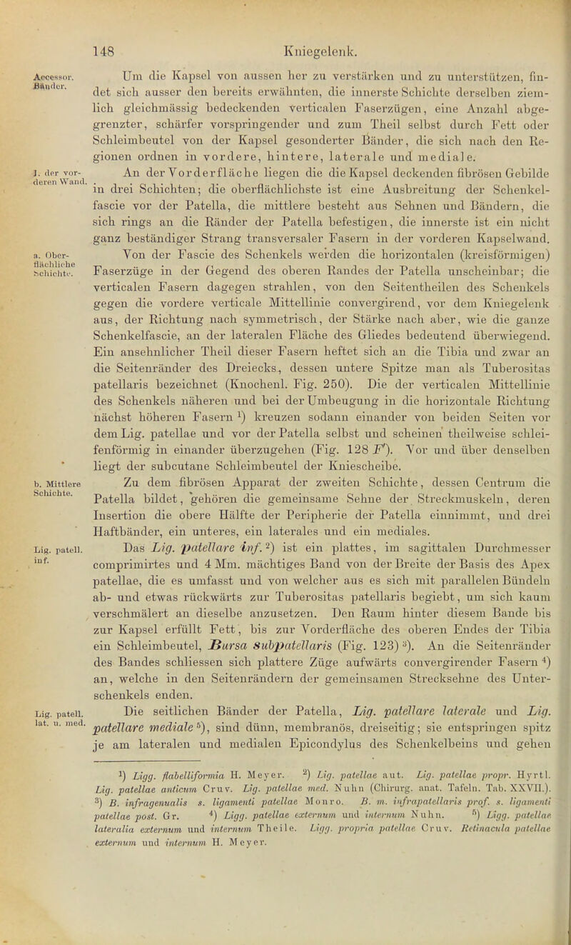 Accessor. Binder. |; der vor- deren Wand, a. Uber- flaohliehe bchiehtf. b. Mittlere Schichte. Lig. patc-11. inf. Lig. patell. lat. u. med. Urn die Kapsel von aussen her zu verstarken und zu unterstiitzen, fin- det sich ausser den bereits erwahnten, die innerste Schichte derselben ziem- lich gleichrniissig bedeckenden verticalen Faserziigen, eine Anzahl abge- grenzter, schiirfer vorspringender und zum Theil selbst durch Fett oder Schleimbeutel von der Kapsel gesonderter Bander, die sich nach den Re- gionen ordnen in vordere, bintere, laterale und media] e. An der Vorderfliicbe liegen die die Kapsel deckenden fibrosen Gebilde in drei Scbicbten; die oberfkichlichste ist eine Ausbreitung der Schenkel- fascie vor der Patella, die mittlere bestebt aus Sebnen und Bandern, die sicb rings an die Rander der Patella befestigen, die innerste ist ein nichl ganz bestandiger Strang transversaler Fasern in der vorderen Kapselwand. Von der Fascie des Scbenkels werden die borizontalen (kreisfSrmigen) Faserziige in der Gegend des oberen Randes der Patella unscheinbar; die verticalen Fasern dagegen strablen, von den Seitentbeilen des Scbenkels gegen die vordere verticale Mittellinie convergirend, vor dem Kniegelenk aus, der Richtung nacb symmetrisch, der Starke nach aber, wie die gauze Schenkelfascie, an der lateralen Flache des Gliedes bedeutend uberwiegend. Ein ansehnlicher Theil dieser Fasern heftet sich an die Tibia und zwar an die Seitenrander des Dreiecks, dessen untere Spitze man als Tuberositas patellaris bezeicbnet (Knochenl. Fig. 250). Die der verticalen Mittellinie des Schenkels naheren und bei derUmbeugung in die horizontale Richtung niichst hoheren Fasern x) kreuzen sodann einander von beiden Seiten vor dem Lig. patellae und vor der Patella selbst und scheinen theilweise schlei- fenformig in einander iiberzugehen (Fig. 128 F'). Yor und iiber denselben liegt der subcutane Schleimbeutel der Kniescheibe. Zu dem fibrosen Apparat der zweiten Schichte, dessen Centrum die Patella bildet, gehoren die gemeinsame Sehne der Streckmuskeln, deren Insertion die obere Halfte der Peri2iherie der Patella einnimmt, und drei Haftbander, ein unteres, ein laterales und ein mediales. Das Lig. patellare %vf. 2) ist ein plattes, im sagittalen Durchmesser comprimirtes und 4 Mm. machtiges Band von der Breite der Basis des Apex patellae, die es umfasst und von welcher aus es sich mit parallelen Biindeln ab- und etwas ruckwarts znr Tiiberositas patellaris begiebt, um sich kaum verschmalert an dieselbe anzusetzen. Den Raum hinter diesem Bande bis zur Kapsel erfullt Fett , bis zur Vorderflache des oberen Endes der Tibia ein Schleimbeutel, JBursa Subpatettaris (Fig. 123) B). An die Seitenrander des Bandes schliessen sich plattere Ziige aufwarts convergirender Fasern 4) an, welche in den Seitenrandern der gemeinsamen Strecksehne des Unter- schenkels enden. Die seitlichen Bander der Patella, Lig. patellare laterale und Lig. patellare mediate 5), sind dtinn, membranos, dreiseitig; sie entspringen spitz je am lateralen und medialen Epicondylus des Schenkelbeins uud gehen J) Ligg. flabelliformia H. Meyer. 2) Lig. patellae aut. Lig. patellae propr. Hyrtl. Lig. patellae anticum Cruv. Lig. patellae me.d. Nuhn (Ghirurg. anat. Tafeln. Tab. XW'II ). 3) B. infragenualis s. ligamenti patellae Monro. B. m. infra patellaris prof. s. ligament! patellae post. Gr. 4) Ligg. patellae externum und internum Nuhn. fi) Ligg. patellae, lateralia externum und internum Theile. Ligg. propria patellae Cruv. Retinacula patellae externum und internum H. Meyer.