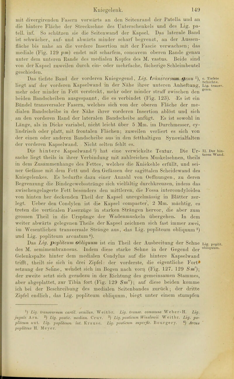 niit divergirenden Fasera vorwarts an den Seitenrancl der Patella und an die hintere Flache der Strecksehne des Unterschenkels und des Lig. pa- tell, inf. So selnitzen sic die Seitenwand der Kapsel. Das laterale Band isr schwacher, auf- und abwarts minder scharf begrenzt, an der Aussen- flache bis aahe an die vordere Insertion mit der Fasciu verwachsen; das mediale (Fig. 129 ptn) endet mit scharfem, concavem oberen Rande genau unter dem onteren Rande des medialen Kopfes des M. vastus. Beide sind von der Kapsel zuweilen durch ein- oder mehrfache, fiicherige Schleimbentel geschieden. Das tiefste Band der vorderen Kuiegegend, Lig. tmnsversum ffenu '), «• Tiefste * Scliiclitti liegl auf der vorderen Kapselwand in der Nahe ibrer unteren Anbeftung, Lig. trausv. mebr oder minder in Fett versteckt, mebr oder minder straff zwischen den geuu- beiden Bandseheiben ausgespannt, die es verbindet (Fig. 123). >Es ist ein Biindel transversaler Fasern, welcbes sicb von der oberen Flache der me- dialen Bandscbeibe in der Niibe ibrer vorderen Insertion ablost und sicb an den vorderen Rand der lateralen Bandscbeibe anfiigt. Es ist sowobl in Lange, als in Dicke variabel, nicht leicbt iiber 5 Mm. im Durcbmesser, cy- lindriscb oder platt, mit frontalen Fliicben; zuweilen verliert es sicb von der einen oder anderen Bandscbeibe aus in den fettbaltigen Synovialfalten der vorderen Kapselwand. Nicht selten feblt es. Die hintere Kapselwand2) hat eine verwickelte Textur. Die Ur- u. Der Mu- sache liegt theils in ihrer Verbindung mit zahlreicben Muskelsehnen, theils in dem Zusammenhange des Fettes, welches die Kniekehle erfiillt, und sei- ner Gefiisse mit dem Fett und den Gefassen der sagittalen Scheidewand des Kniegelenkes. Es bedurfte dazu einer Anzahl von Oeffnungen, zu deren Begrenzung die Bindegewebsstriinge sich vielfiiltig durchkreuzen, indess das zwischengelagerte Fett besonders den mittleren, die Fossa intercondyloidea von binten her deckenden Theil der Kapsel unregelmassig in Blatter zer- legt. Ueber den Condylen ist die Kapsel compacter', 2 Mm. niachtig, es treten die verticalen Faserziige in starken Strangen hervor, die aber zum grossen Theil in die Urspiinge der Wadenmuskeln iibergehen. In dem weiter abwarts gelegenen Theile der Kapsel zeichnen sich fast immer zwei, im Wesentlichen transversale Strange aus, -das Lig. popliteuin obliquum3) und Lig. popliteum arcuatum4). Das Lig. popliteum Obliquum ist ein Theil der Ausbreitung der Sebne Lig. p0piit. des M. semimembranosus. Indem diese starke Sehne in der Gegend der oblliuum- (ielenkspalte hinter dem medialen Condylus auf die hintere Kajaselwand trifft, theilt sie sich in drei Zijjfel: der vorderste, die eigentliche Fort* setzung der Sehne, wehdet sicb im Bogen nach vorn (Fig. 127. 129 Sm'); der zweite setzt sich geradezu in der Richtung des gemeinsamen Stammes, aber abgeplattet, zur Tibia fort (Fig. 129 Sm); auf diese beiden komme ich bei der Beschreibung des medialen Seitenbandes zuriick; der dritte Zipfel endlich, das Lig. popliteum obliquum, biegt unter einem stumpfen Lig. Iranaversum cnrlil. semilun. Weitbr. Lig. tranSV. commune Webev-H. Lig. jugate. Am. 2) Lig. pottic. median. Cruv. 3) Lig. poslicum Winstowii Weitbr. Lig. po- plileum aut. I!;/, poplileum int. [frnuse. Lig. posticum superjtc. Iiouvgei-}'. 4) Arcug poplitdtt H. Meyer.