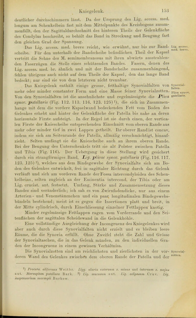 deutlicher did'cbscbimmern L&sst. Da tier [Jrsprung des Lig, access, med. Longum am SckenRelb&in fast mit dem Mittelpunkte des Kreisbogens zusam- tnenfallt, den der Sagittaldurchschnitt des binteren Tbeils der Gelenkflacbe des Condylus bescbreibt, so belnilt das Band in Strecknng und Beugung fast den gleicben Grad der Spannting. Das Lie. access, med. breve reicbt, wie erwahnt, nur bis zur Band- Lig. ao.-.-s.-. scbeibe. Fur den uuterbalb der Bandscbeibe befindlicben Theil der Kapsel vertritt die Sebne des M. semimembranosus mit ibren abwarts ausstrablen- den Faserziigen die Stelle eines scbiitzenden Bandes. Fasern, denen des Lig. access, med. br. ahnlicb und mit der Bandscheibe ziisaramenbangend, fehlen iibrigens auch nicbt auf dem Tbeile der Kapsel, den das lange Band bedeckt; nur sind sie von dem letzteren nicht trennbar. Das Kniegelenk enthiilt einige grosse, fettbaltige Synovialfalten von Synovial- t m Jilltl'll. mebr oder minder constanter Form und eine Masse femer Synovialzotten. plica synov Von den Synovialfalten ist die ansebnlicbste und regelmassigste die JPlica pateiians. synov. patellar is (Fig. 112. 113. 116. 123. 125)x), die sicb im Zusammen- bange mit dem die vordere Kapselwand bedeckenden Fett vom Boden des Gelenkes erbebt und binter der Gelenkflacbe der Patella bis nabe an deren borizontale Firste aufsteigt. In der Kegel ist sie durcb einen, der vertica- len Firste der Kniescbeibe entsprecbenden Einscbnitt vom oberen Rande aus mebr oder minder tief in zwei Lappen getbeilt. Ibr oberer Rand ist concav, indem sie sich am Seitenrande der Patella, allmalig versebmacbtigt, binauf- ziebt. Selten umfangt sie die Kniescbeibe aucb an ibrem oberen Rande. Bei der Beugung des Unterscbenkels tritt sie als Polster zwiscben Patella und Tibia (Fig. 116). Der Uebergang in diese Stellung wird gesicbert durcb ein strangformiges Band, Lig. plicae synov. paiellaris (Fig. 116. 117. 123. .125) 2), welcbes aus dem Bindegewebe der Synovialfalte sicb am Bo- den des Gelenkes entwickelt, frei in sagittaler Ricbtung durcb das Gelenk verlauft und sicb am vorderen Rande der Fossa intercondyloidea des Scben- kelbeins, selten zugleicb an der Eminentia intercond. der Tibia oder am Lig. cruciat. ant. festsetzt. Umfang, Starke und Zusammensetzung dieses Bandes sind veranderlicb; icb sab es von Zwirnfadendicke, nur aus eineni Arterien- und Venenstammcben und ein paar, longitudinalen Bindegewebs- bundeln bestebend; meist ist es gegen die Insertionen platt und breit, in der Mitte cylindriscb, durcb Einscbliessung einzelner Fettlappen knotig. Minder regelmassige Fettlappen ragen vom Vorderrande und den Sei- tenflacben der sagittalen Scbeidewand in die Gelenkboble. Eine vollstandige Ausgleicbung der Incongruenz des Kniegelenkes wird aber aucb durcb diese Synovialfalten nicbt erzielt und es bleiben leere Riiume, die die Synovia erfiillt. Obne Zweifel stebt die Zabl und Grosse der Synovialtascben, die in das Gelenk miinden, zu den individuellen Gra- de n der Incongruenz in einem gewissen Verbaltniss. Die Synovialzotten sind am reicblicbsten und zierlichsten in der vor- Synovial- deren Wand des Gelenkes zwischeli dem oberen Rande der Patella und der zottun- y) Process. aliforme» Weitbr, aut. Manupium patella/re Bark. htspthsorium marfupii Bnrkow. Ligg. alaria externum «. minus and internum a. moyus ') Lig. mucosum nut. Lig, adiposum Cruv. Lig.