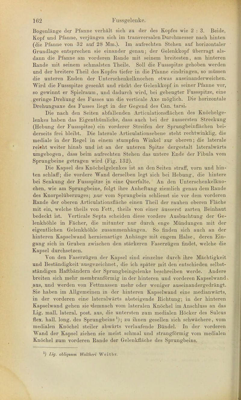 Bogenlitnge der Pfanne verhalt sicli zu der des Kopfes wie 2 : 3. Beide, Kopf und Pfanne, verjiingen sich im transversalen Durcbrnesser nacb binten (die Pfanne von 32 auf 28 Mm.). Im aufrecbten Stehen auf borizontaler Grundlage entsprecben sie einander genau; der Gelenkkopf iiberragt als- dann die Pfanne am vorderen Rande mit seinem breitesten, am hinteren Rande mit seinem schmalsten Theile. Soli die Fussspitze geboben werden nnd der breitere Theil des Kopfes tiefer in die Pfanne eindringen, so mussen die unteren Enden der Unterscbenkelknochen etwas auseinanderweicben. Wird die Fussspitze gesenkt und riickt der Gelenkkopf in seiner Pfanne vor, so gewinnt er Spielraum, und dadurcb wird, bei gebeugter Fussspitze, eine geringe Drebung des Fusses um die verticale Axe mdglicb. Die borizontale Drebungsaxe des Fusses liegt in der Gegend des Can. tarsi. Die nacb den Seiten abfallenden Articulationsflachen des Knoebelge- lenkes baben das Eigentbumlicbe, dass aucb bei der aussersten Streckung (Hebung der Fussspitze) ein vorderer Streifen der Sprungbeinflacben bei- derseits frei bleibt. Die laterale Articulationsebene stebt recbtwinklig, die mediale in der Regel in einem stumpfen Winkel zur oberen; die laterale reiebt weiter binab und ist an der unteren Spitze dergestalt lateralwarts umgebogen, dass beim aufrecbten Steben das untere Ende der Fibula vom Sprungbeine getragen wird (Fig. 132). Die Kapsel des Knocbelgelenkes ist an den Seiten straff, vorn und bin- ten scblaff; die vordere Wand derselben legt sicb bei Hebung, die bintere bei Senkung der Fussspitze in eine Querfalte. An den Unterscbenkelkno- cben, wie am Sprungbeine, folgt ibre Anbeftung ziemlicb genau dem Rande des Knorpeluberzuges; nur vom Sprungbein scbliesst sie vor dem vorderen Rande der oberen Articulationsfiacbe einen Tbeil der rauben oberen Flacbe mit ein, welcbe tbeils von Fett, tbeils von einer ausserst zarten Beinbaut bedeckt ist. Verticale Septa scbeiden diese vordere Ausbiicbtung der Ge- lenkhoble in Facber, die mitunter nur durcb enge Miindungen mit der eigentlicben Gelenkhoble zusammenbangen. So finden sicb aucb an der binteren Kapselwand bernienartige Anbange mit engem Halse, deren Ein- gang sicb in Gruben zwischen den starkeren Faserziigen findet, welcbe die Kapsel durcbsetzen. Von den Faserziigen der Kapsel sind einzelne durcb ibre Macbtigkeit und Bestandigkeit ausgezeichnet, die icb spater mit den entscbieden selbst- standigen Haftbandern der Sprungbeingelenke beschreiben werde. Andere breiten sicb mebr membranformig in der binteren und vorderen Kapselwand s aus, und werden von Fettmassen mebr oder weniger auseinandergedrangt. Sie baben im Allgemeinen in der binteren Kapselwand eine medianwarts, in der vorderen eine lateralwarts absteigende Ricbtung; in der binteren Kapselwand geben sie demnacb vom lateralen Knocbel im Anscbluss an das Lig. mall, lateral, post, aus, die untersten zum medialen Hocker des Sulcus flex. ball. long, des Sprungbeins J); zu ibnen gesellen sicb scbwiicbere, vom medialen Knocbel steiler abwarts verlaufende Biindel. In der vorderen Wand der Kapsel zieben sie meist scbmal und strangformig vom medialen Knochel zum vorderen Rande der Gelenkflivche des Sprungbeins. -1) Lig. obliquum Waltheri Weitbr.
