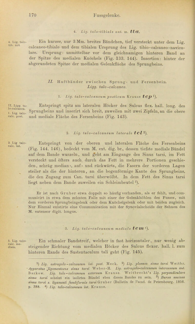 4. Lig. talo-libiale ant. m. tt (.1. 4. ug. tain- Ein kurzes, nur 3 Mm. breites Biindchen, tief versteckt unter dem Lig. calcaneo-tibiale rind dem tibialen Ursprung des Lig. tibio-calcaneo-navicu- lar. Ursprung: unmittelbar vor dem gleicbnamigen binteren Band an der Spitze des medialen Knochels (Fig. 133. 144). Insertion: hinter der abgerundeten Spitze der medialen Gelenkflache des Sprungbeins. II. Haftbander zwiscben Sprung- uiid Fersenbein. Ligg. taio-cale anea. 1. Lig. talo-calcaneum posticum Krause tCJ) *). ii. Ligg. ta- Entspringt spitz am lateralen Hocker des Sulcus flex. ball. long, des i Lig taio Sprungbeins und inserirt sicb breit, zuweilen mit zwei Zipfeln, an die obere caic. post, und mediale Flacbe des Fersenbeins (Fig. 143). 2. Lig. talo-calcaneum laterale tcl^). 2. Lig taio- Entsprinet von der oberen und lateralen Flacbe des Fersenbeins calc. Jat. . (Fig. 144. 146), bedeckt vom M. ext. dig. br., dessen tiefste mediale Biindel auf dem Bande wurzeln, und gebt am Eingange des Sinus tarsi, im Fett versteckt und ofters aucb durcb das Fett in mebrere Portionen gescbie- den, schrag median-, auf- und riickwarts, die Fasern der vorderen Lagen steiler als die der binteren, an die bogenformige Kante des Sprungbeins, die den Zugang zum Can. tarsi uberwolbt. In dem Fett des Sinus tarsi liegt neben dem Bande zuweilen ein Scbleimbeutel 3). Er ist nacb Gruber etwa doppelt so Mufig vorbanden, als er feblt, und coni- municirt in etwa dem zebnten Falle mit einer der Gelenkbohlen des Fusses, mit dem vorderen Sprungbeingelenk oder dem Knocbelgelenk oder mit beiden zugleich. Nur Einmal existirte eine Communication mit der Synovialscbeide der Sebnen des M. extensor digit, longus. 3. Lig. talo-calcaneum mediale tCfil*). 3. Lig. taio- Ein scbmaler Bandstreif, welcber in fast borizontaler, nur wenig ab- diaie. steigender Ricbtung vom medialen Hocker des Sulcus flexor, ball. 1. zum binteren Rande des Sustentaculum tali gebt (Fig. 145). :) Lig. astragalo - calcaneum int. post. Meek. 2) Lig. planum sinus tarsi Weitbr. Apparatus 'Jigamentosus sinus tarsi Weber-H. Lig. astragalo-calcaneum interosseum anl. Barkow. Lig. talo-calcaneum externum Krause. Weitbrecht's Lig. perpendiculare sinus tarsi scheint ein isolirtes Biindel eben dieses Bandes zu sein. 3) Bursa mucosa sinus tarsi s. ligamenti fundiformis tarsi Gruber (Bulletin de 1'acad. de Petersbourg. 1856. p. 388. 4) Lig. talo-calcaneum int. Krause.