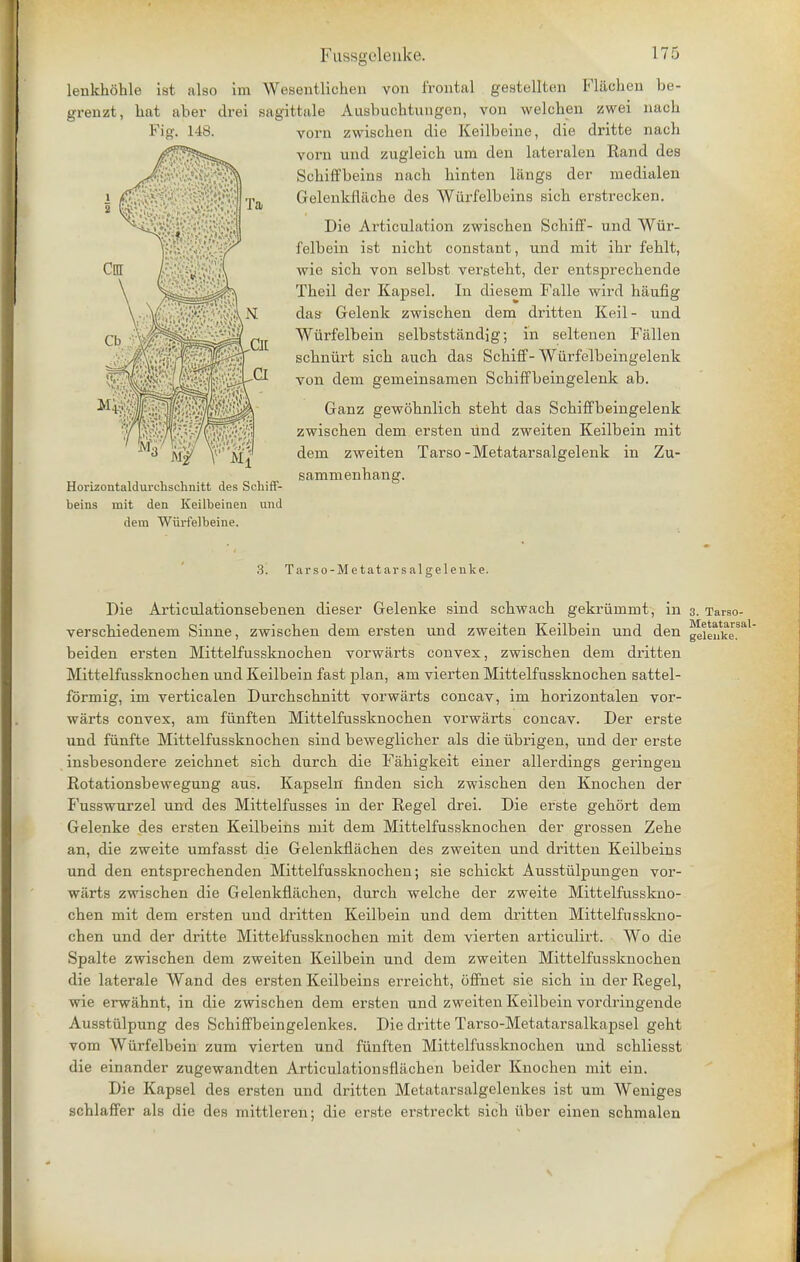 lenkhoble ist also im Wesentlichca von frontal gestellten Flachen be- grenzt, hat aber drei sagittale Ausbuchtungen, von welchen zwei nacb vorn zwiscben die Keilbeine, die dritte nacb voru und zugleich um den lateralen Rand des Schiffbeins nacb binten langs der raedialen Gelenkflache des Wiirfelbeins sicb erstrecken. Die Articulation zwiscben Scbiff- und Wiir- felboin ist nicbt constant, und mit ibr feblt, wie sicb von selbst verstebt, der entsprecbende Tbeil der Kapsel. In diesern Falle wird haufig das Gelenk zwiscben dem dritten Keil- und Wurfelbein selbststandjg; in seltenen Fallen scbniirt sicb aucb das Scbiff- Wiirfelbeingelenk von dem gerneinsamen Scbiffbeingelenk ab. Ganz gewobnlicb stebt das Scbiffbeingelenk zwiscben dem ersten und zweiten Keilbein mit dem zweiten Tarso-Metatarsalgelenk in Zu- sammenbang. Horizontaldurchschnitt des Schiff- beins mit den Keilbeinen und dem Wiirfelbeine. 3. Tarso- Metatarsalgelenke. Die Articulationsebenen dieser Gelenke sind scbwacb gekriimmt, in 3. Tarso- verscbiedenem Sinne, zwiscben dem ersten und zweiten Keilbein und den ^ienke.sa beiden ersten Mittelfussknocben vorwarts convex, zwiscben dem dritten Mittelfussknochen und Keilbein fast plan, am vierten Mittelfussknocben sattel- formig, im verticalen Durcbscbnitt vorwarts concav, im borizontalen vor- warts convex, am fiinften Mittelfussknocben vorwarts concav. Der erste und funfte Mittelfussknocben sind beweglicber als die ubrigen, und der erste insbesondere zeicbnet sicb durcb die Fabigkeit einer allerdings geringen Rotationsbewegung aus. Kapseln finden sicb zwiscben den Knocben der P'usswurzel und des Mittelfusses in der Regel drei. Die erste gebort dem Gelenke des ersten Keilbeins mit dem Mittelfussknocben der grossen Zebe an, die zweite umfasst die Gelenkflacben des zweiten und dritten Keilbeins und den entsprecbenden Mittelfussknocben; sie scbickt Ausstiilpungen vor- warts zwiscben die Gelenkflacben, durcb welcbe der zweite Mittelfusskno- cben mit dem ersten und dritten Keilbein und dem dritten Mittelfnsskno- chen und der dritte Mittelfussknocben mit dem vierten articulirt. Wo die Spalte zwischen dem zweiten Keilbein und dem zweiten Mittelfussknocben die laterale Wand des ersten Keilbeins erreicbt, offnet sie sicb in der Regel, wie erwabnt, in die zwiscben dem ersten und zweiten Keilbein vordringende Ausstiilpung des Scbiffbeingelenkes. Die dritte Tarso-Metatarsalkapsel gebt vom Wurfelbein zum vierten und fiinften Mittelfussknocben und scbliesst die einander zugewandten Articulationsflacben beider Knocben mit ein. Die Kapsel des ersten und dritten Metatarsalgelenkes ist um Weniges scblaffer als die des mittleren; die erste erstreckt sicb iiber einen scbmalen