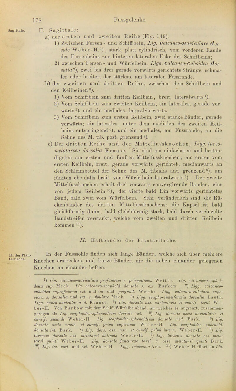 Sagittale. H. S a git tale: a) der ersten und zweiten Reibe (Fig. 149). 1) Zwiscben Fersen - und Scbiffbein, Lig. Calcaneo-flaviculare dor- sale Weber-H.') , stark, platt cylindriscb, vom vorderen Rande des Fersenbeins zur binteren lateralen Ecke des Schiffbeins; 2) zwiscben Fersen - tind Wiirfelbein, Ligg. Calcaneo-Cuboidea dor- salia2), zwei bis drei gerade vorwarts gericbtete Strange, schma- ler oder breiter, der starkste am lateralen Fussrande. b) der zweiteu und dritten Reihe, zwischen dem Schiffbein und den Keilbeinen 3). 1) Vom Scbiffbein zum dritten Keilbein, breit, lateralwarts4). 2) Vom Schiffbeiu zum zweiteu Keilbein, ein laterales, gerade vor- warts5), und ein mediales, lateralvorwarts. 3) Vom Scbiffbein zum ersten Keilbein, zwei starke Bander, gerade vorwarts; ein laterales, unter dem medialen des zweiten Keil- beins entspringend G), und ein mediales, am Fussrande, an die Sebne des M. tib. post, grenzend 1). c) Der dritten Reihe und der Mittelfussknocben, Ligg. tarso- mctaiarseu dorsalia Krause. Sie sind am einfacbsten und bestan- digsten am ersten und funften Mittelfussknocben, am ersten vom ersten Keilbein, breit, gerade vorwarts gericbtet, medianwarts an den Scbleimbeutel der Sebue des M. tibialis ant. grenzend8); am funften ebenfalls breit, vom Wiirfelbein lateralwarts 9). Der zweite Mittelfussknocben erbalt drei vorwarts convergirende Bander, eins von jedem Keilbein10), der vierte bald Ein vorwarts gericbtetes Band, bald zwei vom Wiirfelbein. Sehr veranderlich sind die Rii- ckenbiinder des dritten Mittelfussknocbens: die Kapsel ist bald gleicbformig dunn, bald gleichformig stark, bald durcb vereinzelte Bandstreifen verstarkt, welcbe vom zweiten und dritten Keilbein kommen n). iX Haftbander der Plantarfla die. II. der Plan- In der Fusssoble finden sich lange Bander, welche sicb iiber mehrere tarflache. Knochen erstrecken, und kurze Bander, die die neben einander gelegenen Knocben an einander beften. ]) Lig. calcaneo-naviculare profundum s. prismaticum Weitbr. Lig. calcaneo-scapho!- deum sup. Meek. Lig. calcaneo-scaphoid. dorsale s. ext. Barkow. 2) Ligg. calcaneo- cuboidea superjiciaria ext. und int. und profund. Weitbr. Ligg. calcaneo-cuboidea supe- riora s. dorsalia und ext. s. Jibulare Meek. 3) Ligg. scapho-cuneiformia dorsalia Lautb. Ligg. cuneo-navicularia d. Krause. 4) Lig. dorsale oss. navicularis et cuneif. tertii AYr- ber-H. Von Barkow mit dem Scbiff-Wiirfelbeinbaiid, an welcbes es angrenzt, zusammen- gezogen als Lig. scaphoideo-sphenoideum dorsale ext. 5) Lig. dorsale ossis navicularis et cuneif. secundi Weber-H. Lig. scaphoideo-sphenoideum dorsale med. Bark. 6) Lig. dorsale ossis navic. et cuneif. primi supemum Weber-H. Lig. scaphoideo - sphenoid, dorsale int. Bark. 7) Lig. dors. oss. nav. el cuneif. primi intern. Weber-H. s) Lig, tarseum dorsale oss. metatarsi hallucis Weber-H. a) Lig. tarseum dorsale oss. meta- tarsi quinti Weber-H. Lig. dorsale junclurae tarsi c. osse metatarsi quinli Bark. l0) Lig. int. med. und ext. Weber-H. Ligg. trigemina Am. 31) Webe'r-H.fiibrtein Lig.