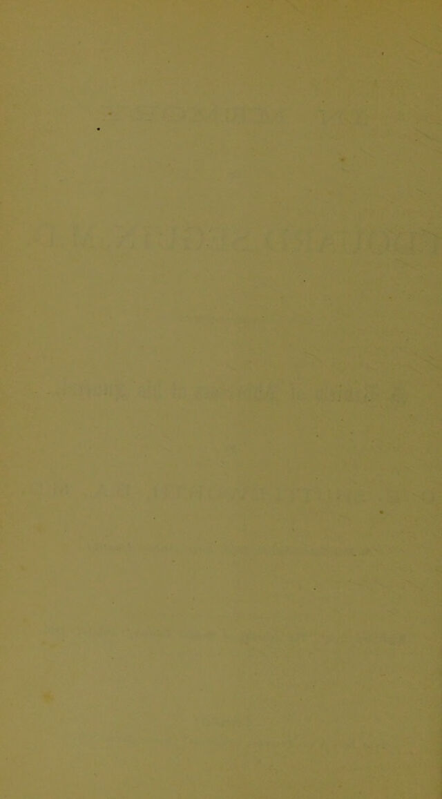 digitised image 2