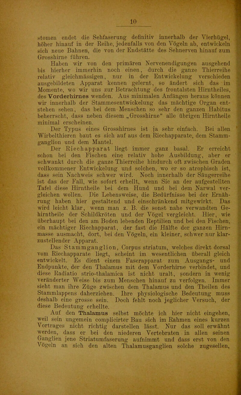 stomen endet die Sehfaserung definitiv innerhalb der Vierhügel, höher hinauf in der Reihe, jedenfalls von den Vögeln ab, entwickeln sich neue Bahnen, die von der Endstätte des Sehnerven hinauf zum Grosshirne führen. Haben wir von den primären Nervenendigungen ausgehend bis hierher immerhin noch einen, durch die ganze Thierreihe relativ gleichmässigen, nur in der Entwickelung verschieden ausgebildeten Apparat kennen gelernt, so ändert sich das im Momente, wo wir uns zur Betrachtung des frontalsten Hirntheiles, des Vorderhirnes wenden. Aus minimalen Anfängen heraus können wir innerhalb der Stammesentwickelung das mächtige Organ ent- stehen sehen, das bei dem Menschen so sehr den ganzen Habitus beherrscht, dass neben diesem „Grosshirne alle übrigen Hirntheile minimal erscheinen. Der Typus eines Grosshirnes ist ja sehr einfach. Bei allen Wirbelthieren baut es sieh auf aus dem Riechapparate, dem Stamm- ganglion und dem Mantel. Der Riechapparat liegt immer ganz basal. Er erreicht schon bei den Fischen eine relativ hohe Ausbildung, aber er schwankt durch die ganze Thierreihe hindurch oft zwischen Graden vollkommener Entwickelung und solchen, wo er so atrophisch ist, dass sein Nachweis schwer wird. Noch innerhalb der Säugerreihe ist das der Fall, wie sofort erhellt, wenn Sie an der aufgestellten Tafel diese Hirntheile bei dem Hund und bei dem Narwal ver- gleichen wollen. Die Lebensweise, die Bedürfnisse bei der Ernäh- rung haben hier gestaltend und einschränkend mitgewirkt. Das wird leicht klar, wenn man z. B. die sonst nahe verwandten Ge- hirntheile der Schildkröten und der Vögel vergleicht. Hier, wie überhaupt bei den am Boden lebenden Reptilien und bei den Fischen, ein mächtiger Riechapparat, der fast die Hälfte der ganzen Hirn- masse ausmacht, dort, bei den Vögeln, ein kleiner, schwer nur klar- zustellender Apparat. Das Stammganglion, Corpus striatum, welches direkt dorsal vom Riechapparate liegt, scheint im wesentlichen überall gleich entwickelt. Es dient einem Faserapparat zum Ausgangs- und Endpunkte, der den Thalamus mit dem Vorderhirne verbindet, und diese Radiatio strio-thalamica ist nicht uralt, sondern in wenig veränderter Weise bis zum Menschen hinauf zu verfolgen. Immer sieht man ihre Züge zwischen dem Thalamus und den Theilen des Stammlappens daherziehen. Ihre physiologische Bedeutung muss deshalb eine grosse sein. Doch fehlt noch jeglicher Versuch, der diese Bedeutung erhellte. Auf den Thalamus selbst möchte ich hier nicht eingehen, weil sein ungemein complicirter Bau sich im Rahmen eines kurzen Vortrages nicht richtig darstellen lässt. Nur das soll erwähnt werden, dass er bei den niederen Vertebraten in allen seinen Ganglien jene Striatumfaserung aufnimmt und dass erst von den Vögeln an sich den alten Thalamusganglien solche zugesellen,