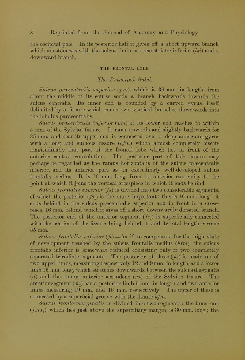 the occipital pole. In its posterior half it gives off a short upward branch which anastomoses with the sulcus limitans areas striata} inferior (Isi) and a downward branch. THE FRONTAL LOBE. The Principal Sulci. Sulcus prcecentralis superior (prs), which is 36 mm. in length, from about the middle of its course sends a branch backwards towards the sulcus centralis. Its inner end is bounded by a curved gyrus, itself delimited by a fissure which sends two vertical branches downwards into the lobulus paracentralis. Sulcus prcecentralis inferior (pri) at its lower end reaches to within 5 mm. of the Sylvian fissure. It runs upwards and slightly backwards for 35 mm., and near its upper end is connected over a deep annectant gyrus with a long and sinuous fissure (hfm) which almost completely bisects longitudinally that part of the frontal lobe which lies in front of the anterior central convolution. The posterior part of this fissure may perhaps be regarded as the ramus horizontalis of the sulcus prsecentralis inferior, and its anterior part as an exceedingly well-developed sulcus frontalis medius. It is 76 mm. long from its anterior extremity to the point at which it joins the vertical crosspiece in which it ends behind. Sulcus frontalis superior (Js) is divided into two considerable segments, of which the posterior (fsf) is the more important; this is 46 mm. long: it ends behind in the sulcus prcecentralis superior and in front in a cross- piece, 16 mm. behind which it gives off a short, downwardly directed branch. The posterior end of the anterior segment (fs2) is superficially connected with the portion of the fissure lying behind it, and its total length is some 35 mm. Sulcus frontalis inferior (JL).—As if to compensate for the high state of development reached by the sulcus frontalis medius (hfm), the sulcus frontalis inferior is somewhat reduced, consisting only of two completely separated triradiate segments. The posterior of these (Jif is made up of two upper limbs, measuring respectively 12 and 9 mm. in length, and a lower limb 16 mm. long, which stretches downwards between the sulcus diagonalis (cl) and the ramus anterior ascendens (ra) of the Sylvian fissure. The anterior segment (Jif) has a posterior limb 6 mm. in length and two anterior limbs, measuring 19 mm. and 16 mm. respectively. The upper of these is connected by a superficial groove with the fissure hfm. Sulcus fronto-marginalis is divided into two segments: the inner one (fmaf), which lies just above the superciliary margin, is 30 mm. long; the