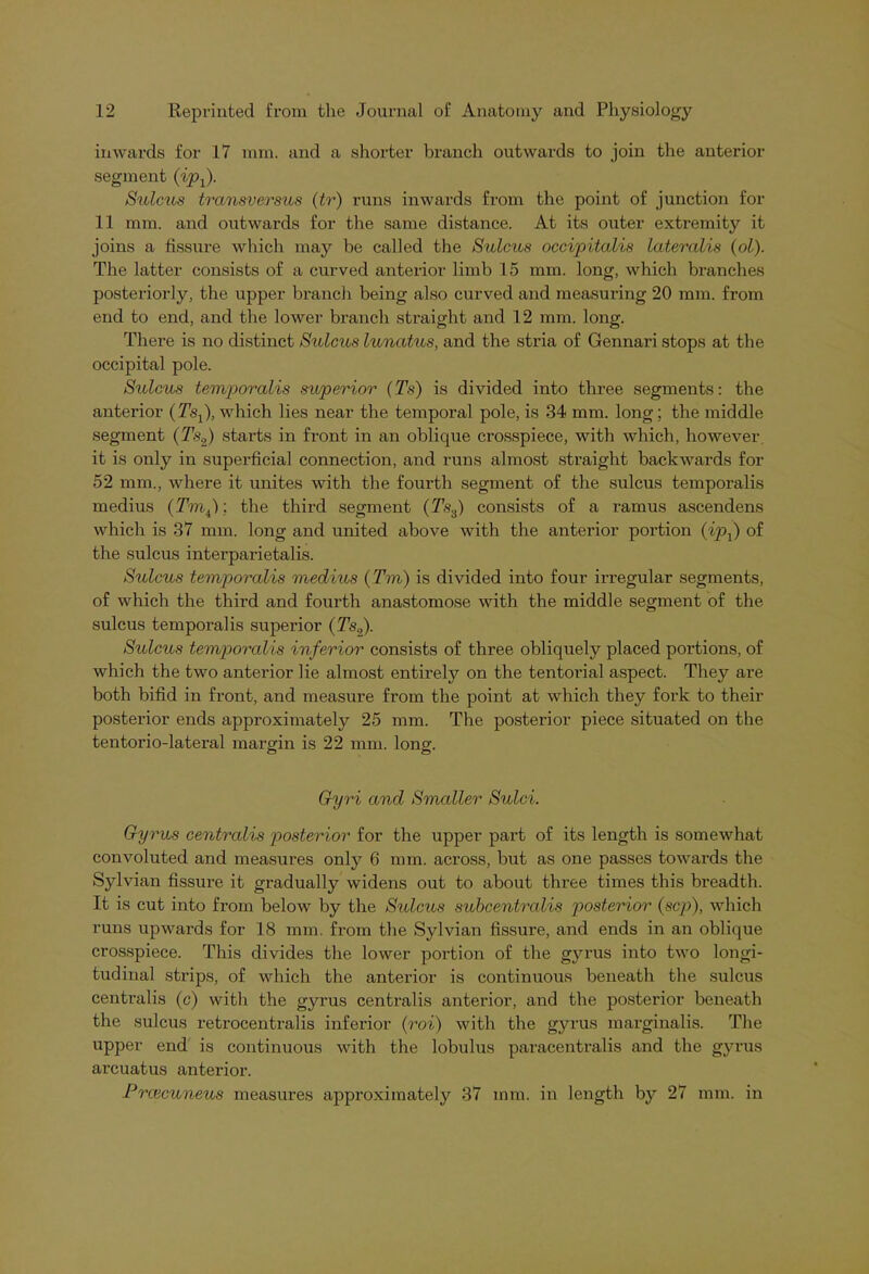 inwards for 17 mm. and a shorter branch outwards to join the anterior segment (ipf). Sulcus transversus (tv) runs inwards from the point of junction for 11 mm. and outwards for the same distance. At its outer extremity it joins a fissure which may be called the Sulcus occipitalis lateralis (ol). The latter consists of a curved anterior limb 15 mm. long, which branches posteriorly, the upper branch being also curved and measuring 20 mm. from end to end, and the lower branch straight and 12 mm. long. There is no distinct Sulcus lunatus, and the stria of Gennari stops at the occipital pole. Sulcus temporalis superior (Ts) is divided into three segments: the anterior (Tsf), which lies near the temporal pole, is 34 mm. long; the middle segment (Ts.,) starts in front in an oblique crosspiece, with which, however it is only in superficial connection, and runs almost straight backwards for 52 mm., where it unites with the fourth segment of the sulcus temporalis medius (Tm4); the third segment (Ts3) consists of a ramus ascendens which is 37 mm. long and united above with the anterior poi'tion (ipf) of the sulcus interparietalis. Sulcus temporalis medius (Tm) is divided into four irregular segments, of which the third and fourth anastomose with the middle segment of the sulcus temporalis superior (Ts.,). Sulcus temporalis inferior consists of three obliquely placed portions, of which the two anterior lie almost entirely on the tentorial aspect. They are both bifid in front, and measure from the point at which they fork to their posterior ends approximately 25 mm. The posterior piece situated on the tentorio-lateral margin is 22 mm. long. Gyri and Smaller Sulci. Gyrus centralis posterior for the upper part of its length is somewhat convoluted and measures only 6 mm. across, but as one passes towards the Sylvian fissure it gradually widens out to about three times this breadth. It is cut into from below by the Sulcus subcentrcdis posterior (scp), which runs upwards for 18 mm. from the Sylvian fissui’e, and ends in an oblique crosspiece. This divides the lower portion of the gyrus into two longi- tudinal strips, of which the anterior is continuous beneath the sulctis centralis (c) with the gyrus centralis anterior, and the posterior beneath the sulcus retrocentralis inferior (roi) with the gyrus marginalis. The upper end is continuous with the lobulus paracentralis and the gyrus arcuatus anterior. Prcecuneus measures approximately 37 mm. in length by 27 mm. in